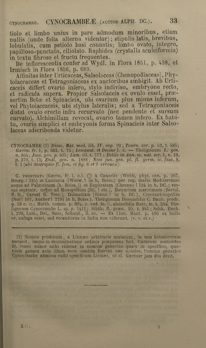 tiolo et limbo unius in pare admodum minoribus, etiam nullis (unde folia alterna videntur); stipulis latis, brevibus, lobulatis, cum petiolo basi connatis; limbo ovato, integro, papilloso-punctato, ciliolato. Raphides (crystalla aculeiformia) in textu fibroso et fructu frequentes. De inflorescentia confer ad Wydl. in Flora 1851, p. 438, et Irmisch in Flora 1856, p. 689. Affinitas inter Urticaceas, Salsolaceas (Chenopodiaceas), Phy- tolaccaceas et Tetragoniaceas ex auctoribus ambigit. Ab Urti- caceis differt ovario infero, stylo indiviso, embryone recto, et radicula supera. Propior Salsolaceis ex ovulo esset, prae- sertim Betae et Spinacieis, ubi ovarium plus minus inferum, vel Ph^tolaccaceis, ubi stylus lateralis; sed a Tetragoniaceis distat ovulo erecto infra recurvato (nec pendente et sursum curvato). Alchimillam revocat, ovario tamen infero. Ex habi- tu, ovario simplici et embryonis forma Spinacieis inter Salso- laceas adscribenda videtur. CYNOCRAMBE (1) Diosc. Mat. med. lib. IV, cap. 92 ; Tourn. cor. p. 52, t. 485; Gxrtn. fr. 1, p. 362, t. 75 ; lemaout. et Decsne l. c. — Theligonum L. gen. n. 864; Juss. gen. p. 405; Lam. ili. t. 777 ; Delile in Ann. sc. nat. ser. 1, v. 19, p. 370, t. 13; Endl. gen. n. 1888; Nees jun. gen. pl. fl. germ. ic. fasc. 8, t. 1 (ubi descriptio fl. fem. et fig. 8 et 9 erroneae). C. prostrata (Gserfii. fr. 1. c.). Q A Canariis (Webb, phyt. can. p. 267, Bourg.! 335) et Lusitania (Wehv.! in h. Boiss.) per reg. maris Mediterranei usque ad Palaestinam (h. Boiss.!) et Euphratem (Chesney ! 124 in h. DC.; ver- sus septentr. us^ue ad Monspelium (DC. ! etc.), Hetruriam maritimam (Bertol. fl. It., Caruel fl. Tosc.), Dalmatiam (Biasol.! in h. DC.), Constantinopolim (Noe! 107, Aucherl 2791 in h. Boiss.). Theligonum Dioscoridis C. Bauh. prodr. p. 59 c. ic.; Matth. comm. p. 892. c. ead. ic. C. alsinefolia Barr. ic. t. 335. The- ligonum Cynocrambe L. sp. p. 1411; Sibth; fl. graec. 10. t. 941 ; Schk. Ench. t. 299, Lam., Del., Nees, Schnizl., 11. cc. — Ex Linn. Mant. p. 496 ex India or. aufuga esset, sed recentiores in India non viderunt, (v. v. et s.) (1) Nomen pristinum, a Linnaeo arbitrarie mutatum, in usu botanicorum certavit, immo in denominatione ordinis praepotens fuit. Caeterum auctoritas ili. Sueci minor mihi videtur in nomine generico quam in specifico, quo- niam genera ante illum vere condita fuerint nec species, [domine generico Cynocrambe admisso cadit specificum Linnaei, ut cl. Gaertner jam diu dixit.