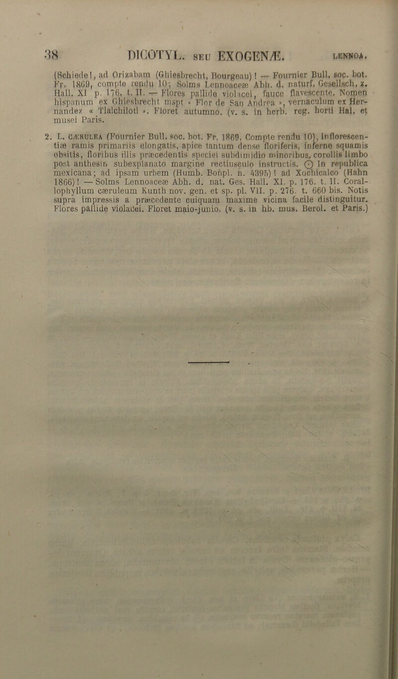 (Schiedel, ad Ornabam (Ghiesbrecht, Bourgeau) ! — Fournier Bull. soc. bot. Fp, 1869, compte repdu 10; Solms Lenpoaceae Abh. d. naturf, Gesellsch, z. Hali. XI p. 176. t. II. — Flores pallide violacei, fauce flavescente. Nomen hispanum ex Ghiesbrecht mspt « Flor de San Apdrea », vernaculum ex Her- nande/. « Tlalchilotl «. Floret autumno, (v. s. in herb. reg. horti Hal. et musei Paris. 2. L. CAERULEA (Fournier Bull. soc. bot. Fr. 1869, Compte rendu 10), infloreseen- tise ramis primariis elongatis, apice tantum dense floriferis, inferne squamis obsitis, floribus illis praecedentis speciei subdimidio minoribus, corollis limbo post anthesm subexplanato margine rectiusculo instructis. Q In republica mexicana; ad ipsam urbem (Humb. Bonpl. n. A395) ! ad Xochicalco (Hahn 1866)1 —Solms Lennoaceae Abh. d. nat. Ges. Hali. XI. p. 176. t. II. Coral- lophyllum caeruleum Kunth nov. gen. et sp. pl. Vil. p. 276. t. 660 bis. Notis supra impressis a praecedente Guiquam maxime vicina facile distinguitur. Flores pallide violacei. Floret maio-junio. (v. s. in hb. mus. Berol. et Paris.)