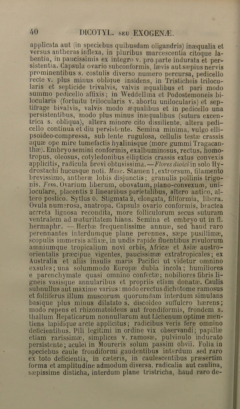 applicata aut (in speciebus quibusdam oligandris) inaequalia et versus antheras inflexa, in pluribus marcescentia citoque la- bentia, in paucissimis ex integro v. pro parte indurata et per- sistentia. Capsula ovario subconformis, laevis aut saepius nervis prominentibus s. costulis diverso numero percursa, pedicello recte v. plus minus oblique insidens, in Tristicheis trilocu- laris et septicide trivalvis, valvis aequalibus et pari modo summo pedicello affixis; in Weddellina et Podostemoneis bi- locularis (fortuitu trilocularis v. abortu unilocularis) et sep- tifrage bivalvis, valvis modo aequalibus et in pedicello una persistentibus, modo plus minus inaequalibus (sutura excen- trica s. obliqua), altera minore cito dissiliente, altera pedi- cello continua et diu persistente. Semina minima, vulgo elli- psoideo-compressa, sub lente rugulosa, cellulis testae crassis aquae ope mire tumefactis hyalinisque (more gummi Tragacan- thae). Embryo semini conformis, exalbuminosus, rectus, homo- tropus, oleosus, cotyledonibus ellipticis crassis extus convexis applicitis, radicula brevi obtusissima.—Flores dioiciin solo Hy- drostachi hucusque noti. Masc. Stamen l,extrorsum, filamento brevissimo, antherae lobis disjunctis; granulis pollinis trigo- nis. Ferri. Ovarium liberum, obovatum, plano-convexum, uni- loculare, placentis 2 linearibus parietalibus, altero antico, al- tero postico. Sytlus 0. Stigmata 2, elongata, filiformia, libera. Ovula numerosa, anatropa. Capsula ovario conformis, bractea accreta lignosa recondita, more folliculorum secus suturam ventralem ad maturitatem hians. Semina et embryo ut in fl. hermaphr. — Herbae frequentissime annuae, sed haud raro perennantes interdumque plane perennes, saepe pusillimae, scopulis immersis affixae, in undis rapide fluentibus rivulorum amniumque tropicalium novi orbis, Africae et Asiae austro- orientalis praecipue vigentes, paucissimae extratropicales; ex Australia et aliis insulis maris Pacifici ut videtur omnino exsules; una solummodo Europae dubia incola; humiliores e parenchymate quasi omnino confectae; nobiliores fibris li- gneis vasisque annularibus et propriis etiam donat®. Caulis subnullus aut maxime varius: modo erectus dichotome ramosus et foliiferus illum muscorum quorumdam interdum simulans basique plus minus dilatatos, discoideo suffulcro haerens; modo repens et rhizomatoideus aut frondiformis, frondem s. thallum Hepaticarum nonnullarum aut Lichenum optime men- tiens lapidique arcte applicitus; radicibus veris fere omnino deficientibus. Pili legitimi in ordine vix observandi; papillae etiam rarissimae, simplices v. ramos®, pulvinulo indurato persistente; aculei in Moureris solum passim obvii. Folia in speciebus caule frondiformi gaudentibus interdum sed raro ex toto deficientia, in c®teris, in caulescentibus pr®sertim forma et amplitudine admodum diversa, radicalia aut caulina, s®pissime disticha, interdum plane tristricha, haud raro de-