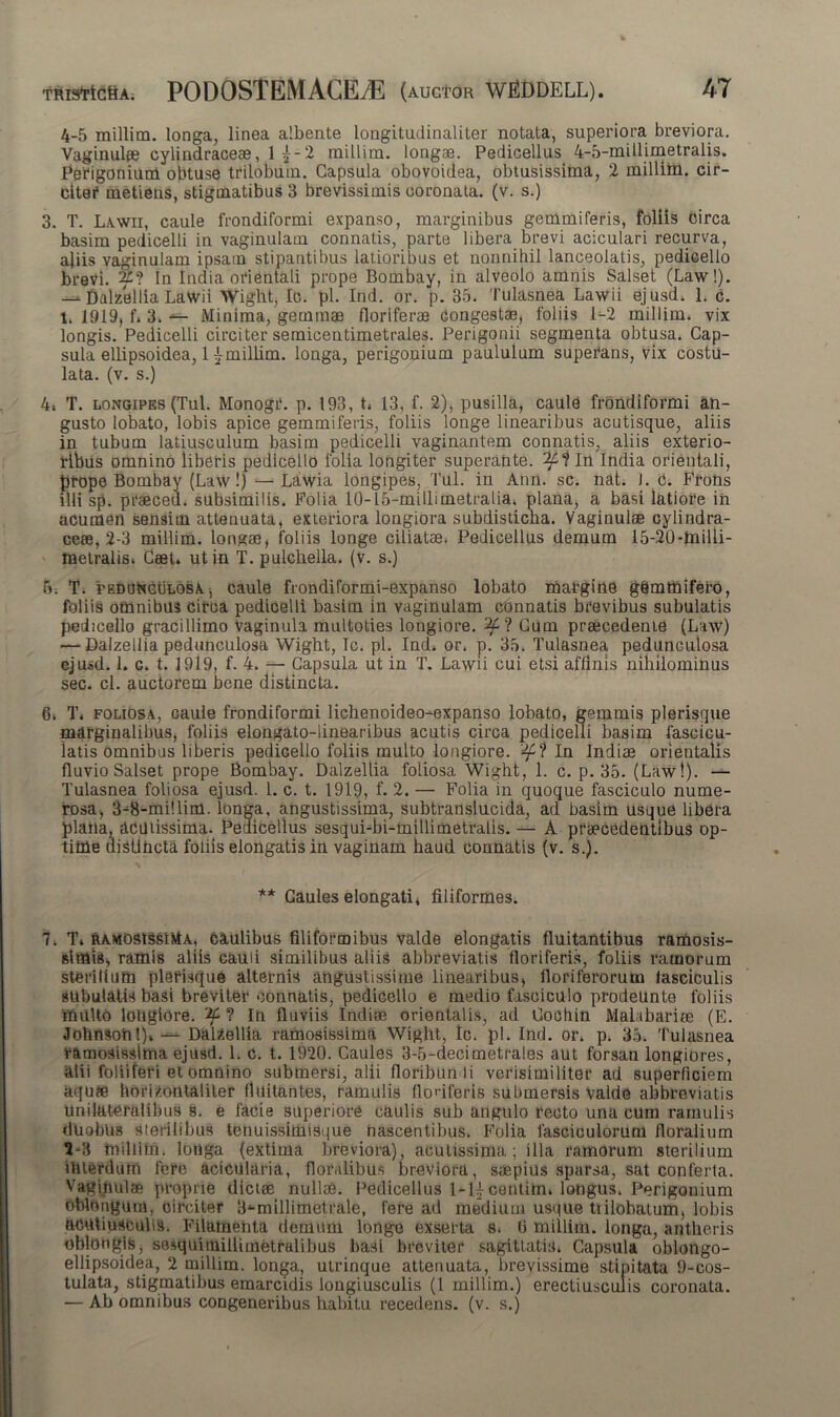 4-5 millim. longa, linea albente longitudinaliter notata, superiora breviora. Vaginulee cylindraceae, 1 £-2 millim. longae. Pedicellus 4-5-millimetralis. Perigonium obtuse trilobum. Capsula obovoidea, obtusissima, 2 millim. cir- cite!* metiens, stigmatibus 3 brevissimis coronata, (v. s.) 3. T. Lawii, caule frondiformi expanso, marginibus gemmiferis, foliis circa basim pedicelli in vaginulam connatis, parte libera brevi aciculari recurva, aliis vaginulam ipsam stipantibus latioribus et nonnihil lanceolatis, pedicello brevi. 2£? In India orientali prope Bombay, in alveolo amnis Salset (Law!). --Dalzellia Lawii Wight, Ic. pl. Ind. or. p. 35. Tulasnea Lawii ejusd. 1. c. t. 1919, f. 3. Minima, gemmae floriferae Congestae, foliis 1-2 millim. vix longis. Pedicelli circiter semicentimetrales. Perigonii segmenta obtusa. Cap- sula ellipsoidea, 1 ^millim. longa, perigonium paululum superans, vix costu- lata. (v. s.) 4« T. longipes (Tui. Monogr. p. 193, C 13, f. 2), pusilla, caule frondiformi an- gusto lobato, lobis apice gemmiferis, foliis longe linearibus acutisque, aliis in tubum latiusculum basim pedicelli vaginantem connatis, aliis exterio- ribus omnino liberis pedicello folia longiter superante. In India orientali, prope Bombay (Law!) — Lawia longipes. Tui. in Ann. sc. nat. J. C. Frons illi sp. praeced. subsimilis. Folia 10-15-millimetralia. plana, a basi latiore in acumen sensim attenuata, exteriora longiora subdisticba. Vaginulae cylindra- ceee, 2-3 millim. longae, foliis longe ciliatae. Pedicellus demum 15-20-tnilii- tnetralis» Ceet. ut in T. pulchella. (V. s.) 5. T. Tedunculosa. ■, caule frondiformi-expanso lobato margine g§mthifero, foliis omnibus circa pedicelli basim in vaginulam connatis brevibus subulatis pedicello gracillimo vaginula multoties longiore. Cum praecedente (Law) — Dalzellia pedunculosa Wight, Tc. pl. Ind. or. p. 35. Tulasnea pedunculosa ejusd. 1. G. t. 1919, f. 4. — Capsula ut in T. Lawii cui etsi affinis nihilominus sec. cl. auctorem bene distincta. 6. T. foliosa, caule frondiformi lichenoideo-expanso lobato, gemmis plerisque marginalibus, foliis elongato-linearibus acutis circa pedicelli basim fascicu- latis omnibus liberis pediGello foliis multo longiore. In Indiae orientalis fluvio Salset prope Bombay. Dalzellia foliosa Wight, 1. c. p. 35. (Law!). — Tulasnea foliosa ejusd. 1. c. t. 1919, f. 2. — Folia in quoque fasciculo nume- rosa, 3^8-millim. longa, angustissima, subtranslucida, ad basim usque libera plana, dcdiissima. Pedicellus sesqui-bi-millimetralls.— A praecedentibus op- time distincta foliis elongatis in vaginam haud connatis (v. s.). ** Caules elongati* filiformes. 7. T. ramosissima, caulibus filiformibus valde elongatis fluitantibus ramosis- simis, ramis aliis cauli similibus aliis abbreviatis floriferis, foliis ramorum sterilium plefisque alternis angustissime linearibus, floriferorum fasciculis subulatis basi breviter connatis, pedicello e medio fasciculo prodellnte foliis multo longiore, ? In fluviis Indiae orientalis, ad Cochin Malabariee (E. Johnson!)*-^ Dalzellia ramosissima Wight, Ic. pl. Ind. or. p. 35. Tulasnea ramosissima ejusd. 1. c. t. 1920. Caules 3-5-decimetrales aut forsan longiores, alii folii feri et omnino submersi, alii floribunli verisimiliter ad superficiem aquae horizotitaliter fluitantes, ramulis floriferis submersis valde abbreviatis unilateralibus 8. e facie superiore caulis sub angulo recto una cum ramulis duobus Sterilibus tenuissiinisque nascentibus. Folia fasciculorum floralium 2*3 miliitn. longa (extima breviora), acutissima; illa ramorum sterilium interdum fere aciciilaria, floralibus breviora, saepius sparsa, sat conferta. Vaginulae proprie dictae nullae. Pedicellus 1-Hcentim. longus. Perigonium oblongum, circiter 8-millimetrale, fere ad medium usque tiilobatum, lobis ftCUtiusculis. Filamenta demum longe exserta s. 0 millim. longa, antheris oblongis, sesquimillimetralibus basi breviter sagittatis. Capsula oblongo- ellipsoidea, 2 millim. longa, utrinque attenuata, brevissime stipitata 9-cos- tulata, stigmatibus emarcidis longiusculis (1 millim.) erectiusculis coronata. — Ab omnibus congeneribus habitu recedens, (v. s.)