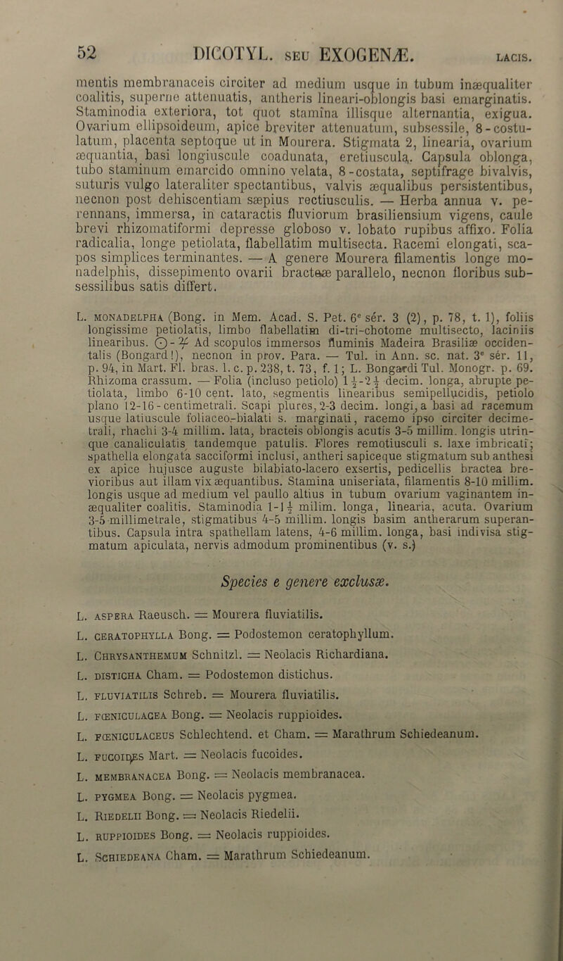 LACIS. mentis membranaceis circiter ad medium usque in tubum inaequaliter coalitis, superne attenuatis, antheris lineari-oblongis basi emarginatis. Staminodia exteriora, tot quot stamina illisque alternantia, exigua. Ovarium ellipsoideum, apice breviter attenuatum, subsessile, 8-costu- latum, placenta septoque ut in Mourera. Stigmata 2, linearia, ovarium aequantia, basi longiuscule coadunata, eretiuscula,. Capsula oblonga, tubo staminum emarcido omnino velata, 8-costata, septifrage bivalvis, suturis vulgo lateraliter spectantibus, valvis aequalibus persistentibus, necnon post dehiscendam saepius rectiusculis. — Herba annua v. pe- rennans, immersa, in cataractis fluviorum brasiliensium vigens, caule brevi rhizomatiformi depresse globoso v. lobato rupibus affixo. Folia radicalia, longe petiolata, flabellatim multisecta. Racemi elongati, sca- pos simplices terminantes. — A genere Mourera filamentis longe mo- nadelphis, dissepimento ovarii bracteae parallelo, necnon floribus sub- sessilibus satis differt. L. monadelpiia (Bong. in Mem. Acad. S. Pet. 6° ser. 3 (2), p. 78, t. 1), foliis longissime petiolatis, limbo flabellatim di-tri-chotome multisecto, laciniis linearibus. Ad scopulos immersos fluminis Madeira Brasiliae occiden- talis (Bongardl), necnon in prov. Para. — Tui. in Ann. sc. nat. 3e ser. 11, p. 94, in Mart. FI. bras. 1. c. p. 238, t. 73, f. 1; L. Bongavdi Tui. Monogr. p. 69. Rhizoma crassum. —Folia (incluso petiolo) 1-^-2^ decim. longa, abrupte pe- tiolata, limbo 6-10 cent. lato, segmentis linearibus semipeflucidis, petiolo plano 12-16 - centimetrali. Scapi plures,2-3 decim. longi, a basi ad racemum usque latiuscule foliaceo-bialati s. marginati, racemo ipso circiter decime- trali, rhachi 3-4 miltim. lata, bracteis oblongis acutis 3-5 millim. longis utrin- que canaliculatis tandemque patulis. Flores remotiusculi s. laxe imbricati; spathella elongata sacciformi inclusi, antheri sapiceque stigmatum sub anthesi ex apice hujusce auguste bilabiato-lacero exsertis, pedicellis bractea bre- vioribus aut illam vix aequantibus. Stamina uniseriata, filamentis 8-10 millim. longis usque ad medium vel paullo altius in tubum ovarium vaginantem in- aequaliter coalitis. Staminodia 1-1 \ milim. longa, linearia, acuta. Ovarium 3-5 millimetrale, stigmatibus 4-5 millim. longis basim antherarum superan- tibus. Capsula intra spathellam latens, 4-6 millim. longa, basi indivisa stig- matum apiculata, nervis admodum prominentibus (v. s.) Species e genere exclusae. L. aspera Raeusch. = Mourera fluviatilis. L. ceratophylla Bong. = Podostemon ceratophyllum. L. Chrysanthemum Schnitzl. = Neolacis Ricbardiana. L. disticha Cham. = Podostemon distichus. L. fluviatilis Schreb. = Mourera fluviatilis. L. fceniculacea Bong. = Neolacis ruppioides. L. fceniculaceus Schlechtend. et Cham. = Marathrum Schiedeanum. L. Fucoiqps Mart. = Neolacis fucoides. L. membranacea Bong. = Neolacis membranacea. L. pygmea Bong. = Neolacis pygmea. L. Riedelii Bong. = Neolacis Riedelii. L. ruppioides Bong. — Neolacis ruppioides. L. Sghiedeana Cham. = Marathrum Schiedeanum.