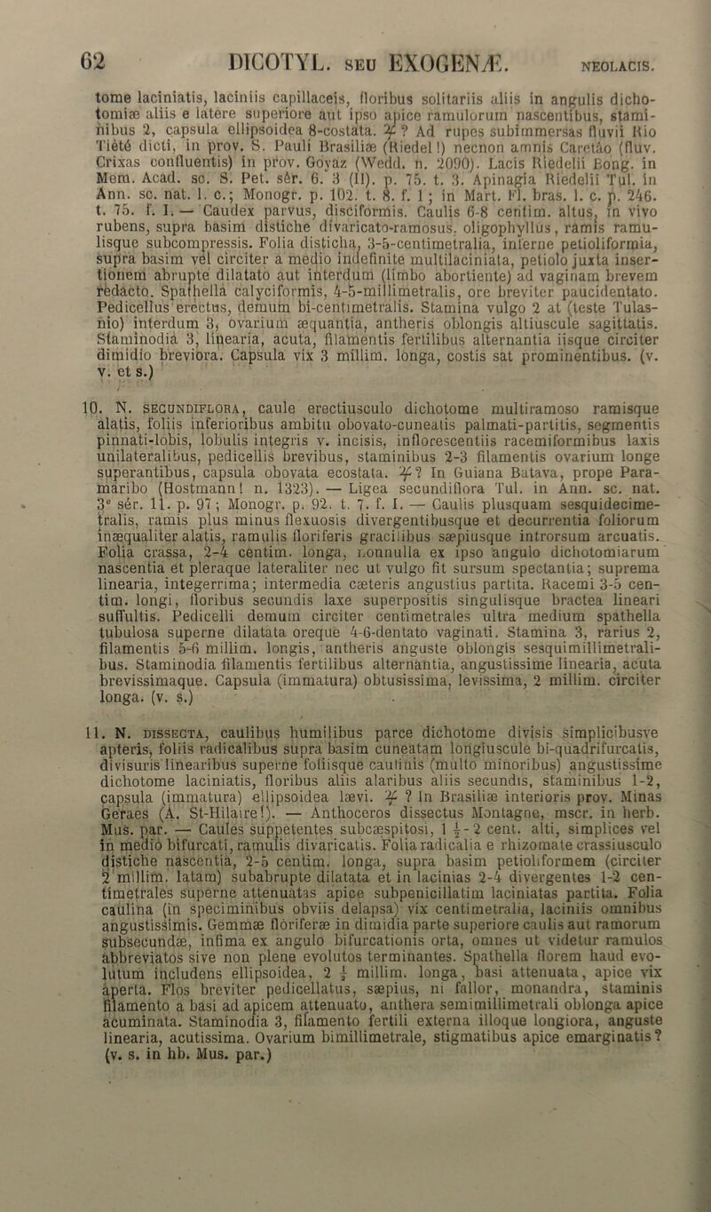 NEOLACIS. tome laciniatis, laciniis capillaceis, floribus solitariis aliis in angulis dicho- toraias aliis e latere superiore aut ipso apice ramulorum nascentibus, stami- nibus 2, capsula ellipsoidea 8-costata. ^ ? Ad rupes subimmersas fluvii Hio Tietb dicti, in prov. S. Pauli Brasiliae (Kiedel!) necnon amnis Caretao (fluv. Crixas confluentis) in pi*ov. Goyaz (Wedd. n. 2090). Lacis Itiedelii Eong. in Mem. Acad. sc. S. Pet. s6r. 6. 3 (II). p. 75. t. 3. Apinagia Hiedelii Tui. in Ann. sc. nat. 1. c.; Monogr. p. 102. t. 8. f. 1; in Mart. Pl. bras. 1. c. p. 246. t. 75. f. I. — Caudex parvus, disciformis. Caulis 6-8 centim. altus? in vivo rubens, supra basim distiche divaricato-ramosus, oligopbyllus, ramis ramu- lisque subcompressis. Folia disticha. 3-5-centimetralia, inlerne petioliformia, supra basim vel circiter a medio indefinite multilaciniata, petiolo juxta inser- tionem abrupte dilatato aut interdum (limbo abortiente) ad vaginam brevem redacto. Spathella calyciformis, 4-5-miIlimetralis, ore breviter paucidentato. Pedicellus erectus, demum bi-centimetralis. Stamina vulgo 2 at (teste Tulas- nio) interdum 3, ovarium aequantia, antheris oblongis altiuscule sagittatis. Staminodia 3, linearia, acuta, filamentis fertilibus alternantia iisque circiter dimidio breviora. Capsula vix 3 millim. longa, costis sat prominentibus, (v. v. et s.) 10. N. secundiflora, caule erectiusculo dichotome multiramoso ramisque alatis, foliis inferioribus ambitu obovato-cuneatis palmati-partitis, segmentis pinnati-lobis, lobulis integris v. incisis, inflorescentiis racemiformibus laxis unilateralibus, pedicellis brevibus, staminibus 2-3 filamentis ovarium longe superantibus, capsula obovata ecostata. ^? In Guiana Batava, prope Para- maribo (Hostmann! n. 1323). — Ligea secundiflora Tui. in Ann. sc. nat. 3° s6r. 11. p. 97; Monogr. p. 92. t. 7. f. I. — Caulis plusquam sesquidecime- tralis, ramis plus minus flexuosis divergentibusque et decurrentia foliorum inaequaliter alatis, ramulis floriferis gracilibus saepiusque introrsum arcuatis. Folia crassa, 2-4 centim. longa, nonnulla ex ipso angulo dichotomiarum nascentia et pleraque lateraliter nec ut vulgo fit sursum spectantia; suprema linearia, integerrima; intermedia caeteris angustius partita. Racemi 3-5 cen- tim. longi, floribus secundis laxe superpositis singulisque bractea lineari suffultis. Pedicelli demum circiter centimetrales ultra medium spathella tubulosa superne dilatata oreque 4-6-dentato vaginati. Stamina 3, rarius 2, filamentis 5-6 millim. longis, antheris anguste oblongis sesquimillimetrali- bus. Staminodia filamentis fertilibus alternantia, angustissime linearia, acuta brevissimaque. Capsula (immatura) obtusissima, levissima, 2 millim. circiter longa, (v. s.) 11. N. dissecta, caulibus humilibus parce dichotome divisis siraplicibusve apteris, foliis radicalibus supra basim cuneatam longiuscule bi-quadrifurcalis, divisuris linearibus superne foliisque caulinis (multo minoribus) angustissime dichotome laciniatis, floribus aliis alaribus aliis secundis, staminibus 1-2, capsula (immatura) ellipsoidea laevi. ^ ? In Brasiliae interioris prov. Minas Geraes (A. St-Hilaire!). — Anthoceros dissectus Monlagne, mscr. in herb. Mus. par. —• Caules suppetentes subcaespitosi, 1 j-2 cent. alti, simplices vel in medio bifurcati, ramulis divaricatis. Folia radicalia e rhizomate crassiusculo distiche nascentia, 2-5 centim. longa, supra basim petioliformem (circiter 2 millim. latam) subabrupte dilatata et in lacinias 2-4 divergentes 1-2 cen- timetrales superne attenuatas apice subpenicillatim laciniatas partita. Folia caulina (in speciminibus obviis delapsa) vix centimetralia, laciniis omnibus angustissimis. Gemmae floriferae in dimidia parte superiore caulis aut ramorum subsecundae, infima ex angulo bifurcationis orta, omnes ut videtur ramulos abbreviatos sive non plene evolutos terminantes. Spathella florem haud evo- lutum includens ellipsoidea, 2 } millim. longa, basi attenuata, apice vix aperta. Flos breviter pedicellatus, saepius, m fallor, monandra, staminis filamento a basi ad apicem attenuato, anthera semimillimetrali oblonga apice acuminata. Staminodia 3, fifamento fertili externa illoque longiora, anguste linearia, acutissima. Ovarium bimillimetrale, stigmatibus apice emarginatis? (v. s. in hb. Mus. par.)