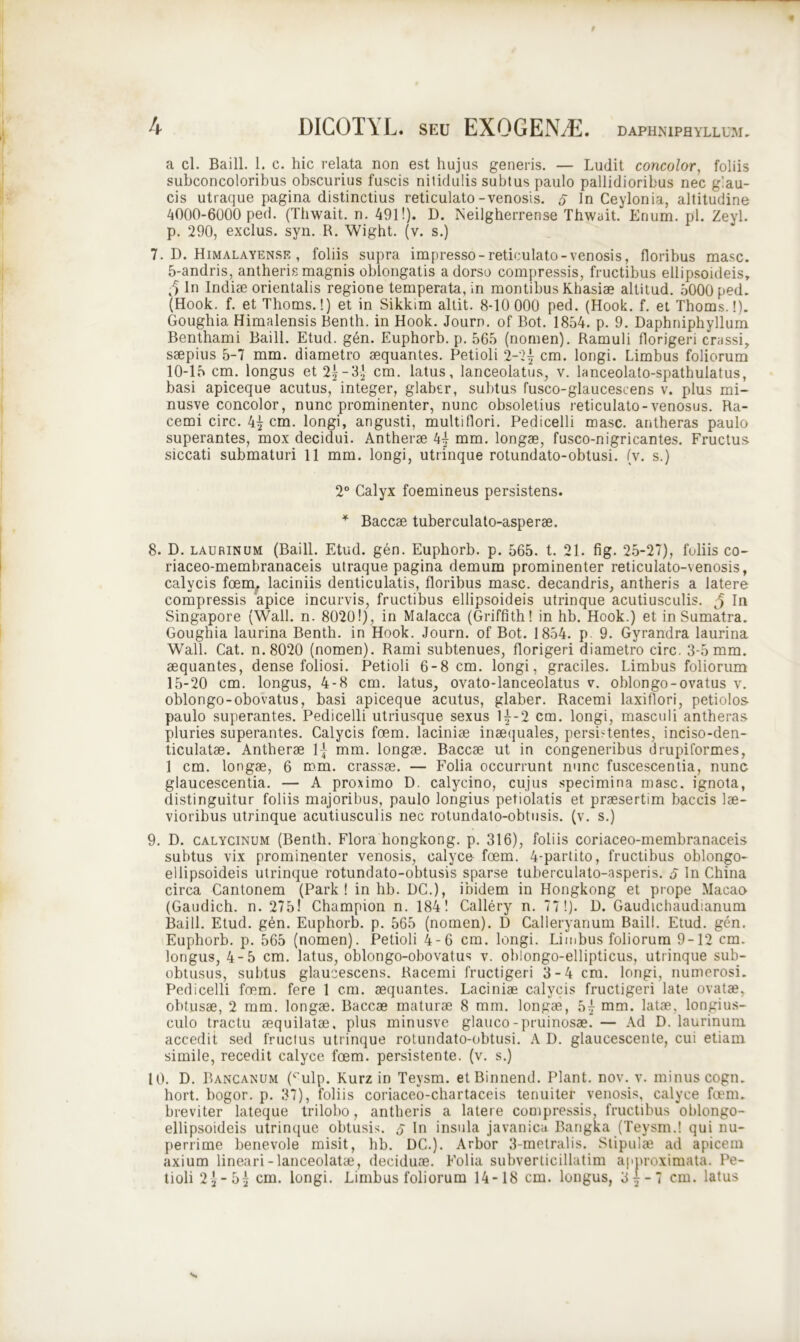 DAPHN1PHYLLUM. a cl. Baill. 1. c. hic relata non est hujus generis. — Ludit concolor, foliis subconcoloribus obscurius fuscis nilidulis subtus paulo pallidioribus nec glau- cis utraque pagina distinctius reticulato-venosis. 5 In Ceylonia, altitudine 4000-6000 ped. (Tliwait. n. 491!). D. Ixeilgherrense Thwait. Enum. pl. Zeyl. p. 290, exclus. syn. R. Wight. (v. s.) 7. D. Himalayensf. , foliis supra impresso-reticulato-venosis, floribus masc. 5-andris, antherismagnis oblongatis adorso compressis, fructibus ellipsoideis. In Indiae orientalis regione temperata, in montibus Khasiae altitud. 5000 ped. (Hook. f. et Thoms.!) et in Sikkim altit. 8-10 000 ped. (Hook. f. et Thoms.!). Goughia Himalensis Benth. in Hook. Journ. of Bot. 1854. p. 9. Daphniphyllum Benthami Baill. Etud. gen. Euphorb. p. 565 (nomen). Ramuli florigeri crassi, saepius 5-7 mm. diametro aequantes. Petioli 2-21 cm. longi. Limbus foliorum 10-15 cm. longus et 2^-3^ cm. latus, lanceolatus, v. lanceolato-spathulatus, basi apiceque acutus, integer, glabtr, subtus fusco-glaucescens v. plus mi- nusve concolor, nunc prominenter, nunc obsoletius reticulato-venosus. Ra- cemi circ. 4^ cm. longi, angusti, multiflori. Pedicelli masc. antheras paulo superantes, mox decidui. Antherae 4^ mm. longae, fusco-nigricantes. Fructus siccati submaturi 11 mm. longi, utrinque rotundato-obtusi. (v. s.) 2° Calyx foemineus persistens. * Baccae tuberculato-asperae. 8. D. laurinum (Baill. Etud. gen. Euphorb. p. 565. t. 21. fig. 25-27), foliis co- riaceo-membranaceis utraque pagina demum prominenter reticulato-venosis, calycis foem. laciniis denticulatis, floribus masc. decandris, antheris a latere compressis apice incurvis, fructibus ellipsoideis utrinque acutiusculis. J In Singapore (Wall. n. 80201), in Malacca (Griffith! in hb. Hook.) et in Sumatra. Goughia laurina Benth. in Hook. Journ. of Bot. 1854. p 9. Gyrandra laurina Wall. Cat. n.8020 (nomen). Rami subtenues, florigeri diametro circ. 3-5 mm. aequantes, dense foliosi. Petioli 6-8 cm. longi, graciles. Limbus foliorum 15-20 cm. longus, 4-8 cm. latus, ovato-lanceolatus v. oblongo-ovatus v. oblongo-obovatus, basi apiceque acutus, glaber. Racemi laxiflori, petiolos paulo superantes. Pedicelli utriusque sexus 1^-2 cm. longi, masculi antheras pluries superantes. Calycis foem. laciniae inaequales, persistentes, inciso-den- ticulatae. Antherae \\ mm. longae. Baccae ut in congeneribus drupiformes, 1 cm. longae, 6 mm. crassae. — Folia occurrunt nunc fuscescentia, nunc glaucescentia. — A proximo D. calycino, cujus specimina masc. ignota, distinguitur foliis majoribus, paulo longius petiolatis et praesertim baccis lae- vioribus utrinque acutiusculis nec rotundato-obtusis. (v. s.) 9. D. calycinum (Benth. Flora hongkong. p. 316), foliis coriaceo-membranaceis subtus vix prominenter venosis, calyce- foem. 4-partito, fructibus oblongo- ellipsoideis utrinque rotundato-obtusis sparse tuberculato-asperis. 5 In China circa Cantonem (Park ! in hb. DC.), ibidem in Hongkong et prope Macao (Gaudich. n. 275! Champion n. 184! Callery n. 77!). D. Gaudichaudianum Baill. Etud. gen. Euphorb. p. 565 (nomen). D Calleryanum Baill. Etud. gen. Euphorb. p. 565 (nomen). Petioli 4-6 cm. longi. Limbus foliorum 9-12 cm. longus, 4-5 cm. latus, oblongo-obovatus v. oblongo-ellipticus, utrinque sub- obtusus, subtus glaucescens. Racemi fructigeri 3-4 cm. longi, numerosi. Pedicelli foem. fere 1 cm. aequantes. Laciniae calycis fructigeri late ovatae, obtusae, 2 mm. longae. Baccae maturae 8 mm. longae, 5^ mm. latae, longius- culo tractu aequilatae, plus minusve glauco-pruinosae. — Ad D. laurinum accedit sed fructus utrinque rotundato-obtusi. A D. glaucescente, cui etiam simile, recedit calyce foem. persistente, (v. s.) 10. D. Bancanum ('•ulp. Kurz in Teysm. etBinnend. Piant, nov. v. minus cogn. hort. bogor. p. 37), foliis coriaceo-chartaceis tenuiter venosis, calyce foem. breviter lateque trilobo, antheris a latere compressis, fructibus oblongo- ellipsoideis utrinque obtusis. 5 In insula javanica Bangka (Teysm.! qui nu- perrime benevole misit, hb. DC.). Arbor 3-metralis. Stipulae ad apicem axium lineari-lanceolatae, deciduae. Folia subverticillatim approximata. Pe- tioli 2^-5^ cm. longi. Limbus foliorum 14-18 cm. longus, 3|-7 cm. latus