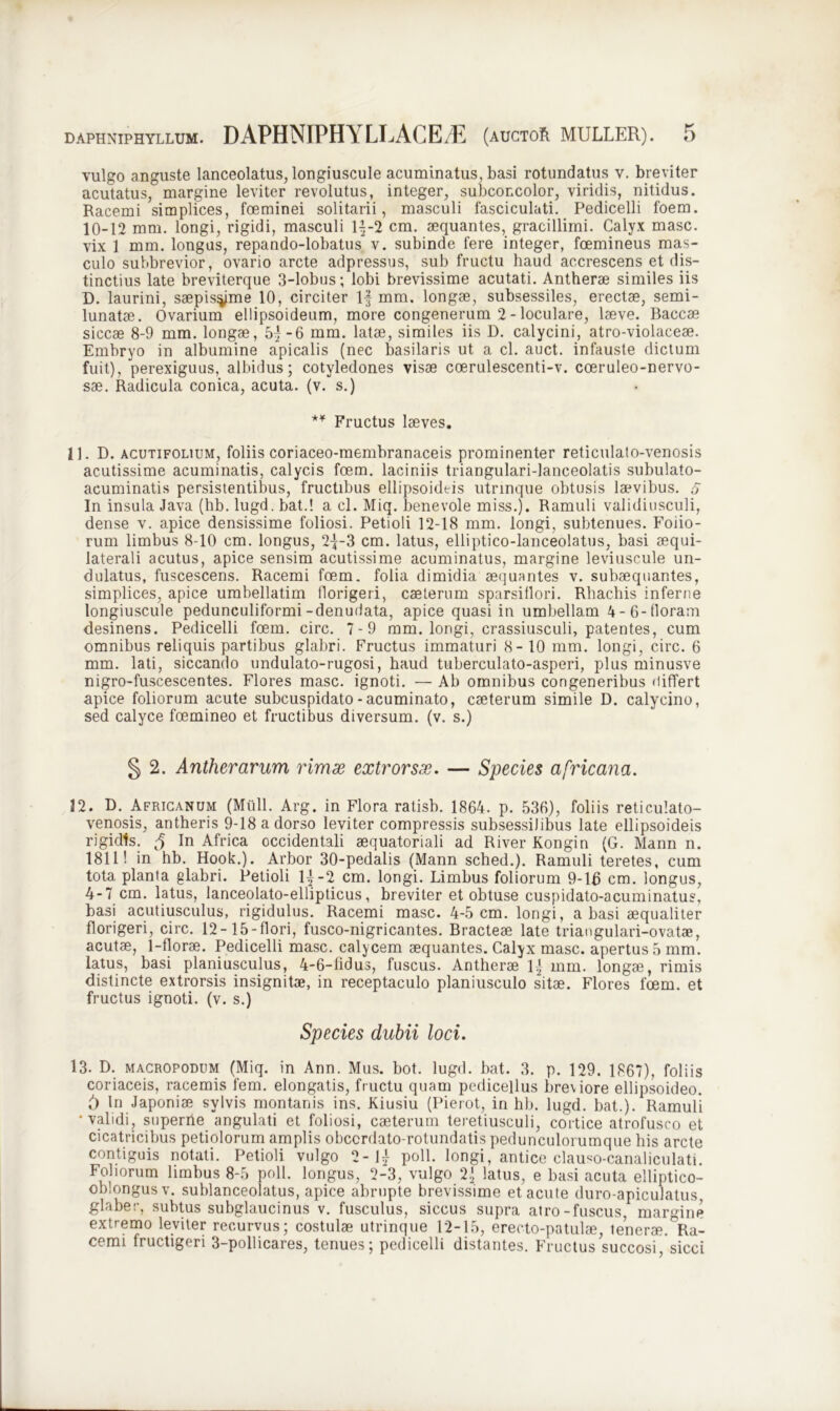vulgo anguste lanceolatus, longiuscule acuminatus, basi rotundatus v. breviter acutatus, margine leviter revolutus, integer, subconcolor, viridis, nitidus. Racemi simplices, foeminei solitarii, masculi fasciculati. Pedicelli foem. 10-12 mm. longi, rigidi, masculi 1—2 cm. aequantes, gracillimi. Calyx masc. vix 1 mm. longus, repando-lobatus v. subinde fere integer, foemineus mas- culo subbrevior, ovario arcte adpressus, sub fructu haud accrescens et dis- tinctius late breviterque 3-lobus; lobi brevissime acutati. Antherae similes iis D. laurini, saepissime 10, circiter 1§ mm. longae, subsessiles, erectae, semi- lunatae. Ovarium ellipsoideum, more congenerum 2 - loculare, laeve. Baccae siccae 8-9 mm. longae, 5j-6 mm. latae, similes iis D. calycini, atro-violaceae. Embryo in albumine apicalis (nec basilaris ut a cl. auct. infauste dictum fuit), perexiguus, albidus; cotyledones visae coerulescenti-v. cceruleo-nervo- sae. Radicula conica, acuta, (v. s.) *¥ Fructus laeves. 11. D. ACUTiFOLiUM, foliis coriaceo-membranaceis prominenter reticulato-venosis acutissime acuminatis, calycis foem. laciniis triangulari-lanceolatis subulato- acuminatis persistentibus, fructibus ellipsoideis utnnque obtusis laevibus. <7 In insula Java (hb. lugd. bat.! a cl. Miq. benevole miss.). Ramuli validiusculi, dense v. apice densissime foliosi. Petioli 12-18 mm. longi, subtenues. Foiio- rum limbus 8-10 cm. longus, 2{-3 cm. latus, elliptico-lanceolatus, basi aequi- laterali acutus, apice sensim acutissime acuminatus, margine leviuscule un- dulatus, fuscescens. Racemi foem. folia dimidia aequantes v. subaequantes, simplices, apice umbellatim florigeri, caeterum sparsiliori. Rhachis inferne longiuscule pedunculiformi-denudata, apice quasi in umbellam 4-6-floram desinens. Pedicelli foem. circ. 7-9 mm. longi, crassiusculi, patentes, cum omnibus reliquis partibus glabri. Fructus immaturi 8-10 mm. longi, circ. 6 mm. lati, siccando undulato-rugosi, haud tuberculato-asperi, plus minusve nigro-fuscescentes. Flores masc. ignoti. — Ab omnibus congeneribus differt apice foliorum acute subcuspidato - acuminato, caeterum simile D. calycino, sed calyce foemineo et fructibus diversum, (v. s.) § 2. Antherarum rimx extrorsx. — Species cifricana. 12. D. Africanum (Midi. Arg. in Flora ratisb. 1864. p. 536), foliis reticulato- venosis, antheris 9-18 a dorso leviter compressis subsessilibus late ellipsoideis rigidis. 5 In Africa occidentali aequatoriali ad River Kongin (G. Mann n. 1811! in hb. Hook.). Arbor 30-pedalis (Mann sched.). Ramuli teretes, cum tota planta glabri. Petioli 4-2 cm. longi. Limbus foliorum 9-16 cm. longus, 4-7 cm. latus, lanceolato-ellipticus, breviter et obtuse cuspidato-acuminatus, basi acutiusculus, rigidulus. Racemi masc. 4-5 cm. longi, a basi aequaliter florigeri, circ. 12 -15 - flori, fusco-nigricantes. Bracteae late triangulari-ovatae, acutae, 1-florae. Pedicelli masc. calycem aequantes. Calyx masc. apertus 5 mm. latus, basi planiusculus, 4-6-hdus, fuscus. Antherae 1’ mm. longae, rimis distincte extrorsis insignitae, in receptaculo planiusculo sitae. Flores foem. et fructus ignoti, (v. s.) Species dubii loci. 13. D. macropodum (Miq. in Ann. Mus. bot. lugd. bat. 3. p. 129. 1867), foliis coriaceis, racemis fem. elongatis, fructu quam pedicellus breviore ellipsoideo. () In Japoniae sylvis montanis ins. Kiusiu (Pierot, in hb. lugd. bat.). Ramuli •validi, superrte angulati et foliosi, caeterum teretiusculi, cortice atrofusco et cicatricibus petiolorum amplis obccrdato-rotundatis pedunculorumque his arcte contiguis notati. Petioli vulgo 2-lj poli, longi, antice clauso-canaliculati. Foliorum limbus 8-5 poli, longus, 2-3, vulgo 2.] latus, e basi acuta elliptico- ob.ongusv. sublanceolatus, apice abrupte brevissime et acute duro-apiculatus glaber, subtus subglaucinus v. fusculus, siccus supra atro-fuscus, margine extremo leviter recurvus; costulae utrinque 12-15, erecto-patulae, tenerae. Ra- cemi fructigeri 3-pollicares, tenues; pedicelli distantes. Fructus succosi, sicci