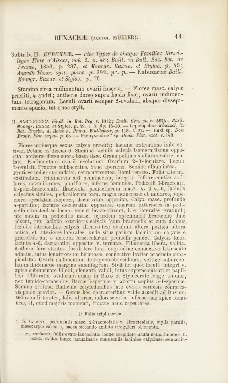 Subtrib. II. EUBUXEM. — Plee Types de chaque Famille; Kirscli- leger Flore d’Alsace, vol. 2. p. 48; Baill. in Bull. Soc. bot. de France, 1856. p. 287, et Monogr. Buxac. et Styloc. p. 45; Agardh Theor. syst. piant, p. 292. pr. p. — Eubuxacese Baill. Monogr. Buxac. et Styloc. p. 76. Stamina circa rudimentum ovarii inserta. — Flores masc. calyce praediti, 4-andri; antherae dorso supra basin fixae ; ovarii rudimen- tum tetragonum. Loculi ovarii semper 2-ovulati, absque dissepi- mento spurio, tot quot styli. IL SARGOCOCCA Lindi, in Bot. Reg. t. 1012; Endl. Gen. pl. n. 5875 ; Baill. Monogr. Buxac. et Styloc. p. 49. t. 3. fxg. 15-30. — Lepidopelma Klotzsch xn Bot. Eryebn. d. Reise d. Prinz. Waldemar, p. 118. t. 22. — Buxi sp. Don Prodr. Flor, nepal. p. 63. — Pachysandrae ? sp. 1Jook. Flor. exot. t. 148. Flores utriusque sexus calyce praediti; laciniae aestivatione imbrica- ti vae. Petala et discus 0. Stamina laciniis calycis isomera iisque oppo- sita; antherae dorso supra basin fixae. Grana pollinis stellatim subreticu- lata. Rudimentum ovarii evolutum. Ovarium 2-3-loculare. Loculi 2-ovulati. Fructus subbaccatus, haud aperiens. Semina albuminosa. — Frutices indici et sundaici, sempervirentes. Rami teretes. Folia alterna, exstipulata, triplinervia aut penninervia, integra. Inflorescentias axil- lares, racemiformes, pluriflorae, inferne foemineae. Pedicelli 1-bracteati, bi-pluri-bracteolati. Bracteolae pedicellorum masc. v. 2 v. 0, laciniis calycinis similes, pedicellorum foem. magis numerosae et minores, supe- riores gradatim majores, decussatim oppositae. Calyx masc. profunde 4-partitus; laciniae decussatim oppositae, quarum exteriores in pedi- cello ebracteolato locum tenent bracteolarum, i. e. laterales evadunt; ubi autem in pedicellis masc. (ejusdem speciminis) bracteolae duae adsunt, tum laciniae exteriores calycis (cum bracteolis et cum duabus laciniis interioribus calycis alternantes) evadunt altera postica altera antica, et interiores laterales, unde situs parium laciniarum calycis e praesentia aut e defectu bracteolarum pedicelli pendet. Calycis foem. laciniae 4-6, decussatim oppositae v. ternatae. Filamenta libera, valida. Antherae fere stantes; loculi fere tota longitudine connectivo latiusculo adnatae, intus longitrorsum birimosae, connectivo leviter producto suba- piculatae. Ovarii rudimentum tetragono-obovoideum, vertice suburceo- latum ibidemque margine subintegrum. Styli tot quot loculi, integri v. apice subuncinato bilobi, elongati, validi, intus superne sulcati et papil- losi. Obturator ovulorum quam in Buxo et Stylocerate longe tenuior, nec tumido-carnosulus. Baccae 6-spermae v. abortu saepius 5-1-spermae. Semina arillata. Radicula cotyledonibus late ovatis carnosis compres- sis paulo brevior. — Genus hoc characteribus valde accedit ad Buxum, sed ramuli teretes, folia alterna, inflorescentiae inferne nec apice foemi- neae, et, quod majoris momenti, fructus haud capsulares. 1° Folia triplinervia. 1. S. saligna, pedunculis masc. 2-bracteolatis v. ebracteolatis, stylis patulis, mesocarpio carnoso, bacca siccando ambitu irregulari oblongata. a. coriacea, foliis ovato-lanceolatis longe cuspidato-acuminatis, bracteis fl. masc. ovatis longe acuminatis majusculis lacinias calycinas semiattin-