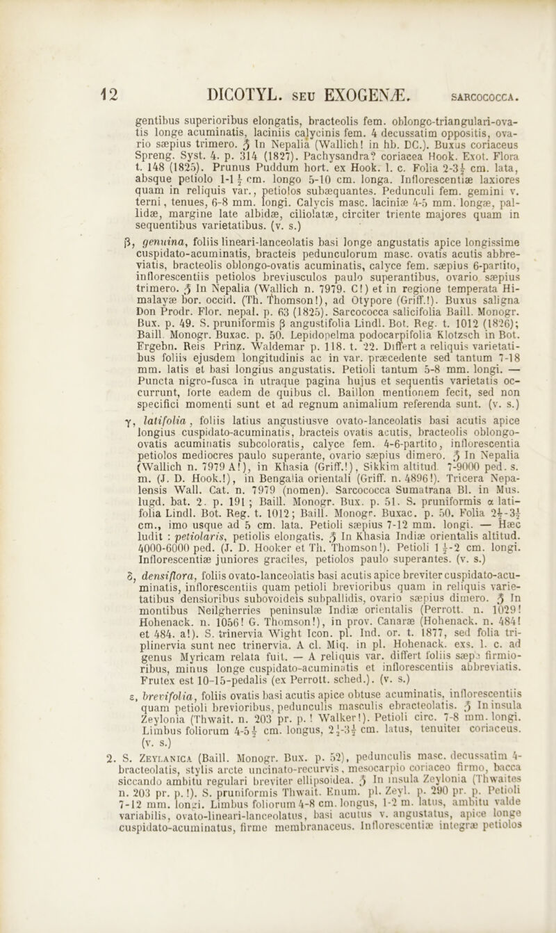 gentibus superioribus elongatis, bracteolis fem. oblongc-triangulari-ova- tis longe acuminatis, laciniis cajycinis fem. 4 decussatim oppositis, ova- rio saepius trimero. 3 In Nepalia (Wallich! in hb. DC.). Buxus coriaceus Spreng. Syst. 4. p. 314 (1827). Pachysandra? coriaeea Hook. Exot. Flora t. 148 (1825). Prunus Puddum hort. ex Hook. 1. c. Folia 2-3 j cm. lata, absque petiolo 1-1 £ cm. longo 5-10 cm. longa. Inflorescendae laxiores quam in reliquis var., petiolos subaequantes. Pedunculi fem. gemini v. terni, tenues, 6-8 mm. longi. Calycis masc. laciniae 4-5 mm. longae, pal- lidae, margine late albidae, ciliolatae, circiter triente majores quam in sequentibus varietatibus, (v. s.) |3, genuina, foliis lineari-lanceolatis basi longe angustatis apice longissime cuspidato-acuminatis, bracteis pedunculorum masc. ovatis acutis abbre- viatis, bracteolis oblongo-ovatis acuminatis, calyce fem. saepius 6-partito, inflorescendis petiolos breviusculos paulo superantibus, ovario saepius trimero. 3 In Nepalia (Wallich n. 7979. C!) et in regione temperata Hi- malayae bor. occid. (Th. Thomson!), ad Otypore (Griff.l). Buxus saligna Don Prodr. Flor, nepal. p. 63 (1825). Sarcococca salicifolia Baill. Monogr. Bux. p. 49. S. pruniformis (3 angustifolia Lindi. Bot. Reg. t. 1012 (1826); Baill. Monogr. Buxac. p. 50. Lepidopelma podocarpifolia Klotzsch in Bot. Ergebn. Reis Prinz. Waldemar p. 118. t. 22. Differta reliquis varietati- bus foliis ejusdem longitudinis ac in var. praecedente sed tantum 7-18 mm. latis et basi longius angustatis. Petioli tantum 5-8 mm. longi. — Puncta nigro-fusca in utraque pagina hujus et sequentis varietatis oc- currunt, forte eadem de quibus cl. Baillon mentionem fecit, sed non specifici momenti sunt et ad regnum animalium referenda sunt. (v. s.) y, latifolia, foliis latius angustiusve ovato-lanceolatis basi acutis apice longius cuspidato-acuminatis, bracteis ovatis acutis, bracteolis oblongo- ovatis acuminatis subcoloratis, calyce fem. 4-6-partito, inflorescentia petiolos mediocres paulo superante, ovario saepius dimero. 3 In Nepalia (Wallich n. 7979 A!), in Khasia (Griff.!), Sikkim altitud. 7-9000 ped. s. m. (J. D. Hook.!), in Bengalia orientali (Griff. n. 4896!). Tricera Nepa- lensis Wall. Cat. n. 7979 (nomen). Sarcococca Sumatrana Bl. in Mus. lugd. bat. 2. p. 191 ; Baill. Monogr. Bux. p. 51. S. pruniformis a lati- folia Lindi. Bot. Reg. t. 1012; Baill. Monogr. Buxac. p. 50. Folia 2^-3^ cm., imo usque ad 5 cm. lata. Petioli saepius 7-12 mm. longi. — Haec ludit : petiolaris, petiolis elongatis. 3 In Khasia Indiae orientalis altitud. 4000-6000 ped. (J. D. Hooker et Th. Thomson!). Petioli 1^-2 cm. longi. Inflorescendae juniores graciles, petiolos paulo superantes, (v. s.) 3, densi flora, foliis ovato-lanceolatis basi acutis apice breviter cuspidato-acu- minatis, inflorescendis quam petioli brevioribus quam in reliquis varie- tatibus densioribus subovoideis subpallidis, ovario saepius dimero. 3 montibus Neilgherries peninsulae Indiae orientalis (Perrott. n. 1029! Hohenack. n. 1056! G. Thomson!), in prov. Canarae (Hohenack. n. 484! et 484. a!). S. trinervia Wight Icon. pl. Ind. or. t. 1877, sed folia tri- plinervia sunt nec trinervia. A cl. Miq. in pl. Hohenack. exs. 1. c. ad genus Myricam relata fuit. — A reliquis var. differt foliis saepo firmio- ribus, minus longe cuspidato-acuminatis et inflorescendis abbreviatis. Frutex est 10-15-pedalis (ex Perrott. sched.). (v. s.) e, brevi folia, foliis ovatis basi acutis apice obtuse acuminatis, inflorescendis quam petioli brevioribus, pedunculis masculis ebracteolatis. 3 In insula Zeylonia (Thwait. n. 203 pr. p. ! Walker!). Petioli circ. 7-8 mm. longi. Limbus foliorum 4-5£ cm. longus, 2 1-3^ cm. latus, tenuitei coriaceus, (v. s.) 2. S. Zeylanica (Baill. Monogr. Bux. p. 52), pedunculis masc. decussatim 4- bracteolatis, stylis arcte uncinato-recurvis, mesocarpio coriaceo firmo, bacca siccando ambitu regulari breviter ellipsoidea. 3 In insula Zeylonia (Ihwaites n. 203 pr. p.!). S. pruniformis Thwait. Enum. pl. Zeyl. p. 290 pr. p. Petioli 7-12 mm. longi. Limbus foliorum 4-8 cm. longus, 1-2 m. latus, ambitu valde variabilis, ovato-lineari-lanceolatus, basi acutus v. angustatus, apice longe cuspidato-acuminatus, firme membranaceus. Inflorescendae integrae petiolos