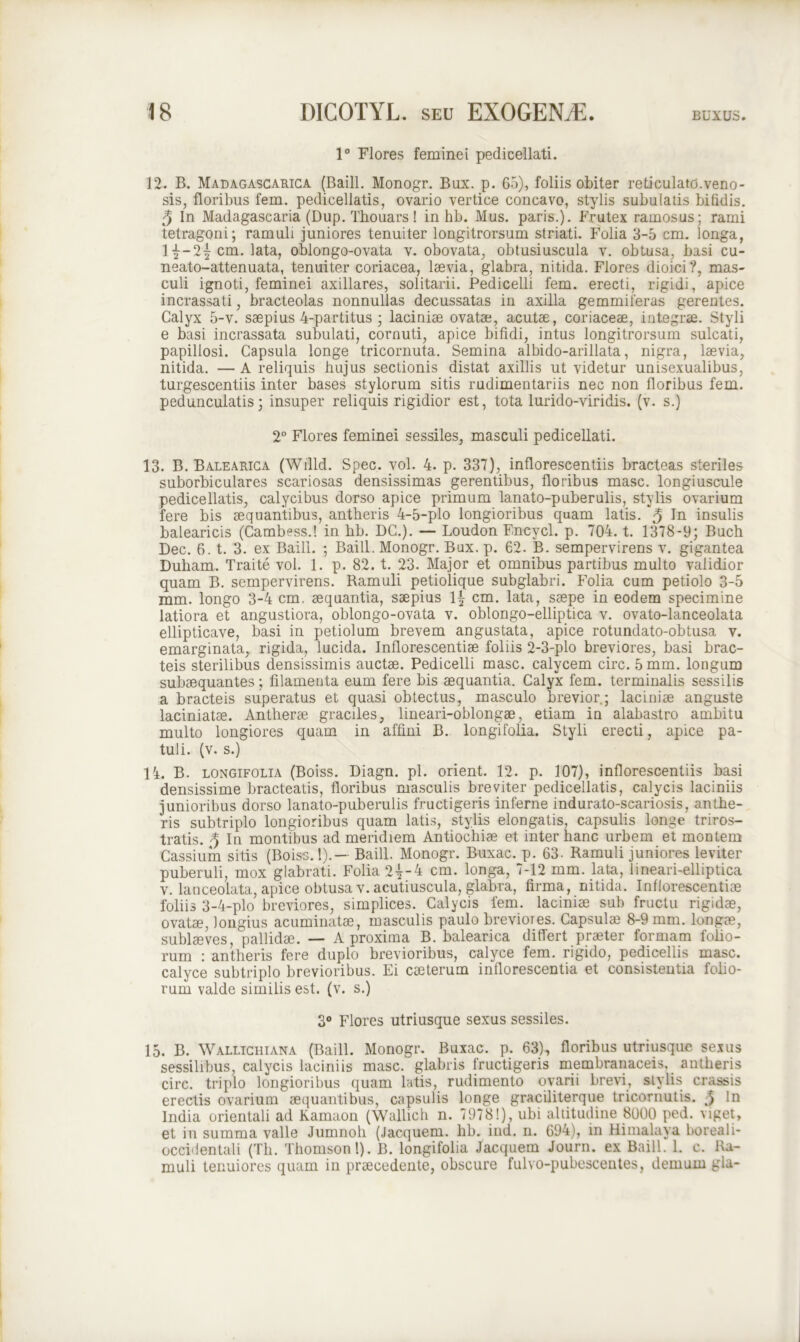 1° Flores feminei pedicellati. 12. B. Madagascarica (Baill. Monogr. Bux. p. 65), foliis obiter reticulato.veno- sis, floribus fem. pedicellatis, ovario vertice concavo, stylis subulatis bifidis. 3 In Madagascaria (Dup. Thouars! in hb. Mus. paris.). Frutex ramosus; rami tetragoni; ramuli juniores tenuiter longitrorsum striati. Folia 3-5 cm. longa, 1 cm. lata, oblongo-ovata v. obovata, obtusiuscula v. obtusa, basi cu- neato-attenuata, tenuiter coriacea, laevia, glabra, nitida. Flores dioici?, mas- culi ignoti, feminei axillares, solitarii. Pedicelli fem. erecti, rigidi, apice incrassati, bracteolas nonnullas decussatas in axilla gemmiferas gerentes. Calyx 5-v. saepius 4-partitus ; laciniae ovatae, acutae, coriaceae, integrae. Styli e basi incrassata subulati, cornuti, apice bifidi, intus longitrorsum sulcati, papillosi. Capsula longe tricornuta. Semina albido-arillata, nigra, laevia, nitida. — A reliquis hujus sectionis distat axillis ut videtur unisexualibus, turgescentiis inter bases stylorum sitis rudimentariis nec non floribus fem. pedunculatis; insuper reliquis rigidior est, tota lurido-viridis. (v. s.) 2° Flores feminei sessiles, masculi pedicellati. 13. B. Balearica (Wdld. Spec. vol. 4. p. 337), inflorescendis bracteas steriles suborbiculares scariosas densissimas gerentibus, floribus masc. longiuscule pedicellatis, calycibus dorso apice primum lanato-puberulis, stylis ovarium fere bis aequantibus, antheris 4-5-plo longioribus quam latis. ^ In insulis balearicis (Cambess.! in hb. DC.). — Loudon Fncycl. p. 704. t. 1378-9; Buch Dec. 6. t. 3. ex Baill. ; Baill. Monogr. Bux. p. 62. B. sempervirens v. gigantea Duham. Traite vol. 1. p. 82. t. 23. Major et omnibus partibus multo validior quam B. sempervirens. Ramuli petiolique subglabri. Folia cum petiolo 3-5 mm. longo 3-4 cm. aequantia, saepius 1| cm. lata, saepe in eodem specimine latiora et angustiora, oblongo-ovata v. oblongo-elliptica v. ovato-lanceolata ellipticave, basi in petiolum brevem angustata, apice rotundato-obtusa v. emarginata, rigida, lucida. Inflorescendae fodis 2-3-plo breviores, basi brac- teis sterilibus densissimis auctae. Pedicelli masc. calycem circ. 5 mm. longum subaequantes; filamenta eum fere bis aequantia. Calyx fem. terminalis sessilis a bracteis superatus et quasi obtectus, masculo brevior; laciniae anguste laciniatae. Antherae graciles, lineari-oblongae, etiam in alabastro ambitu multo longiores quam in affini B. longifolia. Styli erecti, apice pa- tuli. (v. s.) 14. B. longifolia (Boiss. Diagn. pl. orient. 12. p. 107), inflorescendis basi densissime bracteatis, floribus masculis breviter pedicellatis, calycis laciniis junioribus dorso lanato-puberulis fructigeris inferne indurato-scariosis, anthe- ris subtriplo longioribus quam latis, stylis elongatis, capsulis longe triros- tratis. ^ In montibus ad meridiem Antiochiae et inter hanc urbem et montem Cassium sitis (Boiss. 1).— Baill. Monogr. Buxac. p. 63. Ramuli juniores leviter puberuli, mox glabrati. Folia 2^-4 cm. longa, 7-12 mm. lata, lineari-ellipdca v. lanceolata, apice obtusa v. acutiuscula, glabra, firma, nitida. Inflorescendae foliis 3-4-plo breviores, simplices. Calycis fem. laciniae sub fructu rigidae, ovatae, longius acuminatae, masculis paulo breviores. Capsulae 8-9 mm. longae, sublaeves, pallidae. — A proxima B. balearica differt praeter formam folio- rum : antheris fere duplo brevioribus, calyce fem. rigido, pedicellis masc. calyce subtriplo brevioribus. Ei caeterum inflorescentia et consistentia folio- rum valde similis est. (v. s.) 3° Flores utriusque sexus sessiles. 15. B. Wallichiana (Baill. Monogr. Buxac. p. 63), floribus utriusque sexus sessilibus, calycis laciniis masc. glabris fructigeris membranaceis,. antheris circ. triplo longioribus quam latis, rudimento ovarii brevi, stylis crassis erectis ovarium aequantibus, capsulis longe graciliterque tricornutis. J In India orientali ad Kamaon (Wallich n. 7978!), ubi altitudine 8000 ped. viget, et in summa valle Jumnoh (Jacquem. hb. ind. n. 694), in Himalaya boreali- occidentali (Th. Thomson 1). B. longifolia Jacquem Journ. ex Baill. 1. c. Ra- muli tenuiores quam in praecedente, obscure fulvo-pubescentes, demum gla-