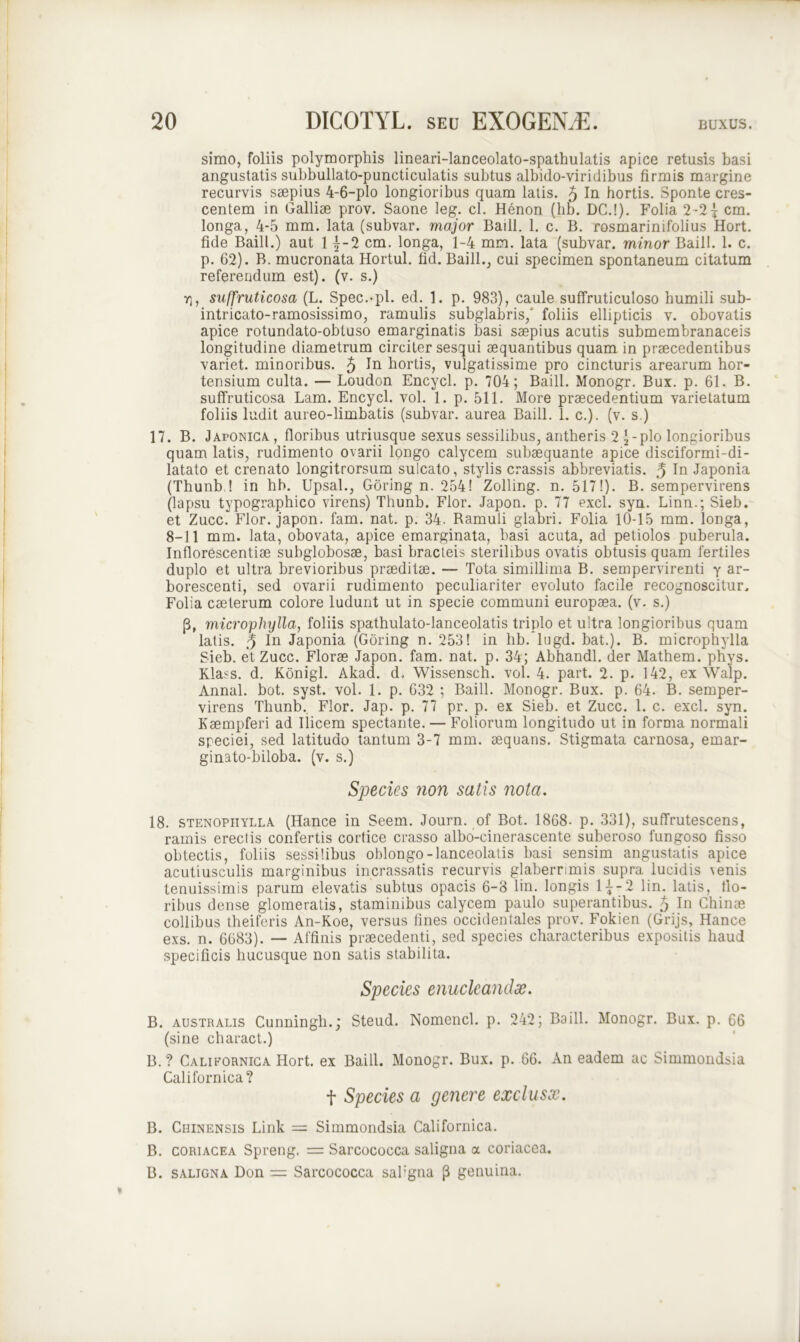 simo, foliis polymorphis lineari-lanceolato-spathulatis apice retusis basi angustatis subbullato-puncticulatis subtus albido-viridibus firmis margine recurvis saepius 4-6-pIo longioribus quam latis. 5 In hortis. Sponte cres- centem in Galliae prov. Saone leg. cl. Henon (hb. DC.!). Folia 2-2{ cm. longa, 4-5 mm. lata (subvar. major Baill. 1. c. B. rosmarinifolius Hort. fide Baill.) aut 11-2 cm. longa, 1-4 mm. lata (subvar. minor Baill. 1. c. p. 62). B. mucronata Hortul. fid. Baill., cui specimen spontaneum citatum referendum est), (v. s.) rj, suffruticosa (L. Spec.-pl. ed. 1. p. 983), caule suffruticuloso humili sub- intricato-ramosissimo, ramulis subglabris/ foliis ellipticis v. obovatis apice rotundato-obtuso emarginatis basi saepius acutis submembranaceis longitudine diametrum circiter sesqui aequantibus quam in praecedentibus variet, minoribus. 5 In bortis, vulgatissime pro cincturis arearum hor- tensium culta. — Loudon Encycl. p. 704; Baill. Monogr. Bux. p. 61. B. suffruticosa Lam. Encycl. vol. 1. p. 511. More praecedentium varietatum foliis ludit aureo-limbatis (subvar. aurea Baill. 1. c.). (v. s.) 17. B. Japonica , floribus utriusque sexus sessilibus, antheris 2 J-plo longioribus quam latis, rudimento ovarii longo calycem subaequante apice disciformi-di- latato et crenato longitrorsum sulcato, stylis crassis abbreviatis. 5 In Japonia (Thunb! in hb. Upsal., Goring n. 254! Zolling. n. 517!). B. sempervirens (lapsu typographico virens) Thunb. Flor. Japon. p. 77 exci. syn. Linn.; Sieb. et Zucc. Flor, japon. fam. nat. p. 34. Ramuli glabri. Folia 10-15 mm. longa, 8-11 mm. lata, obovata, apice emarginata, basi acuta, ad petiolos puberula. Inflorescentiae subglobosse, basi bracteis sterilibus ovatis obtusis quam fertiles duplo et ultra brevioribus praeditae. — Tota simillima B. sempervirenti y ar- borescenti, sed ovarii rudimento peculiariter evoluto facile recognoscitur. Folia caeterum colore ludunt ut in specie communi europaea. (v. s.) p, microphylla, foliis spathulato-lanceolatis triplo et ultra longioribus quam latis. 5 In Japonia (Goring n. 253! in hb/lugd. bat.). B. microphylla Sieb. et Zucc. Floras Japon. fam. nat. p. 34; Abhandl. der Mathem. phys. Klass. d. Konigl. Akad. d, Wissensch. vol. 4. part. 2. p. 142, ex Walp. Annal. bot. syst. vol. 1. p. 632 ; Baill. Monogr. Bux. p. 64. B. semper- virens Thunb. Flor. Jap. p. 77 pr. p. ex Sieb. et Zucc. 1. c. exci. syn. Kaempferi ad Ilicem spectante. — Foliorum longitudo ut in forma normali speciei, sed latitudo tantum 3-7 mm. aequans. Stigmata carnosa, ernar- ginato-biloba. (v. s.) Species non satis nota. 18. stenophylla (Hance in Seem. Journ. of Bot. 1868- p. 331), suffrutescens, ramis erectis confertis cortice crasso albo-cinerascente suberoso fungoso fisso obtectis, foliis sessilibus oblongo-lanceolatis basi sensim angustatis apice acutiusculis marginibus incrassatis recurvis glaberrimis supra lucidis \enis tenuissimis parum elevatis subtus opacis 6-8 lin. longis 1^-2 lin. latis, flo- ribus dense glomeratis, staminibus calycem paulo superantibus. 5 In Chinae collibus theiferis An-Koe, versus fines occidentales prov. Fokien (Grijs, Hance exs. n. 6683). — Affinis praecedenti, sed species characteribus expositis haud specificis hucusque non satis stabilita. Species enucleandae. B. australis Cunningh.; Steud. Nomencl. p. 242; Baill. Monogr. Bux. p. 66 (sine charact.) B.? Californica Hort. ex Baill. Monogr. Bux. p. 66. An eadem ac Simmondsia Californica? f Species a genere exclusx. B. Chinensis Link = Simmondsia Californica. B. coriacea Spreng. =: Sarcococca saligna a coriacea. B. saligna Don = Sarcococca saligna (3 genuina.