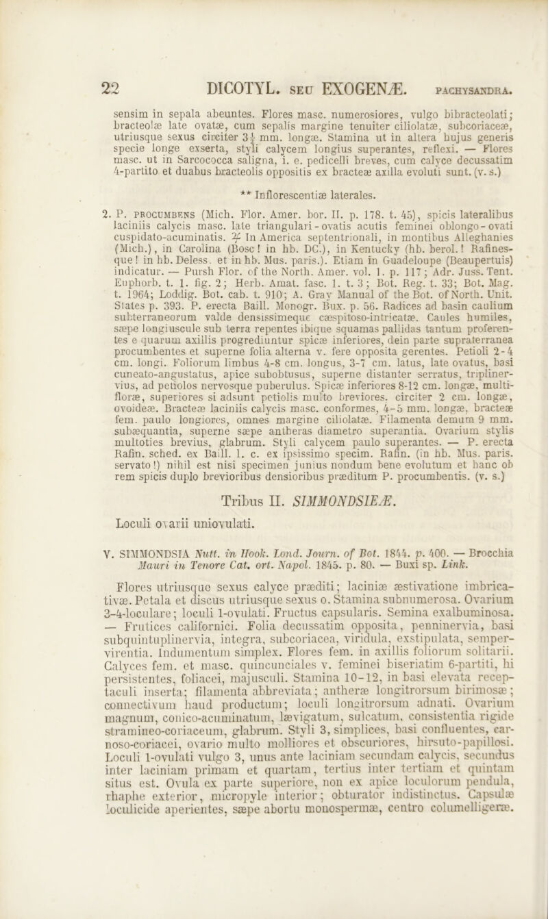 sensim in sepala abeuntes. Flores masc. numerosiores, vulgo bibracteolati; bracteolae late ovatae, cum sepalis margine tenuiter eiliolatae, subcoriaceae, utriusque sexus circiter 3j mm. longae. Stamina ut in altera hujus generis specie longe exserta, styli calycem longius superantes, reflexi. — Flores masc. ut in Sarcococca saligna, i. e. pedicelli breves, cum calyce decussatim 4-partito et duabus bracteolis oppositis ex bracteae axilla evoluti sunt. (v. s.) ** Inflorescentiae laterales. 2. P. procumbens (Mich. Flor. Amer. bor. II. p. 178. t. 45), spicis lateralibus laciniis calycis masc. late triangulari - ovatis acutis feminei oblongo-ovati cuspidato-acuminatis. 2C In America septentrionali, in montibus Alleghanies (Mich.), in Carolina (Bosc ! in hb. DC.), in Kentucky (hb. berol.! Rafines- que! in hb. Deless. et inhb. Mus. paris.). Etiam in Guadeloupe (Beaupertuis) indicatur. — Pursh Flor, of the North. Amer. vol. 1. p. 117; Adr. Juss. Tent. Euphorb. t. 1. fig. 2; Herb. Amat. fasc. 1. t. 3; Bot. Reg. t. 33; Bot. Mag. t. 1964; Loddig. Bot. cab. t. 910; A. Grav Manual of the Bot. of North. Unit. States p. 393. P. erecta Baill. Monogr. Bux. p. 56. Radices ad basin caulium subterraneorum valde densissimeque caespitoso-intricatae. Caules humiles, saepe longiuscule sub terra repentes ibique squamas pallidas tantum proferen- tes e quarum axillis progrediuntur spicae inferiores, dein parte supraterranea procumbentes et superne folia alterna v. fere opposita gerentes. Petioli 2-4 cm. longi. Foliorum limbus 4-8 cm. longus, 3-7 cm. latus, late ovatus, basi cuneato-angustatus, apice subobtusus, superne distanter serratus, tripliner- vius, ad petiolos nervosque puberulus. Spicae inferiores 8-12 cm. longae, multi- florae, superiores si adsunt petiolis multo breviores, circiter 2 cm. longae, ovoideae. Bracteae laciniis calycis masc. conformes, 4-5 mm. longae, bracteae fem. paulo longiores, omnes margine eiliolatae. Filamenta demum 9 mm. subaequantia, superne saepe antheras diametro superantia. Ovarium stylis multoties brevius, glabrum. Styli calycem paulo superantes. — P. erecta Rafin. sched. ex Baill. 1. c. ex ipsissimo specim. Rafin. (in hb. Mus. paris, servato!) nihil est nisi specimen junius nondum bene evolutum et hanc ob rem spicis duplo brevioribus densioribus praeditum P. procumbentis, (v. s.) Tribus II. S1MM0NDSIEJE. Loculi ovarii uniovulati. V. SIMMONDSIA Nutt. in Ilook. Lond. Journ. of Bot. 1844. p. 400. — Brocchia Mauri in Tenore Cat. ort. Napol. 1845. p. 80. — Buxi sp. Link. Flores utriusquo sexus calyce praediti; laciniae aestivatione imbrica- tiyae. Petala et discus utriusque sexus o. Stamina subnumerosa. Ovarium 3-4-loculare; loculi 1-ovulati. Fructus capsularis. Semina exalbuminosa. — Frutices californici. Folia decussatim opposita, penninervia, basi subquintuplinervia, integra, subcoriacea, viridula, exstipulata, semper- virentia. Indumentum simplex. Flores fem. in axillis foliorum solitarii. Calyces fem. et masc. quincunciaies v. feminei biseriatim 6-partiti, hi persistentes, foliacei, majusculi. Stamina 10-12, in basi elevata recep- taculi inserta; filamenta abbreviata; antherae longitrorsum birimosae; connectivum haud productum; loculi longitrorsum adnati. Ovarium magnum, conico-acuminatum, laevigatum, sulcatum, consistentia rigide stramineo-coriaceum, glabrum. Styli 3, simplices, basi confluentes, car- noso-coriacei, ovario multo molliores et obscuriores, hirsuto-papillosi. Loculi 1-ovulati vulgo 3, unus ante laciniam secundam calycis, secundus inter laciniam primam et quartam, tertius inter tertiam et quintam situs est. Ovula ex parte superiore, non ex apice loculorum pendula, rhaphe exterior, micropyle interior; obturator indistinctus. Capsulae loculicide aperientes, saepe abortu mouospermae, centro columelligene.