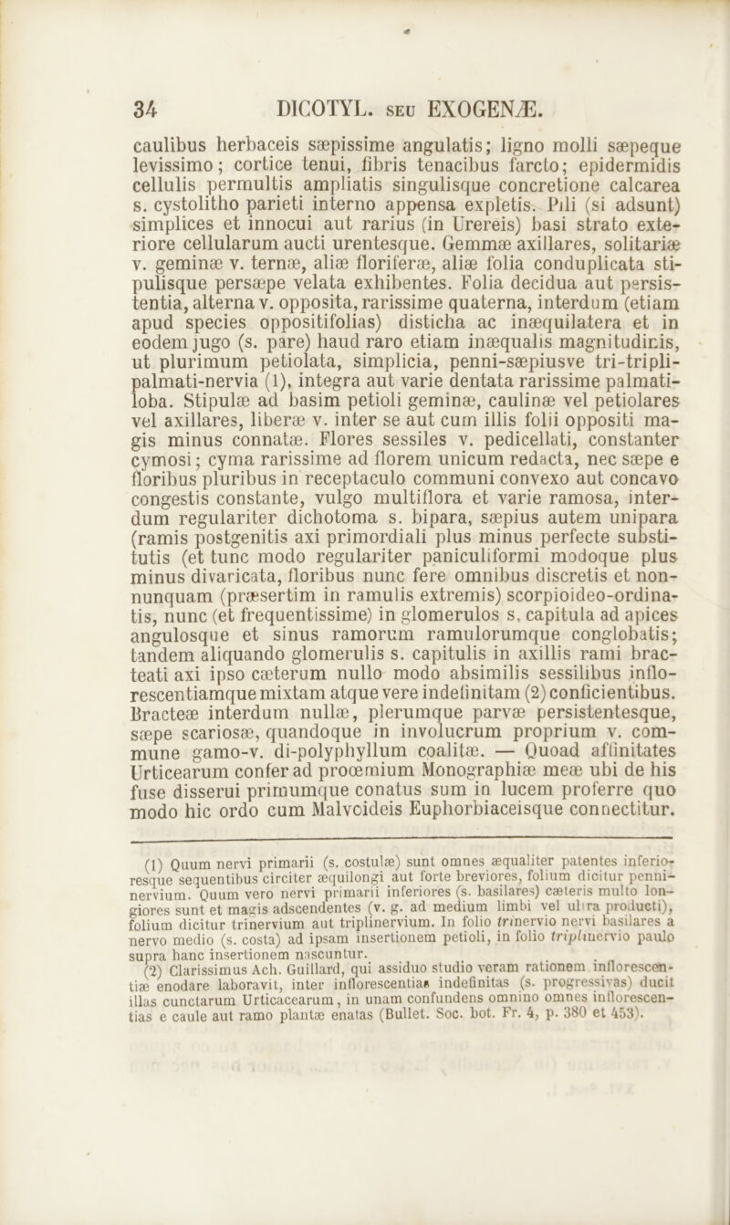 caulibus herbaceis saepissime angulatis; ligno molli saepeque levissimo; cortice tenui, fibris tenacibus farcto; epidermidis cellulis permultis ampliatis singulisque concretione calcarea s. cystolitho parieti interno appensa expletis. .Pili (si adsunt) simplices et innocui aut rarius (in Urereis) basi strato exte- riore cellularum aucti urentesque. Gemmae axillares, solitariae v. geminae v. ternae, aliae floriferae, aliae folia conduplicata sti- pulisque persaepe velata exhibentes. Folia decidua aut persis- tentia, alterna v. opposita, rarissime quaterna, interdum (etiam apud species oppositifolias) disticha ac inaequilatera et in eodem jugo (s. pare) haud raro etiam inaequalis magnitudinis, ut plurimum petiolata, simplicia, penni-saepiusve tri-tripli- palmati-nervia (1), integra aut varie dentata rarissime palmati- loba. Stipulae ad basim petioli geminae, caulinae vel petiolares vel axillares, liberae v. inter se aut cum illis folii oppositi ma- gis minus connatae. Flores sessiles v. pedicellati, constanter cymosi; cyma rarissime ad florem unicum redacta, nec saepe e floribus pluribus in receptaculo communi convexo aut concavo congestis constante, vulgo multiflora et varie ramosa, inter- dum regulariter dichotoma s. bipara, saepius autem unipara (ramis postgenitis axi primordiali plus minus perfecte substi- tutis (et tunc modo regulariter paniculiformi modoque plus minus divaricata, floribus nunc fere omnibus discretis et non- nunquam (praesertim in ramulis extremis) scorpioideo-ordina- tis, nunc (et frequentissime) in glomerulos s, capitula ad apices angulosque et sinus ramorum ramulorumque conglobatis; tandem aliquando glomerulis s. capitulis in axillis rami brac- teati axi ipso caeterum nullo modo absimilis sessilibus inflo- rescentiamque mixtam atque vere indefinitam (2) conficientibus. Bracteae interdum nullae, plerumque parvae persistentesque, saepe scariosae, quandoque in involucrum proprium v. com- mune gamo-v. di-polyphyllum coalitae. — Quoad affinitates Urticearum confer ad prooemium Monographiae meae ubi de his fuse disserui primumque conatus sum in lucem proferre quo modo hic ordo cum Malvoideis Euphorbiaceisque connectitur. (1) Quum nervi primarii (s. costulae) sunt omnes aequaliter patentes inferio- resque sequentibus circiter aequilongi aut forte breviores, folium dicitur penni- nervium. Quum vero nervi primarii inferiores (s. basilares) caeteris multo lon- giores sunt et magis adscendentes (v. g. ad medium limbi vel ulira producti), folium dicitur trinervium aut triplinervium. In folio trinervio nervi basilares a nervo medio (s. costa) ad ipsam insertionem petioli, in folio triplmerxlo paulo supra hanc insertionem nascuntur. (2) Clarissimus Ach. Guillard, qui assiduo sludio veram rationem inflorescen- tiae enodare laboravit, inter inflorescentia* indefinitas (s. progressivas) ducit illas cunctarum Urticacearum, in unam confundens omnino omnes inflorescen- tias e caule aut ramo plantae enatas (Bullet. Soc. bot. Fr. 4, p. 380 et 453).