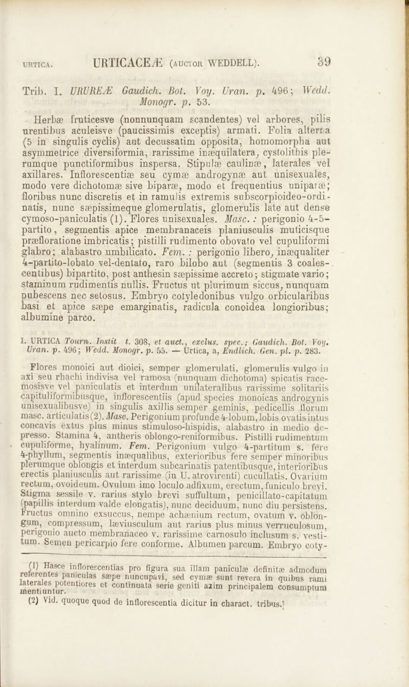 Trib. I. URUREjE Gaudich. Bot. Voy. Uran. p, 496; Wedd. Monogr. p. 53. Herbae fruticesve (nonnunquam scandentes) vel arbores, pilis urentibus aculeisve (paucissimis exceptis) armati. Folia alteri a (5 in singulis cyclis) aut decussatim opposita, homomorpha aut asymmetrice diversiformia, rarissime insequilatera, cystolitbis ple- rumque punctiformibus inspersa. Stipulae caulinae, laterales vel axillares. Inflorescentiae seu cymae androgynae aut unisexuales, modo vere dichotomae sive biparae, modo et frequentius uniparae; floribus nunc discretis et in ramulis extremis subscorpioideo-ordi- natis, nunc saepissimeque glomerulatis, glomerulis late aut dense cymoso-paniculatis (1). Flores unisexuales. Masc. : perigonio 4-5- partito, segmentis apice membranaceis planiusculis muticisque praefloratione imbricatis; pistilli rudimento obovato vel cupuliformi glabro; alabastro umbilicato. Fem. : perigonio libero, inaequaliter 4-partito-lobato vel-dentato, raro bilobo aut (segmentis 3 coales- centibus) bipartito, post anthesin saepissime accreto; stigmate vario; staminum rudimentis nullis. Fructus ut plurimum siccus, nunquam pubescens nec setosus. Embryo cotyledonibus vulgo orbicularibus basi et apice saepe emarginatis, radicula conoidea longioribus; albumine parco. I. URTICA Tourn.Inslit t. 308, et auct., exclus. spec.; Gaudich. Bot. Voy. Uran. p. 496; Wedd. Monogr. p. 55. — Urtica, a, Endlich. Gen. pl. p. 283. Flores monoici aut dioici, semper glomerulati, glomerulis vulgo iu axi seu rhachi indivisa vel ramosa (nunquam clichotoma) spicatis race- mosisve vel paniculatis et interdum unilateralibus rarissime solitariis capituliformibusque, inflorescendis (apud species monoicas androgynis unisexualibusve) in singulis axillis semper geminis, pedicellis florum masc. articulatis (2). Maso. Perigonium profunde 4-lobum, lobis ovatis intus concavis extus plus minus stimuloso-liispidis, alabastro in medio de- presso. Stamina 4, antheris oblongo-reniformibus. Pistilli rudimentum cupuliforme, hyalinum. Fem. Perigonium vulgo 4-partitum s. fere 4-phyllum, segmentis inaequalibus, exterioribus fere semper minoribus plerumque oblongis et interdum subcarinatis patentibusque, interioribus erectis planiusculis aut rarissime (in U. atrovirenti) cucullatis. Ovarium rectum, ovoideum. Ovulum imo loculo adfixum, erectum, funiculo brevi. Stigma sessile v. rarius stylo brevi suffultum, penicillato-capitatum (papillis interdum valde elongatis), nunc deciduum, nunc diu persistens. Fructus omnino exsuccus, nempe achaenium rectum, ovatum v. oblon- gum, compressum, laeviusculum aut rarius plus minus verruculosum, perigonio aucto membranaceo v. rarissime carnosulo inclusum s. vesti- tum. Semen pericarpio fere conforme. Albumen parcum. Embryo coty- (1) Hasce lnflorescerilias pro figura sua illam paniculae definitae admodum reierentes paniculas saepe nuncupavi, sed cymae sunt revera in quibus rami menti un turlentl°reS 6t conlinuata serie geniti azim principalem consumptum (2) Vid. quoque quod de inflorescentia dicitur in charact. tribus.1