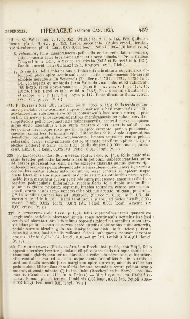 ill. p. 82, Vahl enum. v. i. p. 352, Willd.! sp. v. 1. p. 164. Pep. Quitensis Benth. piant. Hartw. p. 253. Herba succulenta. Caules erecti, teretes, viridi-rubentes, pilosi. Limbi 0,03-0,055 longi. Petioli 0,005-0,01 longi, (v. s.) p reticulata, foliis membranaceo-pellucidis crebre reticulato-nervulosis, elliptico-acutis apice brevissime attenuatis saepe obtusis. — Prope Caracas (Vargas! in h. DC.), in Mexico ad Orizaba (Salle et Botteri! in h. DC.), Carolina meridionali (Michaux! in h. Francov. ex h. Rich.). y, dissimilis, foliis inferioribus elliptico-rotundis obtusis superioribus ob- longo-eliipticis apice acutiusculis basi acutis membranaceis 3-5-nerviis obsolete nervulosis. In Venezuela (Fendler n. 11701, 11721, 1173! in h. DC.), in asperis et umbrosis juxta Valle de Juanambu et EI Tablon ait. 760 hexap. regni Psovo-Granatensis (H.et B. nov. gen. v. 1. p. 67. t,. 13, Humb.! in h. Beroi. et in h. Willd. n. 743 !). Pep. dissimilis Kunth ! I. c. et synops. v. 1. p. 119, Miq.l syst. p. 117. Piper dissimile Roem. et Sch. syst. v. 1. p. 333. (v. s.) 337. P. Botterii (Cas. DC. in Beem, journ. 1866. p. 146), foliis ternis quater- nisve petiolatis ovato-acuminatis apice obtusiusculis basi rotundatis vel ellip- tico-lanceolatis subrhombeisve apice obtusiusculis basi acutis utrinque prae- sertim ad nervos pilosulo-pubescentibus membranaceis reticulato-nervulosis subpebucidis pellucido-punctulatis quinquenerviis, centrali nervo ad apicem usque ducto lateralibus 2 alte supra medium ductis externis subtilioribus brevioribus nervuloque juxta marginem apice currente, petiolo pubescente, amentis axillaribus terminalibusque filiformibus folia duplo superantibus densifloris, pedunculo pilosulo-pubescente, bractea rotundata centro peltata subsessili, ovario semi-immerso ovato, stigmate papillosulo pilosulo. Q ln Mexico (Botteri! et Salle! in h. DC.). Caulis simplex? 0,002 crassus, pubes- cens. Limbi 0,04 longi, 0,025 lati. Petioli 0,015 longi, (v. s.) 338. P. lanceolata (Cas. DC. in Seem. journ. 1866, p. 145), foliis quaternis- senis breviter petiolatis lanceolatis basi in petiolum subdecurrentibus supra ad nervos pubescentibus dein nervis exceptis glabratis subtus glabris rigi- dulo-membranaceis pellucido-punctulatis enervulosis quinquenerviis, nervis 3 centralibus subtus subcarinato-prominulis, nervo centrali ad apicem usque ducto lateralibus alte supra medium ductis externis subtilioribus nervulo pel- lucido juxta marginem currente, petiolo supra pubescente, amentis axillaribus breviter pedunculatis filiformibus subdensifloris folia duplo superantibus, pedunculo glabro petiolum aequante, bractea rotundata centro peltata sub- sessili, ovario postea semi-immerso apice oblique acutato, stigmate puberulo. 5? In Andibus Quitensibus ait. 9000ped. (Spruce n. 6110! in b. DC., Ja- ineson n. 343 ! in b. DC.). Rami teretiusculi, glabri, ad nodos hirtelli, 0,005 crassi. Limbi 0,035 longi, 0,012 lati. Petioli 0,003 longi. Amenta vix 0,001 crassa, (v. s.) 339. P. hypoleuca (Miq. ! syst. p. 136), foliis superioribus ternis quaternisve longiuscule petiolatis obovato-pllipticis apice acutiusculis acuminatisve basi ' acutis vel obovato-rotundatis infimis oppositis minoribus omnibus supra atro- viridibus glabris subtus ad nervos parce hirtellis albicantibus quinquenerviis, petiolo sursum hirtello. 5 In ins. Sandwich (Gaudich.! in h. Deless.). Fruti- culus 0,3 altus, basi e nodis radicans, fuscus, subligneus, pennam corvinam crassus. Limbi 0,02-0,045 longi, 0,015-0,02 lati. Petioli 0,01-0,015 longi, (v. s.) 340. P. membranacea (Hook. et Arn.! in Beech. bot. p. 96, non Miq.), foliis oppositis ternisve breviter petiolatis elliptico-lanceolatis utrinque acutis apice acuminatis glabris tenuiter membranaceis reticulato-nervulosis, quinquener- viis, centrali nervo ad apicem usque ducto lateralibus 2 alte externis ad medium ductis nervulo juxta marginem apice currente, amentis axillaribus pedunculatis filiformibus densifloris, bractea rotundata centro peltata, ovario emerso, stigmate minuto. Q In ins. Oahu (Beechey! in h. Kew.), ins. Ma- riannis (Gaudich. n. 216! in h. Deless.). — Miq.! syst. p. 120. Herba? ra- mosa. Ramuli glabri teretes. Limbi vix 0,04 longi, 0,015 lati. Petioli 0,005- 0,007 longi Pedunculi 0,01 longi, (v. s.)