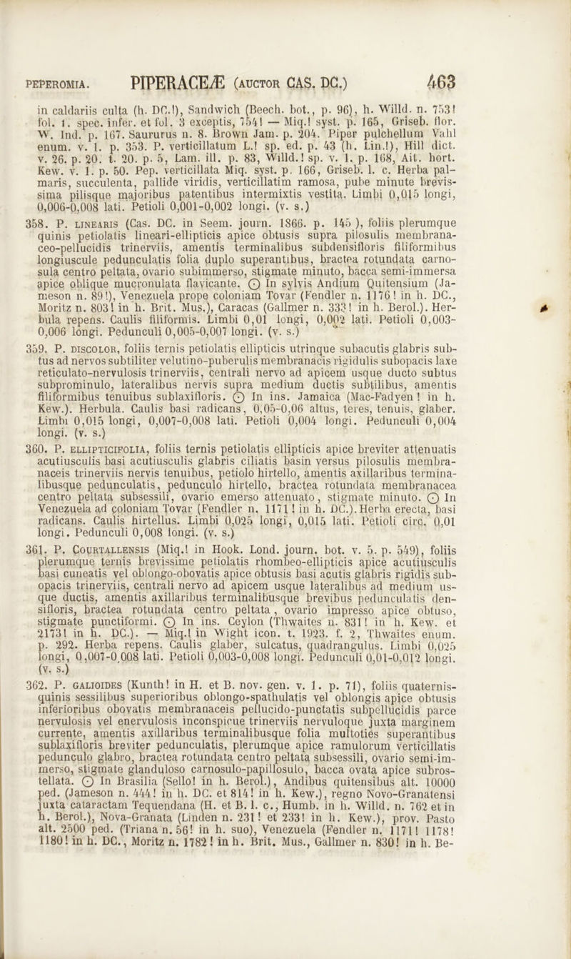 in caldariis culta (h. DO.!), Sandwich (Beech. bot., p. 96), h. Willd. n. 753! fol. t. spec. infer, et fol. 3 exceptis, 754! — Miq.! syst. p. 165, Griseb. flor. W. Ind. p. 167. Saururus n. 8. Brown Jam. p. ‘204. Piper pulchellum Valil enum. v. 1. p. 353. P. verticillatum L.! sp. ed. p. 43 (h. Lin.!), Hili dict. v. 26. p. 20. t. 20. p. 5, Lam. ili. p. 83, Willd.! sp. v. 1. p. 168, Ait. hort. Kew. v. 1. p. 50. Pep. verticillata Miq. syst. p, 166, Griseb. 1. c. Herba pal- maris, succulenta, pallide viridis, verticillatim ramosa, pube minute brevis- sima pilisque majoribus patentibus intermixtis vestita. Limbi 0,015 longi, 0,006-0,008 lati. Petioli 0,001-0,002 longi, (v. s.) 358. P. linearis (Cas. DC. in Seem. journ. 1866. p. 145 ), foliis plerumque quinis petiolatis lineari-ellipticis apice obtusis supra pilosulis membrana- ceo-pellucidis trinerviis, amentis terminalibus subdensifloris filiformibus longiuscule pedunculatis folia duplo superantibus, bractea rotundata carno- sula centro peltata, ovario subimmerso, stigmate minuto, bacca semi-immersa apice oblique mucronulata flavicante. Q ln sylvis Andium Quitensium (Ja- meson n, 89!), Venezuela prope coloniam Tovar (Fendler n. 1176! in h. DC., Moritz n. 803! in h. Brit. Mus.), Caracas (Gallmer n. 333! in h. Berol.). Her- bula repens. Caulis filiformis. Limbi 0,01 longi, 0,002 lati. Petioli 0,003- 0,006 longi. Pedunculi 0,005-0,007 longi, (v. s.) 359. P. discolor, foliis ternis petiolatis ellipticis utrinque subacutis glabris sub- tus ad nervos subtiliter velutino-puberulis membranacis rigidulis subopacis laxe reticulato-nervulosis trinerviis, centrali nervo ad apicem usque ducto subtus subprominulo, lateralibus nervis supra medium ductis subtilibus, amentis filiformibus tenuibus sublaxifloris. Q ln ins. Jamaica (Mac-Fadyen ! in h. Kew.). Herbula. Caulis basi radicans, 0,05-0,06 altus, teres, tenuis, glaber. Limbi 0,015 longi, 0,007-0,008 lati. Petioli 0,004 longi. Pedunculi 0,004 longi, (v. s.) 360. P. ellipticifolia, foliis ternis petiolatis ellipticis apice breviter attenuatis acutiusculis basi acutiusculis glabris ciliatis basin versus pilosulis membra- naceis trinerviis nervis tenuibus, petiolo hirtello, amentis axillaribus termina- libusque pedunculatis, pedunculo hirtello, bractea rotundata membranacea centro peltata subsessili, ovario emerso attenuato, stigmate minuto. Q In Venezuela ad coloniam Tovar (Fendler n. 1171! in h. DC.).Herba erecta, basi radicans. Caulis hirtellus. Limbi 0,025 longi, 0,015 lati. Petioli circ. 0,01 longi. Pedunculi 0,008 longi, (v. s.) 361. P. Courtallensis (Miq.! in Hook. Lond. journ. bot. v. 5. p. 549), foliis plerumque ternis brevissime petiolatis rhombeo-ellipticis apice acutiusculis basi cuneatis vel oblongo-obovatis apice obtusis basi acutis glabris rigidis sub- opacis trinerviis, centrali nervo ad apicem usque lateralibus ad medium us- que ductis, amentis axillaribus terminalibusque brevibus pedunculatis den- sifloris, bractea rotundata centro peltata, ovario impresso apice obtuso, stigmate punctiformi. O In ins- Ceylon (Thwaites u. 831! in h. Kew. et 2173! in h. DC.). — Miq.! in Wight icon. t. 1923. f. 2, Thwaites enum. p. 292. Herba repens. Caulis glaber, sulcatus, quadrangulus. Limbi 0,025 longi, 0,007-0 008 lati. Petioli 0,003-0,008 longi. Pedunculi 0,01-0,012 longi, (v. s.) 362. P. galioides (Kunth! in H. et B. nov. gen. v. 1. p. 71), foliis quaternis- quinis sessilibus superioribus oblongo-spathulatis vel oblongis apice obtusis inferioribus obovatis membranaceis pellucido-punctatis subpellucidis parce nervulosis vel enervulosis inconspicue trinerviis nervuloque juxta marginem currente, amentis axillaribus terminalibusque folia multoties superantibus sublaxifloris breviter pedunculatis, plerumque apice ramulorum verticillatis pedunculo glabro, bractea rotundata centro peltata subsessili, ovario semi-im- merso, stigmate glanduloso carnosulo-papillosulo, bacca ovata apice subros- tellata. O In Brasilia (Sello! in h. Berol.), Andibus quitensibus ait. 10000 ped. (Jameson n. 444! in h. DC. et 814! in h. Kew.), regno Novo-Granatensi juxta cataractam Tequendana (H. et B. 1. c., Humb. in h. Willd. n. 762 et in h. Berol.), Nova-Granata (Linden n. 231! et 233! in h. Kew.), prov. Pasto ait. 2500 ped. (Trianan.56! in h. suo), Venezuela (Fendler n. 1171! 1178! 1180! in h. DC., Moritz n. 1782 ! in h. Brit. Mus., Gallmer n. 830! in h. Be-
