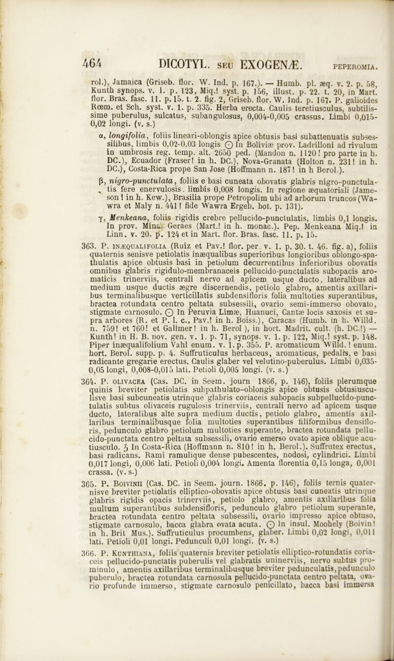 PEPEROMIA. rol.)> Jamaica (Griseb. flor. W. Ind. p. 167.). — Humb. pl. aeq. v. 2. p. 58, Kunth synops. v. 1. p. 123, Miq.! syst. p. 156, illust. p. 22. t. 20, in Mart. flor. Bras. fasc. 11. p. 15. t. 2. fig. 2, Griseb. flor. W. Ind. p. 167. P. galioides Rcem. et Sch. syst. v. 1. p. 335. Herba erecta. Caulis teretiusculus, subtilis- sime puberulus, sulcatus, subangulosus, 0,004-0,005 crassus. Limbi 0,015- 0,02 longi, (v. s.) a, longifolia, foliis lineari-oblongis apice obtusis basi subattenuatis subses- silibus, limbis 0,02-0,03 longis 0 in Bolivise prov. Ladrilloni ad rivulum in umbrosis reg. temp. ait. 2650 ped. (Mandon n. 1120! pro parte in h. DC.), Ecuador (Fraser! in h. DC.), Nova-Granata (Holton n. 231! in h. DC.), Costa-Rica prope San Jose (Hoffmann n. 187! in h Berol.). p, nigro-punctulata, foliis e basi cuneata obovatis glabris nigro-punctula- „ tis fere enervulosis. limbis 0,008 longis. In regione sequatoriali (Jame- son 1 in h. Kew.), Brasilia prope Petropolim ubi ad arborum truncos(Wa- wra et Maly n. 441! fide Wawra Ergeb. bot. p. 131). y, Menkeana, foliis rigidis crebre pellucido-punctulatis, limbis 0,1 longis. In prov. Minat Geraes (Mart.! in h. monac.). Pep. Menkeana Miq.! in Linn. v. 20. p. 124 et in Mart. flor. Bras. fasc. 11. p. 15. 363. P. in^qualiFOLIA (Ruiz et Pav.! flor. per. v. 1. p. 30. t. 46. fig. a), foliis quaternis senisve petiolatis inaequalibus superioribus longioribus oblongo-spa- thulatis apice obtusis basi in petiolum decurrentibus inferioribus obovatis omnibus glabris rigidulo-membranaceis pellucido-punctulatis subopacis aro- maticis trinerviis, centrali nervo ad apicem usque ducto, lateralibus ad medium usque ductis aegre discernendis, petiolo glabro, amentis axillari- bus terminalibusque verticillatis subdensifloris folia multoties superantibus, bractea rotundata centro peltata subsessili, ovario semi-immerso obovato, stigmate carnosulo. Q In Peruvia Limae, Huanuci, Cantae locis saxosis et su- pra arbores (R. et P. 1. c., Pav.! in h. Boiss.), Caracas (Humb. in h. Willd. n. 759! et 760! et Gallmer! in h. Berol ), in hort. Madrit. cult. (h. DC.!) — Kunth! in H. B. nov. gen. v. 1. p. 71, synops. v. 1. p. 122, Miq.! syst. p. 148. Piper inaequalifolium Vahl enum. v. l.p. 355. P. aromaticum Willd.! enum. hort. Berol. supp. p. 4. Suffruticulus herbaceus, aromaticus, pedalrs, e basi radicante gregarie erectus. Caulis glaber vel velutino-puberulus. Limbi 0,035- 0,05 longi, 0,008-0,015 lati. Petioli 0,005 longi, (v. s.) 364. P- olivacea (Cas. DC. in Seein. journ 1866, p. 146), foliis plerumque quinis breviter petiolatis subpathulato-oblongis apice obtusis obtusiuscu- lisve basi subcuneatis utrinque glabris coriaceis subopacis subpellucido-punc- tulatis subtus olivaceis rugulosis trinerviis, centrali nervo ad apicem usque ducto, lateralibus alte supra medium ductis, petiolo glabro, amentis axil- laribus terminalibusque folia multoties superantibus filiformibus densiflo- ris, pedunculo glabro petiolum multoties superante, bractea rotundata pellu- cido-punctata centro peltata subsessili, ovario emerso ovato apice oblique acu- tiusculo. 5 Ia Costa-Rica (Hoffmann n. 810! in h. Berol.). Suffrutex erectus, basi radicans. Rami ramulique dense pubescentes, nodosi, cylindrici. Limbi 0,017 longi, 0,006 lati. Petioli 0,004 longi. Amenta florentia 0,15 longa, 0,001 crassa, (v. s.) 365. P. Boivinii (Cas. DC. in Seem. journ. 1866. p. 146), foliis ternis quater- nisve breviter petiolatis elliptico-obovatis apice obtusis basi cuneatis utrinque glabris rigidis opacis trinerviis, petiolo glabro, amentis axillaribus folia multum superantibus subdensifloris, pedunculo glabro petiolum superante, bractea rotundata centro peltata subsessili, ovario impresso apice obtuso, stigmate carnosulo, bacca glabra ovata acuta. Q In insui. Moohely (Boivin! in h. Brit Mus.). Suffruticulus procumbens, glaber. Limbi 0,02 longi, 0,011 lati. Petioli 0,01 longi. Pedunculi 0,01 longi, (v. s.) 366. P. Kunthiana, foliis quaternis breviter petiolatis elliptico-rotundatis coria- ceis pellucido-punctatis puberulis vel glabratis uninerviis, nervo subtus pro- minulo, amentis axillaribus terminalibusque breviter pedunculatis,pedunculo puberulo, bractea rotundata carnosula pellucido-punctata centro peltata, ova- rio profunde immerso, stigmate carnosulo penicillato, bacca basi immersa