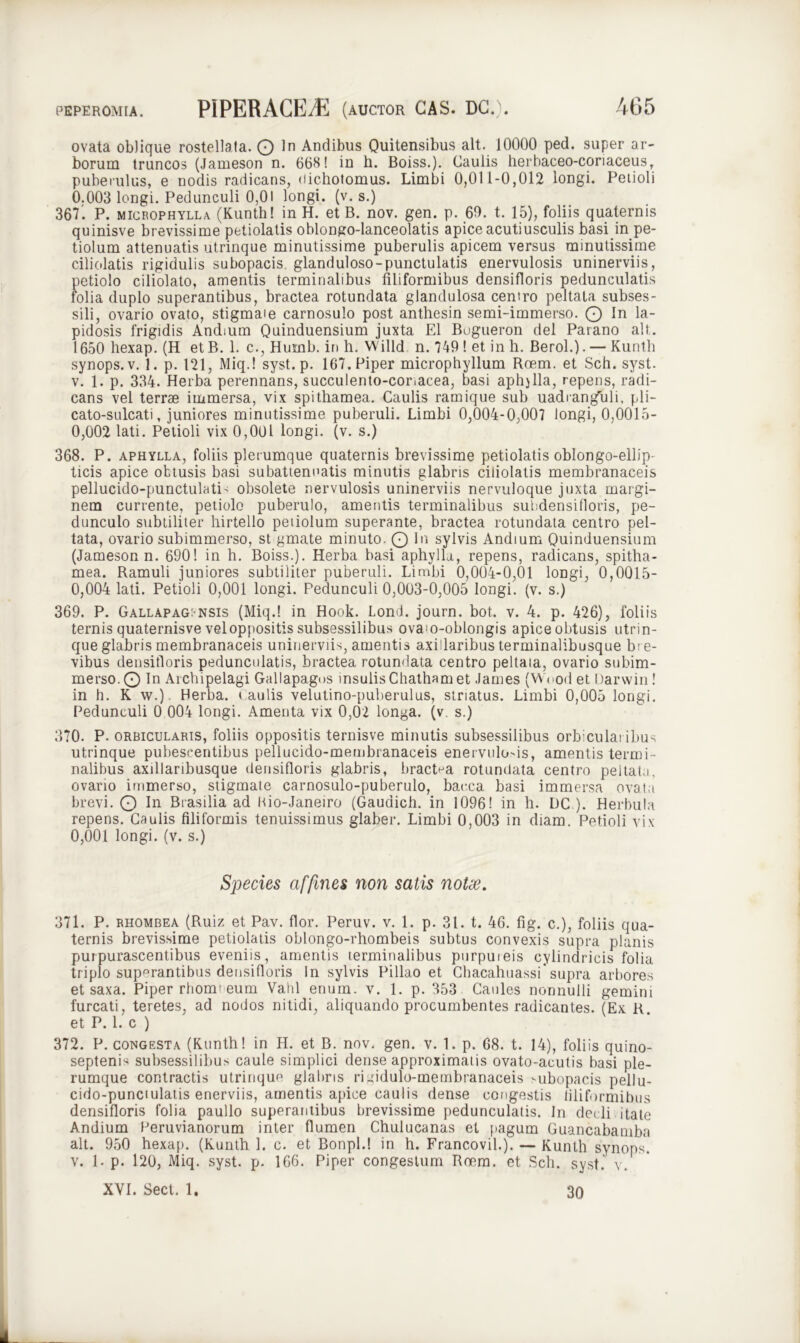 ovata oblique rostellata. O ln Andibus Quitensibus alt. 10000 ped. super ar- borum truncos (Jameson n. 668! in h. Boiss.). Caulis herbaceo-coriaceus, puberulus, e nodis radicans, dichotomus. Limbi 0,011-0,012 longi. Petioli 0.003 longi. Pedunculi 0,01 longi, (v. s.) 367' P. micpophylla (Kunth! in H. et B. nov. gen. p. 60. t. 15), foliis quaternis quinisve brevissime petiolatis oblongo-lanceolatis apice acutiusculis basi in pe- tiolum attenuatis utrinque minutissime puberulis apicem versus minutissime ciliolatis rigidulis subopacis. glanduloso-punctulatis enervulosis uninerviis, petiolo ciliolato, amentis terminalibus filiformibus densifloris pedunculatis folia duplo superantibus, bractea rotundata glandulosa centro peltata subses- sili, ovario ovato, stigmate carnosulo post anthesin semi-immerso. Q pidosis frigidis Andium Quinduensium juxta EI Bugueron dei Parano alt. 1650 hexap. (H et B. 1. c., Humb. in h. Willd n. 749 ! et in h. Berol.). — Kunth synops.v. 1. p. 121, Miq.! syst. p. 167. Piper microphyllum Roem. et Sch. syst. v. 1. p. 334. Herba perennans, succulento-coriacea, basi aphylia, repens, radi- cans vel terrae immersa, vix spithamea. Caulis ramique sub uadranguli, pli- cato-sulcati, juniores minutissime puberuli. Limbi 0,004-0,007 longi, 0,0015- 0,002 lati. Petioli vix 0,001 longi, (v. s.) 368. P. aphylla, foliis plerumque quaternis brevissime petiolatis oblongo-ellip- ticis apice obtusis basi subattenuatis minutis glabris ciliolatis membranaceis pellucido-punctulatE obsolete nervulosis uninerviis nervuloque juxta margi- nem currente, petiolo puberulo, amentis terminalibus subdensifloris, pe- dunculo subtiliter hirtello petiolum superante, bractea rotundata centro pel- tata, ovario subimmerso, st gmate minuto. Q bt sylvis Andium Quinduensium (Jameson n. 690! in h. Boiss.). Herba basi aphylla, repens, radicans, spitha- mea. Ramuli juniores subtiliter puberuli. Limbi 0,004-0,01 longi, 0,0015- 0,004 lati. Petioli 0,001 longi. Pedunculi 0,003-0,005 longi, (v. s.) 369. P. Gallapag:nsis (Miq.! in Hook. Lond. journ. bot, v. 4. p. 426), foliis ternis quaternisve vel oppositis subsessilibus ovam-oblongis apice obtusis utrin- que glabris membranaceis uninerviis, amentis axillaribus terminalibusque bre- vibus densifloris pedunculatis, bractea rotundata centro peltata, ovario subim- merso. O 1° Archipelagi Gallapagos insulis Chatham et James (YYood et Uarwin! in h. K w.). Herba, t aulis velutino-puberulus, striatus. Limbi 0,005 longi. Pedunculi 0 004 longi. Amenta vix 0,02 longa, (v. s.) 370. P- orbicularis, foliis oppositis ternisve minutis subsessilibus orbicularibus utrinque pubescentibus pellucido-meuibranaceis enervulods, amentis termi- nalibus axd laribusque densifloris glabris, bractea rotundata centro peltata, ovario immerso, stigmate carnosulo-puberulo, barca basi immersa ovata brevi. O In Brasilia ad Hio-Janeiro (Gaudich. in 1096! in h. DC ). Herbula repens. Caulis filiformis tenuissimus glaber. Limbi 0,003 in diam. Petioli vix 0,001 longi, (v. s.) 371. P. rhombea (Ruiz et Pav. flor. Peruv. v. 1. p. 31. t. 46. fig. c.), foliis qua- ternis brevissime petiolatis oblongo-rhombeis subtus convexis supra planis purpurascentibus eveniis, amentis terminalibus purpuieis cylindricis folia triplo supQrantibus densifloris In sylvis Pillao et Chacahuassi'supra arbores et saxa. Piper rhom> eum Valil enum. v. 1. p. 353 Caules nonnulli gemini furcati, teretes, ad nodos nitidi, aliquando procumbentes radicantes. (Ex R. et P. 1. c ) 372. P. congesta (Kunth! in H. et B. nov. gen. v. 1. p. 68. t. 14), foliis quino- septenh subsessilibus caule simplici dense approximalis ovato-acutis basi ple- rumque contractis utrinque glabris ruidulo-membranaceis >ubopacis pellu- cido-punciulatis enerviis, amentis apice caulis dense congestis filiformibus densifloris folia paullo superantibus brevissime pedunculatis. In dedi itate Andium Peruvianorum inter flumen Chulucanas et pagum Guancabamba alt. 950 hexap. (Kunth 1. c. et Bonpl.! in h. Francovil.). — Kunth synops. V. 1. p. 120, Miq. syst. p. 166. Piper congestum Roem. et Sch. syst. v. Species affines non satis notie. XVI. Sect. 1. 30