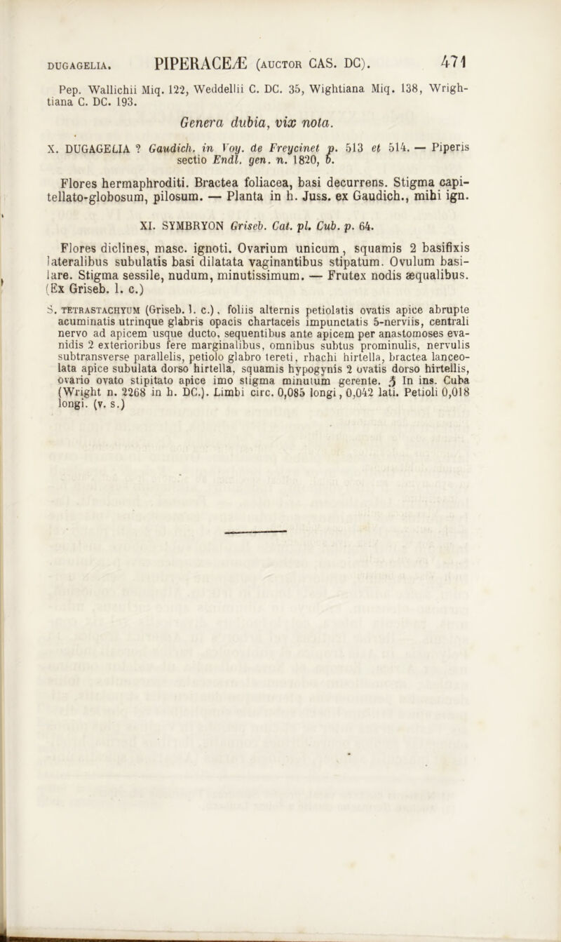 Pep. Wallichii Miq. 122, Weddeliii C. DC. 35, Wightiana Miq. 138, Wrigh- tiana C. DC. 193. Genera dubia, vix nola. X. DUGAGELIA ? Gaudich. in Voy. de Freycinet p. 513 et 514. — Piperis sectio Endl. gen. n. 1820, o. Flores hermaphroditi. Bractea foliacea, basi decurrens. Stigma capi- tellato-globosum, pilosum. — Planta in h. Juss. ex Gaudich., mihi ign. XI. SYMBRYON Grisei). Cat. pl. Cub. p. 64. Flores diclines, masc. ignoti. Ovarium unicum, squamis 2 basifixis lateralibus subulatis basi dilatata vaginantibus stipatum. Ovulum basi- lare. Stigma sessile, nudum, minutissimum. — Frutex nodis aequalibus. (Ex Griseb. 1. c.) 8. tetrastachyum (Griseb. 1. c.), foliis alternis petiolatis ovatis apice abrupte acuminatis utrinque glabris opacis chartaceis impunctatis 5-nerviis, centrali nervo ad apicem usque ducto, sequentibus ante apicem per anastomoses eva- nidis 2 exterioribus fere marginalibus, omnibus subtus prominulis, nervulis subtransverse parallelis, petiolo glabro tereti, rhachi hirtella, bractea lanceo- lata apice subulata dorso hirtella, squamis hypogynis 2 ovatis dorso hirtellis, ovario ovato stipitato apice imo stigma minutum gerente. $ In ins. Cuba (Wright n. 2268 in b. DC.). Limbi circ. 0,085 longi, 0,042 lati. Petioli 0,018 longi, (v. s.)