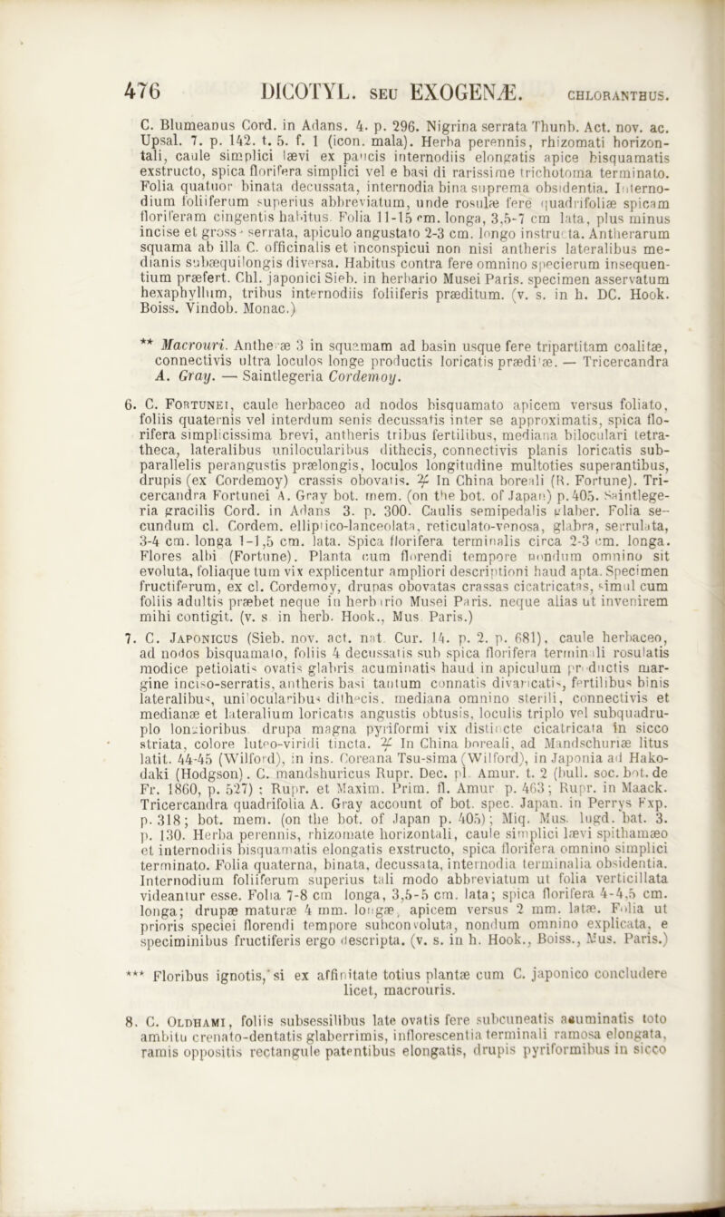 C. Blumeanus Cord. in Adans. 4. p. 296. Nigrina serrata Thunb. Act. nov. ac. Upsal. 7. p. 142. t. 5. f. 1 (icon. mala). Herba perennis, rhizomati horizon- tali, caule simplici laevi ex paucis internodiis elongatis apice bisquamatis exstructo, spica florifera simplici vel e basi di rarissime trichotoma terminato. Folia quatuor binata decussata, internodia bina suprema obsidentia. I iterno- dium toliiferum superius abbreviatum, unde rosulaj fere quadrifoliae spicam floriferam cingentis habitus. Folia 11-15 em. longa, 3,5-7 cm lata, plus minus incise et gross- serrata, apiculo angustato 2-3 cm. longo instru ta. Antlierarum squama ab illa C. officinalis et inconspicui non nisi antheris lateralibus me- dianis sobaequilongis diversa. Habitus contra fere omnino specierum insequen- tium praefert. Chi. Japonici Sieb. in herbario Musei Paris, specimen asservatum hexaphyllum, tribus internodiis foliiferis praeditum, (v. s. in h. DC. Hook. Boiss. Yindob. Monae.) ** Macrouri. Anthe ae 3 in squamam ad basin usque fere tripartitam coalitae, connectivis ultra loculos longe productis loricatis praedi'ae. — Tricercandra A. Gray. — Saintlegeria Cordemoy. 6. C. Fortunei, caule herbaceo ad nodos bisquamato apicem versus foliato, foliis quaternis vel interdum senis decussatis inter se approximatis, spica flo- rifera simplicissima brevi, antheris tribus fertilibus, mediana biloculari tetra- theca, lateralibus unilocularibus dithecis, connectivis planis loricatis sub- parallelis perangustis praelongis, loculos longitudine multoties superantibus, drupis (ex Cordemoy) crassis obovatis. in china boreali (H. Fortune). Tri- cercandra Fortunei A. Gray bot. mem. (on the bot. of Japan) p.405. Smntlege- ria gracilis Cord. in Adans 3. p. 300. Caulis semipedalis fj laber. Folia se- cundum cl. Cordem. ellipiico-lanceolata, reticulato-venosa, glabra, serrulata, 3-4 cm. longa 1-1,5 cm. lata. Spica florifera terminalis circa 2-3 cm. longa. Flores albi (Fortune). Planta cum flurendi tempore nondum omnino sit evoluta, foliaque tum vix explicentur ampliori descriptioni haud apta. Specimen fructiferum, ex cl. Cordemoy, drupas obovatas crassas cicatricatas, simul cum foliis adultis praebet neque in herb irio Musei Paris, neque alias ut invenirem mihi contigit, (v. s in herb. Hook., Mus Paris.) 7. C. Japonicus (Sieb. nov. act. nat Cur. )k. p. 2. p. 681), caule herbaceo, ad nodos bisquamato, foliis 4 decussatis sub spica flori fera terminali rosulatis modice petioiatri ovatis glabris acuminatis haud in apiculum productis mar- gine inciso-serratis, antheris basi tantum connatis divaricatis, fertilibus binis lateralibus, uni'ocularibu< dithmis. mediana omnino sterili, connectivis et medianae et lateralium loricatis angustis obtusis, loculis triplo vel subquadru- plo longioribus drupa magna pyriformi vix distit cte cicatricata in sicco striata, colore luteo-viridi tincta. '2f In China bnreali, ad Mandschuriae litus latit. 44-45 (Wilford), in ins. Coreana Tsu-sima (Wilford), in Japonia ad Hako- daki (Hodgson). C. mandshuricus Rupr. Dec. pl Amur. t. 2 (bull. soc.bot.de Fr. 1860, p. 527) ; Rupr. et Maxim. Prim. fl. Amur p. 463; Rupr. in Maack. Tricercandra quadrifolia A. Gray account of bot. spec. Japan. in Perrys Fxp. p. 318; bot. mem. (on the bot. of Japan p. 405); Miq. Mus. lugd. bat. 3. p. 130. Herba perennis, rhizornate horizontali, caule simplici laevi spithamaeo et internodiis bisquamatis elongatis exstructo, spica florifera omnino simplici terminato. Folia quaterna, binata, decussata, internodia terminalia obsidentia. Internodium foliiferum superius tali modo abbreviatum ut folia verticillata videantur esse. Folia 7-8 cm longa, 3,5-5 cm. lata; spica florifera 4-4,5 cm. longa; drupae maturae 4 mm. longae, apicem versus 2 mm. latae. Folia ut prioris speciei florendi tempore subconvoluta, nondum omnino explicata, e speciminibus fructiferis ergo ciescripta. (v. s. in h. Hook., Boiss., Mus. Paris.) *** Floribus ignotis,'si ex affinitate totius plantae cum C. japonico concludere licet, macrouris. 8. C. Olohami, foliis subsessilibus late ovatis fere subcuneatis aauminatis toto ambitu crenato-dentatis glaberrimis, inflorescentia terminali ramosa elongata, ramis oppositis rectangute patentibus elongatis, drupis pyriformibus in sicco