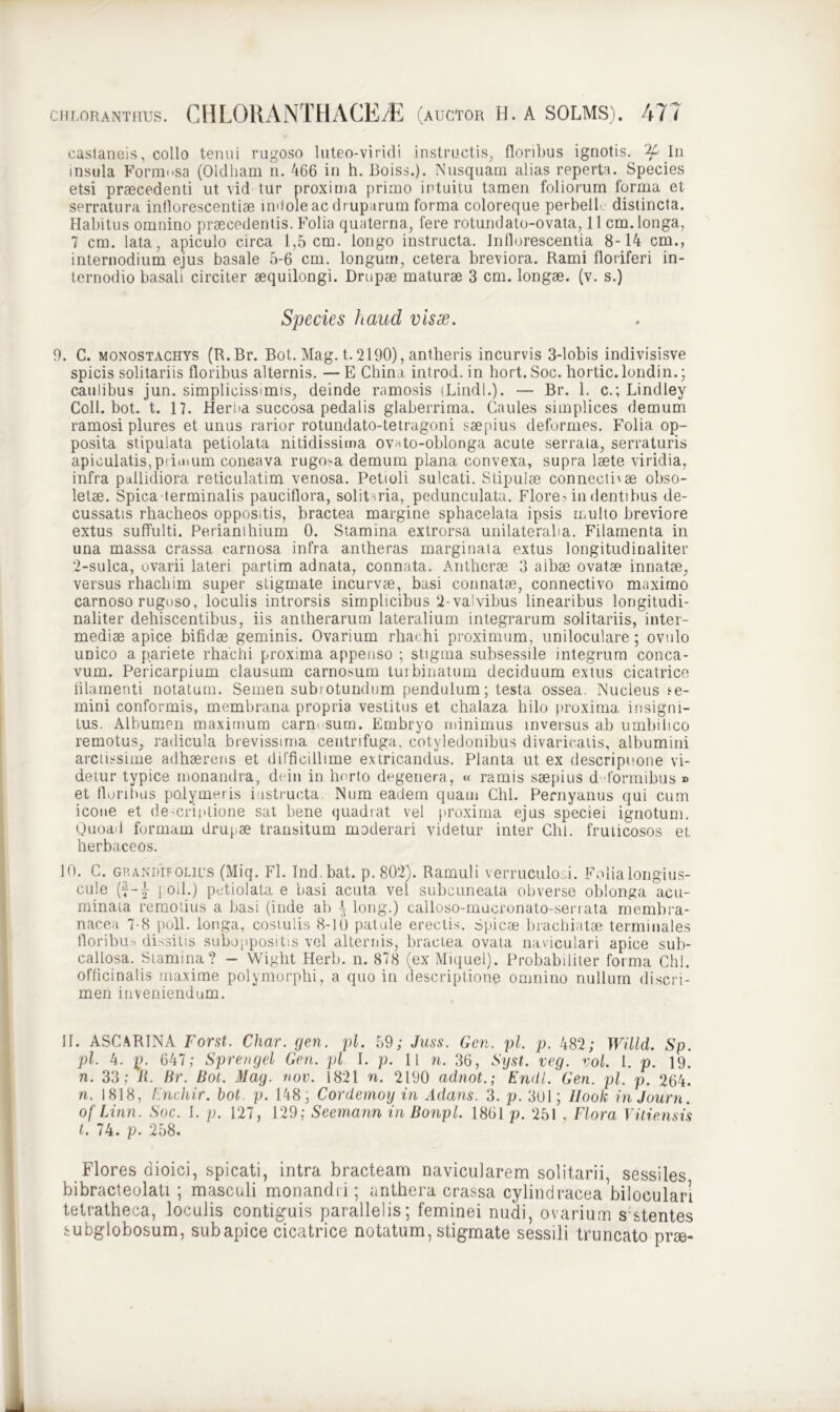 castaneis, collo tenui rugoso luteo-viridi instructis, floribus ignotis. In insula Formosa (Oldham n. 466 in h. Boiss.). Nusquam alias reperta. Species etsi praecedenti ut vid tur proxima primo intuitu tamen foliorum forma et serratura inflorescentiae nnioleac druparum forma coloreque perbell distincta. Habitus omnino praecedentis. Folia quaterna, fere rotundato-ovata, 11 cm.longa, 7 cm. lata, apiculo circa 1,5 cm. longo instructa. Inflorescentia 8-14 cm., internodium ejus basale 5-6 cm. longum, cetera breviora. Rami floriferi in- ternodio basali circiter aequilongi. Drupae maturae 3 cm. longae, (v. s.) Species haud vis se. 9. C. monostachys (R.Br. Bot. Mag. t. 2190), antheris incurvis 3-lobis indivisisve spicis solitariis floribus alternis. — E China introd. in hort. Soc. hortic.londin.; caulibus jun. simplicissimis, deinde ramosis (Lindi.). — Br. 1. c.; Lindley Coli. bot. t. 17. Heroa succosa pedalis glaberrima. Caules simplices demum ramosi plures et unus rarior rotundato-tetragoni saepius deformes. Folia op- posita stipulata petiolata nitidissima ov^to-oblonga acute serrata, serraturis apiculatis,primum concava rugosa demum plana convexa, supra laete viridia, infra pallidiora reticulatim venosa. Petioli sulcati. Stipulae connectivae obso- letae. Spica terminalis pauciflora, solitaria, pedunculata. Flores in dentibus de- cussatis rhacheos oppositis, bractea margine sphacelata ipsis multo breviore extus suffulti. Perianthium 0. Stamina extrorsa unilateralia. Filamenta in una massa crassa carnosa infra antheras marginata extus longitudinaliter 2-sulca, ovarii lateri partim adnata, connata. Antherae 3 aibae ovatae innatae, versus rhachim super stigmate incurvae, basi connatae, connectivo maximo carnoso rugoso, loculis introrsis simplicibus 2-valvibus linearibus longitudi- naliter dehiscentibus, iis antherarum lateralium integrarum solitariis, inter- mediae apice bifidae geminis. Ovarium rhaohi proximum, uniloculare; ovulo unico a pariete rhachi proxima appenso ; stigma subsessile integrum conca- vum. Pericarpium clausum carnosum tuibinatum deciduum extus cicatrice filamenti notatum. Semen subiotundum pendulum; testa ossea. Nucleus fe- mini conformis, membrana propria vestitus et chalaza hilo proxima insigni- tus. Albumen maximum carn sum. Embryo minimus inversus ab umbilico remotus, radicula brevissima, centrifuga, cotyledonibus divaricatis, albumini arctissime adhaerens et difficillime extricandus. Planta ut ex descriptione vi- detur typice monandra, dein in horto degenera, « ramis saepius d-formibus » et floribus polymeris instructa. Num eadem quam Chi. Pernyanus qui cum icone et descriptione sat bene quadrat vel proxima ejus speciei ignotum. Quoad formam drupae transitum moderari videtur inter Chi. fruticosos et herbaceos. 10. C. grandifolius (Miq. Fl. Ind.bat. p. 802). Ramuli verruculosi. Folia longius- cule (7-j j oil.) petiolata e basi acuta vel subcuneata obverse oblonga acu- minata remotius a basi (inde ab ± long.) calloso-mueronato-senata membra- nacea 7-8 poli, longa, costulis 8-1 i) patule erectis. Spicae brachiatae terminales floribus dissitis suboppositis vel alternis, bractea ovata naviculari apice sub- callosa. Stamina? - Wight Herb. n. 878 (ex Miquel). Probabiliter forma Chi. officinalis maxime polymorphi, a quo in descriptione omnino nullum discri- men inveniendum. H. ASCARINA Forst. Char. gen. pl. 59; Juss. Gen. pl. p. 482; WiLld. Sp. pl. 4. p. 647; Sprengel Gen. pl I. p. 11 n. 36, Syst. veg. vol. I. p. 19. n. 33; R. Br. Boi. Mag. nov. 1821 n. 2190 adnot.; Endl. Gen. pl. p. 264. n. 1818, Fnchir. bot. p. 148; Cordemoy in Adans. 3. p. 3Ul; Hook inJourn. of Linn. Soc. I. p. 127, 129; Seemann in Bonpl. 1861 p. 251 , Flora Vitiensis l. 74. p. 258. Flores dioici, spicati, intra bracteam navicularem solitarii, sessiles bibracteolati ; masculi monandri; anthera crassa cylindracea biloculart tetratheca, loculis contiguis parallelis; feminei nudi, ovarium s stentes subglobosum, subapice cicatrice notatum, stigmate sessili truncato prae-