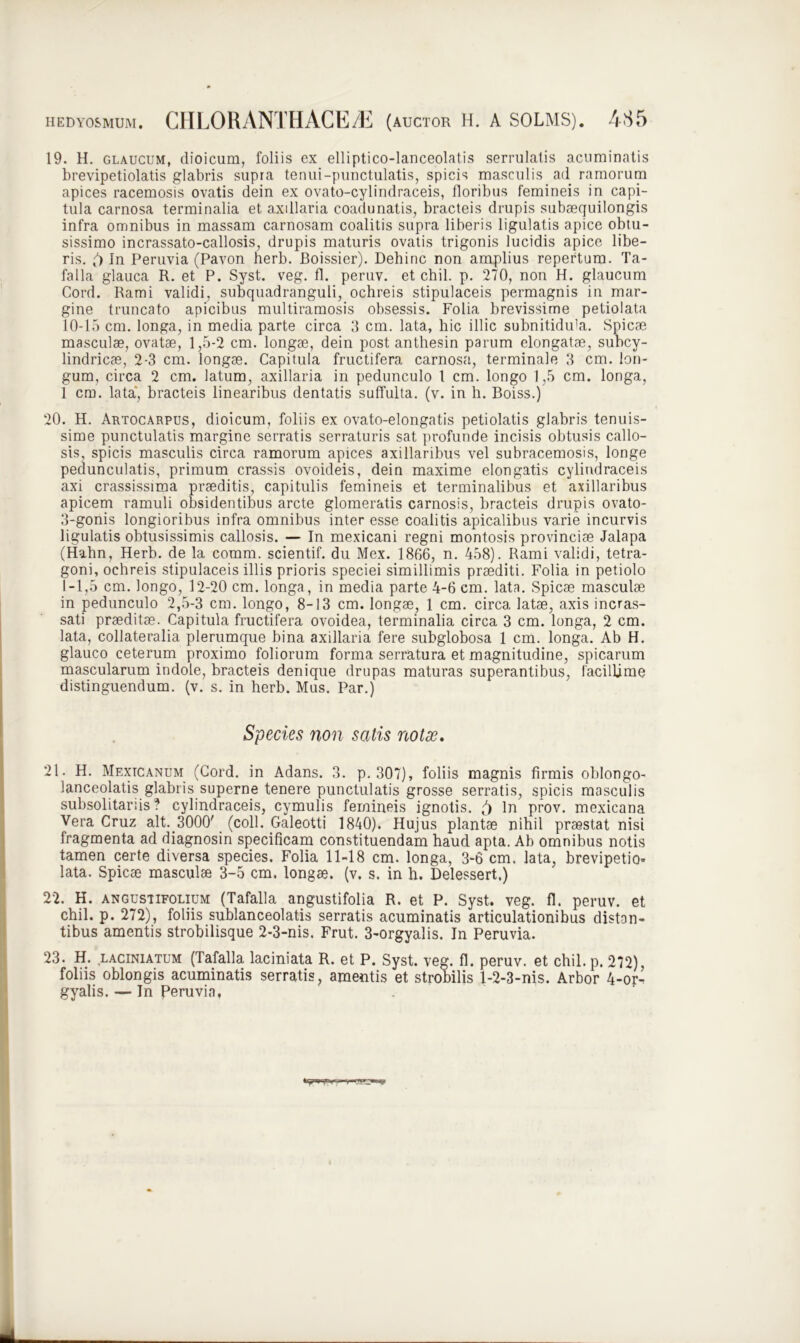 19. H. glaucum, dioicum, foliis ex elliptico-lanceolatis serrulatis acuminatis brevipetiolatis glabris supra tenui-punctulatis, spicis masculis ad ramorum apices racemosis ovatis dein ex ovato-cylindraceis, floribus femineis in capi- tula carnosa terminalia et axillaria coadunatis, bracteis drupis subaequilongis infra omnibus in massam carnosam coalitis supra liberis ligulatis apice obtu- sissimo incrassato-callosis, drupis maturis ovatis trigonis lucidis apice libe- ris. f) In Peruvia (Pavon herb. Boissier). Dehinc non amplius repertum. Ta- falia glauca R. et P. Syst. veg. fl. peruv. et chil. p. 270, non H. glaucum Cord. Rami validi, subquadranguli, ochreis stipulaceis permagnis in mar- gine truncato apicibus multiramosis obsessis. Folia brevissime petiolata 10-15 cm. longa, in media parte circa 3 crn. lata, hic illic subnitidu’a. Spicae masculae, ovatae, 1,5-2 cm. longae, dein post anthesin parum elongatae, subcy- lindricae, 2-3 cm. longae. Capitula fructifera carnosa, terminale 3 cm. lon- gum, circa 2 cm. latum, axillaria in pedunculo l cm. longo 1,5 cm. longa, 1 cm. lata, bracteis linearibus dentatis suffulta, (v. in h. Boiss.) 20. H. Artocarpus, dioicum, foliis ex ovato-elongatis petiolatis glabris tenuis- sime punctulatis margine serratis serraturis sat profunde incisis obtusis callo- sis, spicis masculis circa ramorum apices axillaribus vel subracemosis, longe pedunculatis, primum crassis ovoideis, dein maxime elongatis cylindraceis axi crassissima prseditis, capitulis femineis et terminalibus et axillaribus apicem ramuli obsidentibus arcte glomeratis carnosis, bracteis drupis ovato- 3-gonis longioribus infra omnibus inter esse coalitis apicalibus varie incurvis ligulatis obtusissimis callosis. — In mexicani regni montosis provinciae Jalapa (Hahn, Herb. de la comm. scientif. du Mex. 1866, n. 458). Rami validi, tetra- goni, ochreis stipulaceis illis prioris speciei simillimis praediti. Folia in petiolo 1-1,5 cm. longo, 12-20 cm. longa, in media parte 4-6 cm. lata. Spicae masculae in pedunculo 2,5-3 cm. longo, 8-13 cm. longae, 1 cm. circa latae, axis incras- sati praeditae. Capitula fructifera ovoidea, terminalia circa 3 cm. longa, 2 cm. lata, collateralia plerumque bina axillaria fere subglobosa 1 cm. longa. Ab H. glauco ceterum proximo foliorum forma serratura et magnitudine, spicarum mascularum indole, bracteis denique drupas maturas superantibus, facillime distinguendum, (v. s. in herb. Mus. Par.) Species non satis nota?. 21. H. Mextcanum (Cord. in Adans. 3. p. 307), foliis magnis firmis oblongo- lanceolatis glabris superne tenere punctulatis grosse serratis, spicis masculis subsolitariis? cylindraceis, cymulis femineis ignotis. () ln prov. mexicana Vera Cruz ait. 3000' (coli. Galeotti 1840). Hujus plantae nihil praestat nisi fragmenta ad diagnosin specificam constituendam haud apta. Ab omnibus notis tamen certe diversa species. Folia 11-18 cm. longa, 3-6 cm. lata, brevipetio» lata. Spicae masculae 3-5 cm. longae, (v. s. in h. Delessert.) 22. H. angusufolium (Tafalla angustifolia R. et P. Syst. veg. fl. peruv. et chil. p. 272), foliis sublanceolatis serratis acuminatis articulationibus distan- tibus amentis strobilisque 2-3-nis. Frut. 3-orgyalis. In Peruvia. 23. H. laciniatum (Tafalla laciniata R. et P. Syst. veg. fl. peruv. et chil. p. 272), foliis oblongis acuminatis serratis, amentis et strobilis 1-2-3-nis. Arbor 4-or- gyalis. — In Peruvia,