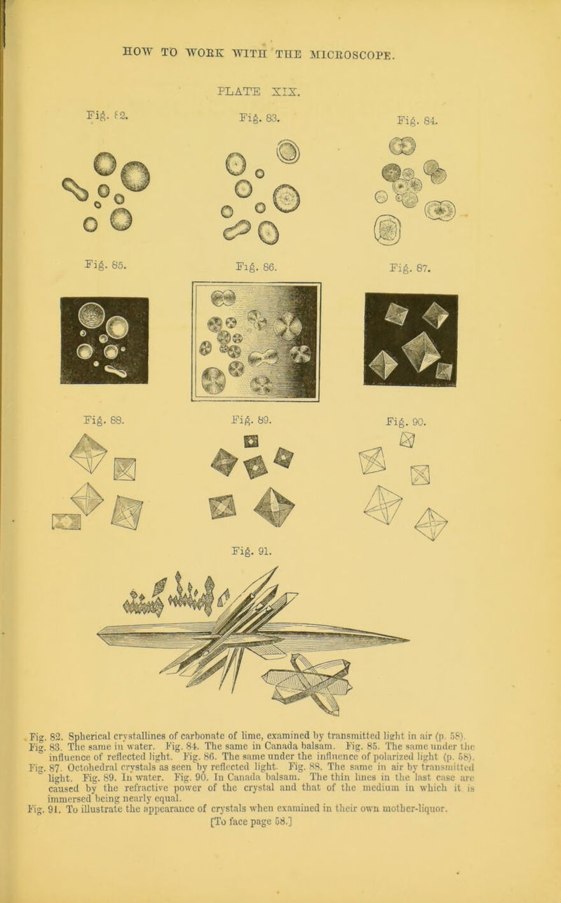 CIQ riq PLATE XIX. . 82. Spherical crystallines of carbonate of lime, examined by transmitted lisht in air (p. 58). . 83. The same in water. Fig. 8I. The same in Canada balsam. Fig. 85. The same under the influence of reflected light. Fig. 86. The same under the influence of polarized light (p. 58). I'ig. 87. Octohedral crystals as seen by reflected light. Fig. 88. The same in air by transmitted light. Mg. 89. Iti water. Fig. 90. In Canada balsam. The thin lines in the last case are caused by the refractive power of the crystal and that of the medium in which it is immersed being nearly equal. Fig. 91. To illustrate the appearance of crystals when examined in their own mother-liquor.