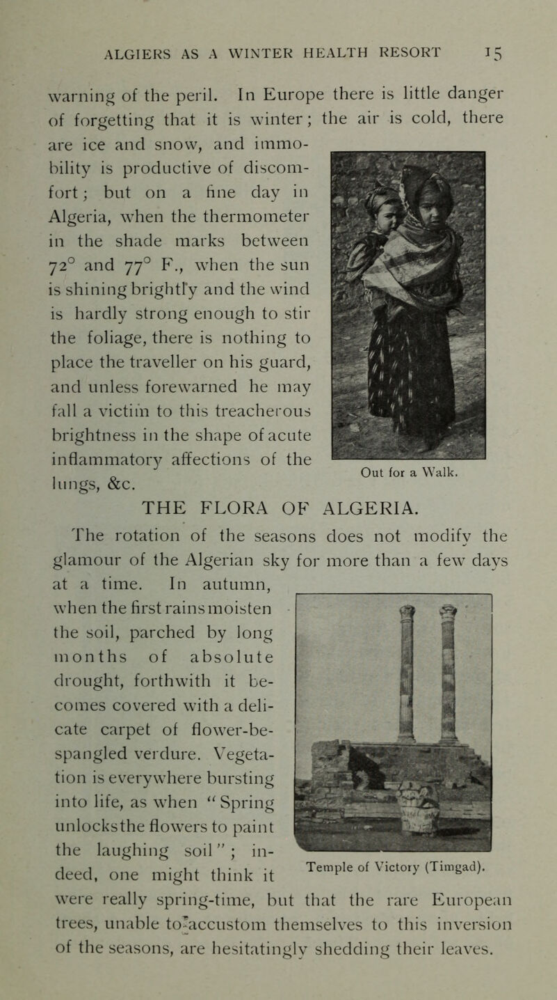 warning of the peril. In Europe there is little danger of forgetting that it is winter; the air is cold, there are ice and snow, and immo- bility is productive of discom- fort ; but on a fine day in Algeria, when the thermometer in the shade marks between 720 and 770 F., when the sun is shining brightly and the wind is hardly strong enough to stir the foliage, there is nothing to place the traveller on his guard, and unless forewarned he may fall a victim to this treacherous brightness in the shape of acute inflammatory affections of the lungs, &c. THE FLORA OF ALGERIA. The rotation of the seasons does not modify the glamour of the Algerian sky for more than a few days at a time. In autumn, when the first rains moisten the soil, parched by long months of absolute drought, forthwith it be- comes covered with a deli- cate carpet of flower-be- spangled verdure. Vegeta- tion is everywhere bursting into life, as when “Spring unlocksthe flowers to paint the laughing soil ; in- deed, one might think it were really spring-time, but that the rare European trees, unable toLiccustom themselves to this inversion of the seasons, are hesitatingly shedding their leaves. Temple of Victory (Timgad). Out for a Walk.