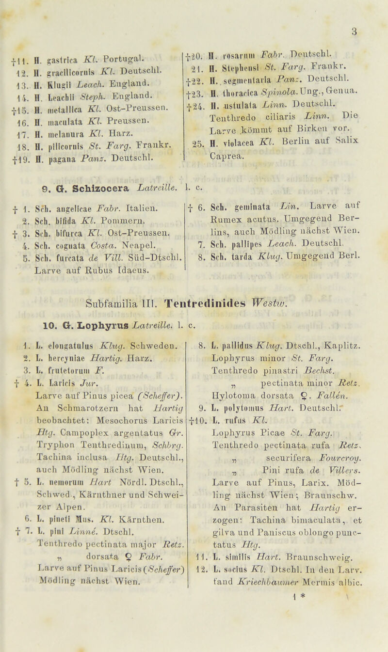fll. H. gaslrica Kl. Portugal. •12. II. ^rarilicornis Kl. Deutsclil. •1.3. 11. Rlugil Leach. England. 14. 11, Leachii Steph. England. ■{•lö. 11. iiietalllca Kl. Ost-Preussen. 16. II. inanilata Kl. Preussen. 17. II. iiK'laiiura KL Hai'z. 18. 11. pilicornls St. Farg. Erankr. fl9. U. pagana Panz. Deutschi. 9. G. Schizocera Latreille. f 1. Sfh. angelicae Fahr. Italien. 2. Sch. bifida Kl. Pommern, f 3. Sch. bifuica Kl. Ost-Preussen. 4. Sch. cogiiata Costa. Neapel. 5. Sch. furcata de Vill. Süd-Dtscbl. Larve auf ßubus Idaeus. f20. II. rosariim Fahr. Deutschi. 21. II. SlcphiMisi St. Farg. Erankr. -1-22. IL segiiicntarla Pan:. Deutschi. |23. 11. thoracica-Spinoza. Ung., Genua. -1-24. II. ustulala Linn. Deutschi. Tenthredo ci Paris Linn. Die Larve kömmt auf Birken vor. 25. n. vlülacea Kl. Berlin auf Salix Caprea. 1. c. f 6. Sch. gcininata Lin. Larve auf Rumex acutus. Umgegend Ber- lins, auch Mödling nächst Wien. 7. Sch. pallipes Leach. Deutschi, 8. Sch. tarda Klug. Umgegend Berl. Subfaiuilia III. Teiitredinides Westiv. 10. G. Lophyrus Latreille. 1. 1. L. eloiigatulus Klug. Schweden. 2. L. herrjiiiae Flartig. Har/. 3. L. friilctorum F. -j- 4. L. Laricis Jur. Larve auf Pinus picea (Scheffer). Au Schmarotzern hat IJartig beobachtet; Mesochorus Laricis Htg. Campoplex argentatus Gr. Tryphon Tenthredinum, Schhrg. Tachina inclusa Utg. Deutscbl., auch Mödling nächst Wien, t 5. L. neinoruiii Hart Nördl. Dtschl., Schwed-, Kärnthner und Schwei- zer Alpen. 6. L. pineli ÜIiis. Kl. Kärnthen. f 7. Ti. pini Linne. Dtschl. Tenthredo pectinata inajor Retz. „ dorsata § Fahr. I.arve auf Pinus Laricis (<S'c/ie^er) Mödling nächst Wien. 8. L. pallldus iUiMgr. Dtschl., Kaplitz. Lophyrus miuor St. Farg. Tenthredo pinastri Rechst. „ minor Retz. Hylotoma dorsata Fallen. 9. L. polytoiiius Hart. Deutschi.' -j-IO. L. rufus Kl. Lophyrus Picae St. Farg. Tenthredo pectinata rufa Retz. „ securifera Fourcroy. „ Pini rufa de Villers. Larve auf Pinus, Larix. Möd- ling nächst Wien; Braunschw. An Parasiten hat Ilartig er- zogen; Tachina bimaculata, et gilva und Pauiscus oblongo punc- tatus Htg. 11. li. siinllls Hart. Braunschweig. 12. L. soclus Kl. Dtschl. In den Larv. fand Kriechhaumer Merinis albic. 1 *