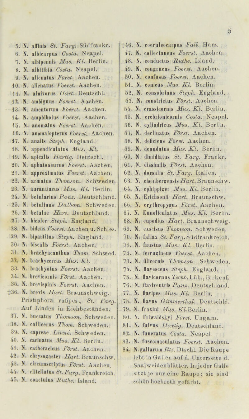5. X. allliiis St. Farg. Südfrankr. 6. X. albicarpus Costa. Neapel. 7. X. albi|ieiinis Mus. Kl. Berlin. 8. X. albltibla Costa. Neapel. 9. N. allenatus Fürst. Aachen. 10. X. allenatus Foerst. Aachen. 11. X. aliilvonis IJart. Deutschi. 12. X. auibiguus Foerst. Aachen. 13. N. amenturmu Foerst. Aachen. 14. X. aiiipblbulus Foerst. Aachen. 15. X. anomal US Foerst. Aachen. 16. X. anoinalopterus i^oerst. Aachen. 17. X. aiialls Steph. England. 18. X. appcndlculatiis Mus. Kl. 19. X. apicalis Hartig. Deutschi. 20. X. aphatuueurus Foerst. Aachen. 21. X. approiimatus Foerst. Aachen. 22. X. ai'iiiatus Thomson. Schweden. 23. X. auranllafus Mus. Kl. Berlin. 24. X. betularlus Fanz. Deutschland. 23. X. betulluus Dalborn. Schweden. 26. X. bctulae Hart. Deutschland. 27. X. bicülor Steph. England. 28. X. bideiis Foerst. Aachen u. Schles. 29. X. bipartitus Steph. England. 30. X. biscalis Foerst. Aachen. 31. X. brachjacanthus Thom. Schwed. 32. X. brarhjcercus Mus. Kl. 33. X. brachjülus Foerst. Aachen. 34. X. brevicornls Fürst. Aachen. 35. X. brcvlsplnls Foerst. Aachen. f36. X. brevis Hart. Braunschweig. Pristiphora rufipes, St. Farg. Aut Linden in Eichbeständen. .37. N. burcatiis Thom.'ion. Schweden. .18. X. calllcerus Thom. Schweden. 39. X. caprrae Finne. Schweden. 40. X. rarliiatus Mus. Kl. Berlin. 41. X. rathoraclcus Fürst. Aachen. 42. X. chrjsogaster Hart. Braunschw. 4-1. X. rlrriimscrlptus Fürst. Aachen. 44. X. rlltcllatus S't.i'Vxrp. Frankreich. 45. X. coactiilus Ruthe. Island. f46. X. cotM’ultMtcai'pus Fall. Harz. 47. N. collerlamnis Foerst. Aachen. 48. X. conductus Ruthe. Island. 49. N. Cüugruens Foerst. Aachen. 50. X. coiifusus Foerst. Aachen. 51. X. cuulcus Mus. Kl. Berlin. 52. X. cüusobriuus Steph. England. 53. X. constrictus Fürst. Aachen. 34. X. crassicornis Mus. Kl. Berlin. 55. X. crebriüiilcoriils Costa. Neapel. 56. N. cjlindiicus Mus. Kl. Berlin. 57. N. dedlnatus Fürst. Aachen. 58. X. delicieiis Fürst. Aachen. 59. X. deiiudatus Mus. Kl. Berlin. 60. X. dlmidlatus St. Farg. Erankr. 61. X. dlssimilis Fürst. Aachen. 62. X. dorsalls St. Farg. Italien. 63. X. ciseiibergeiisisE/art.Braunschw. 64. X. ophlppiger Mus. Kl. Berlin. 65. X. Erichsüiiii Hart. Braunschw. 66. X. ei^thiopygus Fürst. Aachen. 67. X. Euuollculatiis Mus. Kl. Berlin. 68. X. eupodhis Hart. Braunschweig. 69. X. exsc.isus Thomson. Schweden. 70. X. fallax aS7. farp. Südfrankreich. 71. X. faustus Mus. Kl. Berlin. 72. X. lemiglueiis Foerst. Aachen. 73. X. nilcui'iiis Thomson. Schweden. 74. X. (lavesceiis Steph. England. 75. X. flavlcoriius TscAh.Lüb., Birkeuf. 76. X. flavlventris Fanz. Deutschland. 77. X. Ilavlpos Mus. Kl. Berlin. 78. X. tiavus Gimmerthal. Deutsch Id. 79. X. fraxliil Mus. ATZ.Berlin. 80. X. Eiiwaldskjl Fürst. Ungarn. 81. X. fiilvus Hartig. Deutschland. 82. X. I'uiioratus Costa. Neapel. 83. X. fuscumaculatus Foerst. Aachen. 84. X.gallaruiiii^iÄ:. Dtschl. Die Raupe lebt in Gallen auf d. Unterseite d. Saalweidenblätter. In jeder Galle sitzt je nur eine Raupe; sie sind schon hüchroth gefärbt.