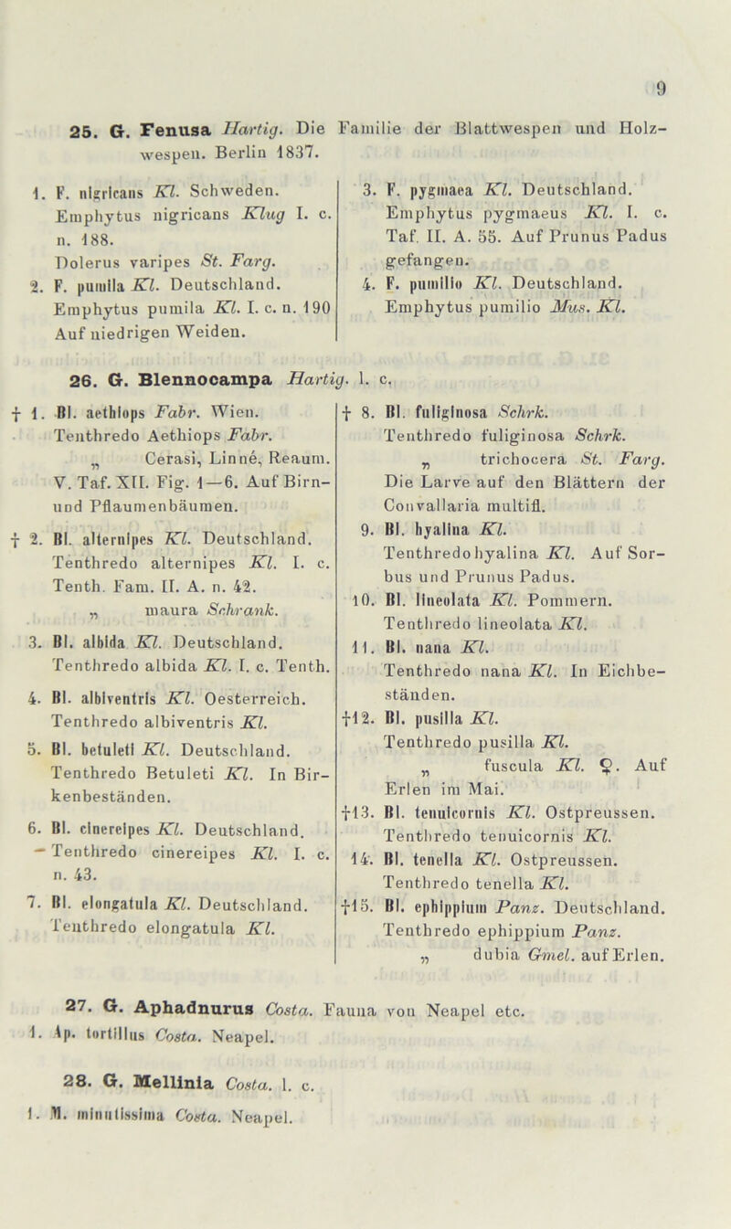 25. G. Fenusa Hartig. Die Wespen. Berlin 1837. 1. F. nigricans Kl. Schweden. Einphytus nigricans Klug I. c. n. 188. Dolerus varipes St. Farg. 2. F. puiiilla-K’i. Deutschland. Einphytus puinila Kl. I. c. n. 190 Auf niedrigen Weiden. Familie der Blattwespen und Holz- 3. F. pygiiiaea Kl. Deutschland. * Einphytus pygmaeus Kl. I. c. Taf, II. A. 55. Auf Prunus Padus gefangen. 4. F. pumllio Kl. Deutschland. Eniphytus pumilio Mus. Kl. 26. G. Blennocampa Hartig. 1. c. fl. Bl. aelhlops Fahr. Wien. Tenthredo Aethiops Fahr. „ Cerasi, Lin ne, Reaum. V. Taf. XII. Fig. 1—6. AufBirn- nnd Pflaumenbäuinen. f 2. Bl. aUeriilpes Kl. Deutschland. Tenthredo alternipes Kl. I. c. Tenth. Fam. II. A. n. 42. „ maura Schrank. 3. Bl. alblda Kl. Deutschland. Tenthredo albida Kl. I. c. Tenth. 4. Bl. alblrenlris Kl. Oesterreich. Tenthredo albiventris Kl. 5. Bl. beluleti Kl. Deutschland. Tenthredo Betuleti Kl. In Bir- kenbeständen. 6. Bl. cinerelpes Kl. Deutschland. — Tenthredo cinereipes Kl. I. c. n. 43. 7. Bl. elongatula Kl. Deutschland. Tenthredo elongatula Kl. f 8. BI. fiiliglnosa Schrk. Tenthredo fuliginosa Schrk. „ trichocera St. Farg. Die Larve auf den Blättern der Convallaria multifl. 9. Bl. hyalina Kl. Tenthredohyalina JTZ. AufSor- bus und Prunus Padus. 10, Bl. Ilneulata Kl. Pommern. Tenthredo lineolata Kl. 11. Bl. nana Kl. Tenthredo nana Kl. In Eichbe- stäuden. fl2. Bl. pusilla Kl. Tenthredo pusilla Kl. „ fuscula Kl. Auf Erlen im Mai. ^ fl3. Bl. tenulcornis Kl. Ostpreussen. Tenthredo tenuicornis Kl. 14. BI. tenclla Kl. Ostpreussen. Tenthredo tenella Kl. fl5. Bl. ephippluni Panz. Deutschland. Tenthredo ephippium Panz. „ dubia Gmel. auf Erlen. 27. G. Aphadnurus Costa. Fauna von Neapel etc. 1. Ip. tortilliis Costa. Neapel. 28. G. Mellinia Costa. 1. c. 1. .B. inlniillssiina Costa. .Neapel.