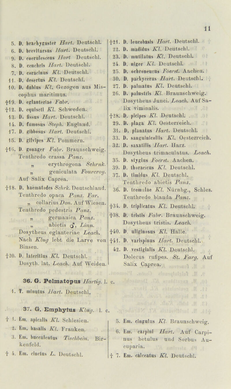 5. D. brarhysastcr Hart. Deutschi. 6. I). brevitarsus Hart. Deutschi. 9. h. foeriilescciis Hart Deutschi. 8. I). ceiichris Hart. Deutschi. 7. I). coracinus Kl. Deutschi. H. 1). descrtiis Kl. Deutschl. 10. D. dubius KL Gezogen aus Mis- cophus maritimus. fl9. 1). eclanleriae Fahr. fl'2. 1). e(|ulsetl Kl. Schweden. 13. 1). (issus Hart. Deutschl. 14. I). ftiiiiosus Steph. England. 17. I). jsibbosiis Hart. Deutschl. 15. I). gilvipes JTZ. Pommern. fl(i. 1). gonager Fahr. Braunschweig. Tenthredo crassa Panz. „ erythrogona Schrnk. „ geniculata Fourcroy. Auf Salix Caprea. fl8. ü. hacmatüdes »Sc/M’fc.Deutschland. Tenthredo opaca Panz. Far. „ collarius Don. Auf Wiesen. Tenthredo pedestris Panz. „ germanica Panz. „ abietis cf, Linn. Dosytheus eglanteriae Leach. Nach Klug lebt die Larve von Binsen. f20. I). lateritliis Kl. Deutschl. Dosyth. lat. Leach. Auf Weiden. f21. I). liMicohasis Hart. Deutschl. 22. II. inadidus Kl. Deutschl. 23. 11. mulihUiis Kl. Deutschl. 24. 1). niger Kl. Deutschl. I 23. D. ochroiieurus Foerst. Aachen. ' 30. I). pacbjccriis HaH. Deutschl. , 27. 1). palinalus KL Deutschl. 26. D. palustris Kl. Braunschweig. Dosytheus Junci. Leach. Auf Sa- lix viminalis. f28. D. picipcs E2. Deutschl. , 29. 1). plaga KL Oesterreich. 31. D. plaiiatiis Hart. Deutschl. 33. D. saiiguiiiicüllis KL Oesterreich. 32. 1). saxatilis Hart. Harz. Dosytheus trimaculatus. Leach. 35. 1). stygiiis Foerst. Aachen. 39. 1). thurariciis Kl. Deutschl. 37. II. Ihnidus Kl. Deutschl. Tenthredo abietis Panz. 36. I). Iremulae Kl. Nürubg., Schles. Tenthredo blanda Panz. f34. D. triplicatus Kl. Deutschl. f38. D. tristis Fahr. Braunschweig. Dosytheus tristis. Leach. f40. 0. uliginosus Kl. Halle. f41. D. varispinus Hart. Deutschl. 42. I). vcstigialis Kl. Deutschl. Dolerus rufipes. St. Farg. Auf Salix Caprea. 36. G. Pelmatopus Hartig. 1. c. 1. T. iniiiutiis Hart. Deutschl. 37. G. Emphytus Klug. 1. c. 7 I. bin. apiralis Kl. Schlesien. 2. Km. basalls KL Franken. 3. Km. biirriilcnlus Tischhein. Bir- ke nfeld. f 4. Km. riintiis L. Deutschl. 5. Km. ciiigiihis Kl. Braunschvveig. 6. Km. carpinl Hart. Auf Carjh- nus betulus und Sorbus Au- en pari a. 7. Km. calceatiis Kl. Deutschl.