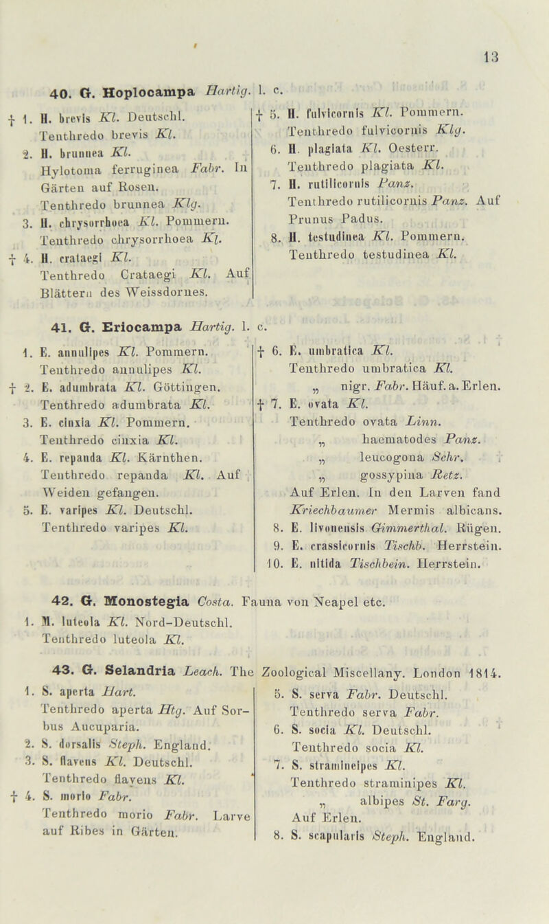 40. O. Hoplocampa Hartig. -j- 1. H. bicvis -K7. Deutschi. Tenthredo brevis Kl. t. II. bruniiea Kl. Hylotouia ferruginea Fahr. In Gärten auf Kosen. Tenthredo bruunea Kly. 3. II. chrjsiuThoea Kl. Pommern. Tenthredo chrysorrhoea Kl. f 4. II. crataegi Kl. Tenthredo Crataegi Kl. Auf Blättern des Weissdorues. 41. G. Eriocampa Hartig. 1. 1. E. aimiillpes Kl. Pommern. Tenthredo annulipes Kl. i. E. admnbrata Kl. Göttingen. Tenthredo adumbrata Kl. 3. E. cinxia Kl. Pommern. Tenthredo cinxia Kl. 4. E. repaiida Kl. Kärnthen. Tenthredo repanda Kl. Auf y Weiden gefangen. 5. E. varipes Kl. Dentschl. Tenthredo varipes Kl. 42. G. Monostegia Co.<<ta. 1. H. hiteula Kl. Nord-Deutschl. Tenthredo luteola Kl. 43. G. Selandria Leach. The 1. S. apcrta Hart. Tenthredo aperta Htg. Auf Sor- bus Aucuparia. 2. S. darsalis Steph. England. 3. S. flaveiis Kl. Deutschi. Tenthredo liayens Kl. f 4. S. iiiorlo Fahr. Tenthredo morio Fahr. Earve auf Kibes in Gärten. f 5. II. fiilvlcornis Kl. Pommern. Tenthredo fulvicornis Klg. (). II, plagiata Kl. Oesterr. Tenthredo plagia.ta Kl. 7. II. rutiliconiis Fanz. Tenthredo rutiliconiis Panz. Auf Prunus Padus. 8. U. testudinea Kl. Pommern. Tenthredo testudinea Kl. f 6. E. uinbralica Kl. Tenthredo umbratica Kl. „ nigr. Fahr. Häuf. a. Erlen. •}• 7. E. ovata Kl. Tenthredo ovata Linn. „ haematodes Panz. „ leucogona Sehr. v „ gossypina Retz. Auf Erlen. In den Larven fand Kriechbaunier Mermis albicans. 8. E. livoiieiisis Gimmerthal. Rügen. 9. E. crassicoriiis Ti.tchh. Herrstein. 10. E. nilida Tischbein. Plerrstein. Luna von Neapel etc. Zoological Miscellany. London 1814. 5. S. serva Fahr. Deutschi. Tenthredo serva Fahr. 6. S. socla Kl. Deutschi. ‘ Tenthredo socia Kl. 7. S. straiiiinelpos Kl. Tenthredo straminipes Kl. „ albipes St. Farg. Auf Erlen. 8. S. seapiilai'is Steph. England.