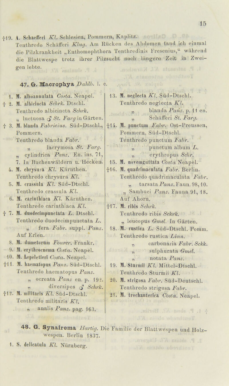 •{•19. A. SchaoHerl ä'/. Schlesien, Poinmoru, Kaplitz. Teiithrcclo Schäffori Klug. Am Rücken ile.s Alulomen iancl ich einmal die Pilzkraiikheit „Enthomophthora Tenthrcdinis Fresenius,“ während die Blattwespe trotz ihrer Pilzsucht noch längere Zeit in Zwei- gen lebte. l 47. G. Macrophya Daldb. 1. c. 1. 11. alluianmilata Costa. Neapel, f 2. II. albicincta Schrk. Dtschl. Teuthredo albicincta Schrk. „ luctuosa cT in Gärten, f .3. M. blaiida Fabricius. Süd-Dtscbl., Pommern. Teuthredo blanda Fahr. „ lacrymosa St. Farg. „ cylindrica Panz. En. ins. 71, 7. In Buchenwäldern u. Heckeü. 4. II. chrysma Kl. Käruthen. Teuthredo chrysura Kl. 5. H. crassula Kl. Süd-Dtschl. Teuthredo crassula Kl. 6. .11. carliithiaea Kl. Käruthen. Teuthredo cariuthiaca Kl. f 7. 11. duüdeciiiipiindala L. Dtschl. Teuthredo duodecimpuuctata L. „ fera Fahr, suppl. Panz. Auf Erlen. 8. .11. duiiieturum Fourcr. Frankr. 9. M. erythrocncma Costa. Neapel. 10. .11. Lrpeletierl Costa. Neapel. fll. .H. haematopus Panz. Süd-Dtschl. Teuthredo haematopus Panz. „ ocreata Panz eu. p. 192. „ dirersipes Schrk. ■{•12. !W. iiillllarls Kl. Süd-Dtschl. Tenthredo militaris Kl. r, aualis Panz. pag. 163. 13. ül. iiegleda isTi. Süd-Dtschl. Teuthredo neglecta Kl, „ blauda Panz. p. 11 en. „ Schäfferi St. Farg. •{•14. .1. punctum Falyr. Ost-Preusseu, Pommern, Süd-Dtschl. Tenthredo punctum Fahr. ' „ punctum albuin L. „ erythropus Sehr. 15. M. iioveiiiguttata Cfasia Neapel. fl6. Itl. quadrimaculata Fahr. Berliu. Tenthredo quadrimaculata Fahr. „ tarsata Panz. Faun. 98,10. „ Sambuci Panz. Fauna 91, 18, Auf Ahorn. fl7. III. ribls Schrk. Teuthredo ribi.s Sekrk. „ leucopus Ghnel. In Gärten. 18. ill. rusllca L. Süd-Dtschl. Pomm. Tenthredo rustica Linn. „ carbonaria Fahr. Sekk. „ sulphurata G-mel. „ uotata Panz. 19. M. Stuniill Kl. Mittel-Dtschl. Teuthredo Sturmii Kl. 20. m. stiigosa Fahr. Süd-Deutschl. Teuthredo strigosa Fahr. 21. M. trochanterica Gosfa. Neapel. 48. G. Synairema llartig. Die Familie der Blattwespen und Holz- wespen. Berlin 1837. 1. S. dellcatula Kl. Nürnberg.