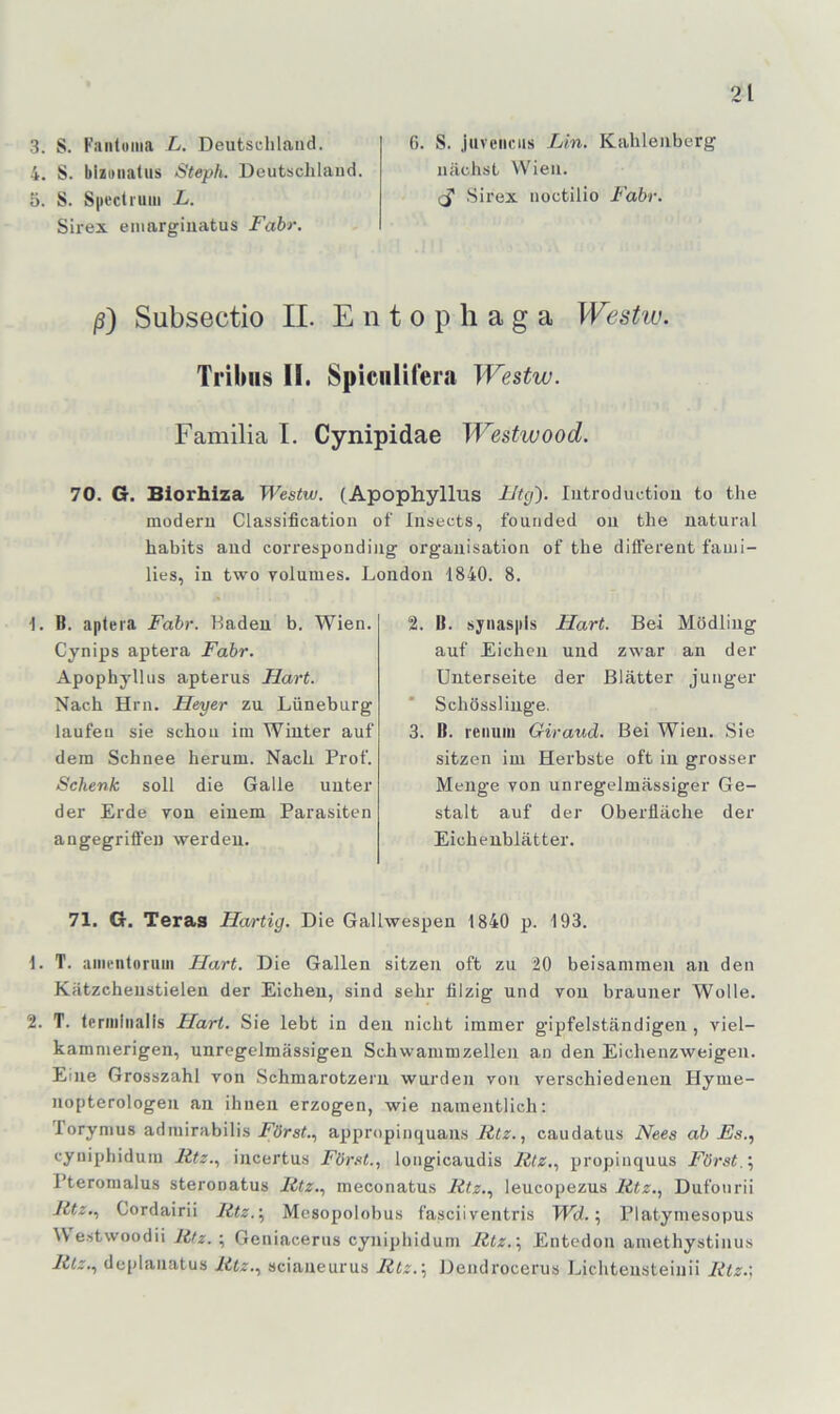 3. S. Faiiluiiia L. Deutsclilaiid. 4. S. blittiiatus Steph. Deutschland. 5. S. S|icctiuiii L. Sirex emarginatus Fahr. 6. S. jiiveiiciis Lin. Kahlenberg nächst Wien. (j Sirex noctilio Fahr. ß) Subsectio II. E n t o p h a g a Westiv. Tribiis 11. Spiciilifera Westw. Familia I. Cynipidae Westwood. 70. G. Biorhiza Westw. (Apophyllus ILg'). lutroduction to the modern Classification of Insects, founded ou the natural habits and corresponding Organisation of the different fanii- lies. in two volumes. London 1840. 8. 1. B. apfeia Fahr. Laden b. Wien. Cynips aptera Fahr. Apophyllus apterus Hart. Nach Hrn. Heyer zu Lüneburg laufen sie schon im Winter auf dem Schnee herum. Nach Prof. Schenk soll die Galle unter der Erde yon einem Parasiten angegriffen ^yel•deu. 2. B. synaspls Hart. Bei Mödling auf Eichen und zwar an der Unterseite der Blätter junger Schösslinge. 3. B. rciniin Giraud. Bei Wien. Sie sitzen im Herbste oft in grosser Menge von unregelmässiger Ge- stalt auf der Oberfläche der Eichenblätter. 71. G. Teras Hartig. Die Gallwespen 1840 p. 193. 1. T. aiiientoruiii Hart. Die Gallen sitzen oft zu 20 beisammen an den Kätzcheustielen der Eichen, sind sehr filzig und von brauner Wolle. 2. T. teriiiiiialls Hart. Sie lebt in den nicht immer gipfelständigen , viel- kammerigen, unregelmässigen Schwammzellen an den Eichenzweigen. Eine Grosszahl von Schmarotzern wurden von verschiedenen Hyme- nopterologen an ihnen erzogen, wie namentlich: Torymus admirabilis jPörsf., appropinquaus litz., caudatus Nees ah Fs., cyniphidum litz., incertus Fönst., longicaudis litz., propinquus Först.', Pteromalus steronatus litz., meconatus litz., leucopezus litz., Dufourii litz., Cordairii litz.\ Mesopolobus fasciiveutris Wd.', Platymesopus We.stwoodii litz. ; Geniacerus cyniphidum litz.', Entedon amethystinus litz., deplaiiatus litz., scianeurus Rlz.', Dendrocerus Lichteusteiuii litz.'.