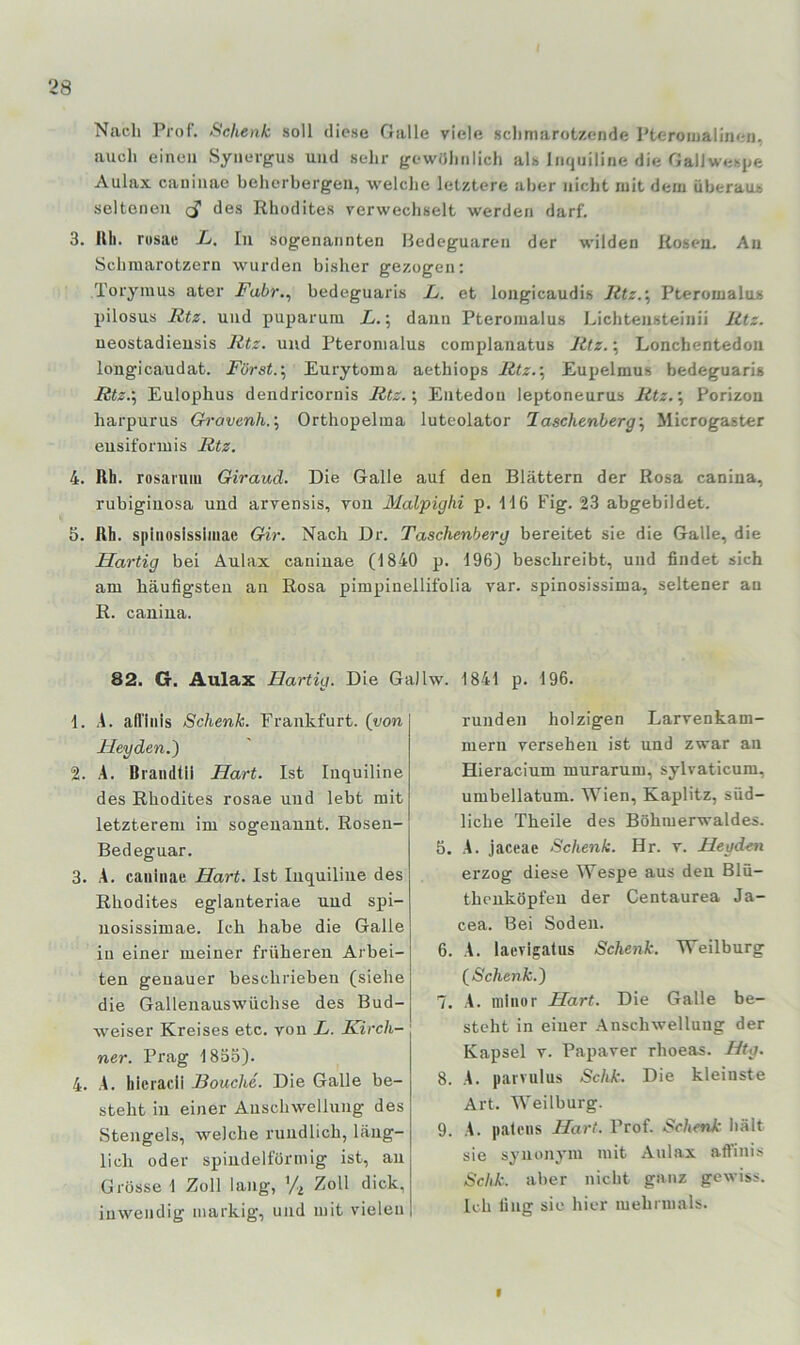 Nach Prof. Schenk soll diese Galle viele schmarotzende Pteroiiialinen, auch einen Synergus und sehr gewöhnlich als liujiiiline die Gallwespe Aulax caninae beherbergen, welche letztere aber nicht mit dem überaus seltenen cj' des Rhodites verwechselt werden darf. 3. Uh. rusau L. In sogenannten liedeguarcii der wilden Rosen. An Schmarotzern wurden bisher gezogen; Torymus ater Fabr.^ bedeguaris F. et longicaudis Pteromalos pilosus Rtz. und puparum L.; daun Pteromalus J>ichtensteinii Litz. ueostadieusis litz. und Pteromalus complanatus Rtz.'., Lonchentedon longicaudat. Fürst.\ Eurytoma aethiops Rtz.\ Eupelmus bedeguaris Rtz.\ Eulophus dendricornis Rtz.; Entedou leptoneurus Rtz.; Porizon harpurus Gh'avenh.\ Orthopelma luteolator laschenbergi, Microgaster eusiformis Rtz. 4. Rh. rosaruiu Giraud. Die Galle auf den Blättern der Rosa canina, rubigiuosa und arvensis, von Malpighi p. H6 Fig. 23 abgebildet. 5. Rh. siiiiioslssimae Gir. Nach Dr. Taschenberg bereitet sie die Galle, die Hartig bei Aulax caninae (1840 p. 1963 beschreibt, und findet sich am häufigsten an Rosa pimpinellifolia var. spinosissima, seltener an R. canina. 82. G. Aulax Hartig. Die Galhv. 1841 p. 196. 1. .4. afl'lnis Schenk. Frankfurt, (von Heyden.) 2. .4. Brandtil Hart. Ist luquiline des Rhodites rosae und lebt mit letzterem im sogenannt. Rosen- Bedeguar. 3. .4. caninae Hart. Ist Inquiline des Rhodites eglanteriae und spi- nosissimae. Ich habe die Galle in einer meiner früheren Arbei- ten genauer beschrieben (siehe die Gallenauswüchse des Bud- weiser Kreises etc. von L. Kirch- ner. Prag 18dö). 4. .4. hieracli Houche. Die Galle be- steht in einer Anschwellung des Stengels, welche rundlich, läng- lich oder spindelförmig ist, an Grösse 1 Zoll lang, Zoll dick, inwendig markig, und mit vielen runden holzigen Larvenkam- meru versehen ist und zwar an Hieracium murarnm, sylvaticum, umbellatum. Wien, Kaplitz, süd- liche Theile des Böhmerwaldes. 5. .4. jaceae Schenk. Hr. v. Heyden erzog diese Wespe aus den Blü- thenköpfen der Centaurea Ja- cea. Bei Soden. 6. .4. laevigatus Schenk. Weilburg (Schenk.) 7. .4. mlnor Hart. Die Galle be- steht in einer Anschwellung der Kapsel V. Papaver rhoeas. Htg. 8. .4. parvulus Schk. Die kleinste Art. Weilburg. 9. .4. paloiis Hart. Prof. Schenk hält sie synonym mit Aulax affinis Schk. aber nicht ganz gewiss. Ich fing sic hier mehrmals.