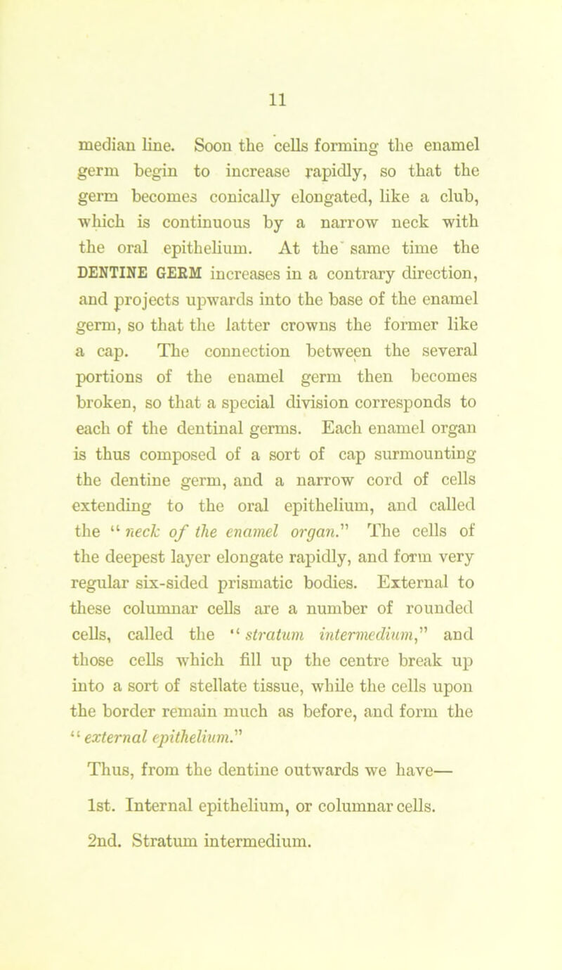 median line. Soon the cells forming the enamel germ begin to increase rapidly, so that the germ becomes conically elongated, like a club, ■which is continuous by a narrow neck with the oral epithelium. At the same time the DENTINE GERM increases in a contrary direction, and projects upwards into the base of the enamel germ, so that the latter crowns the former like a cap. The connection between the several portions of the enamel germ then becomes broken, so that a special division corresponds to each of the dentinal germs. Each enamel organ is thus composed of a sort of cap surmounting the dentine germ, and a narrow cord of cells extending to the oral epithelium, and called the “ neck of the enamel organ. The cells of the deepest layer elongate rapidly, and form very regular six-sided prismatic bodies. External to these columnar cells are a number of rounded cells, called the “ stratum intermedium,” and those cells which fill up the centre break up into a sort of stellate tissue, while the cells upon the border remain much as before, and form the “ external epithelium. Thus, from the dentine outwards we have— 1st. Internal epithelium, or columnar cells. 2nd. Stratum intermedium.