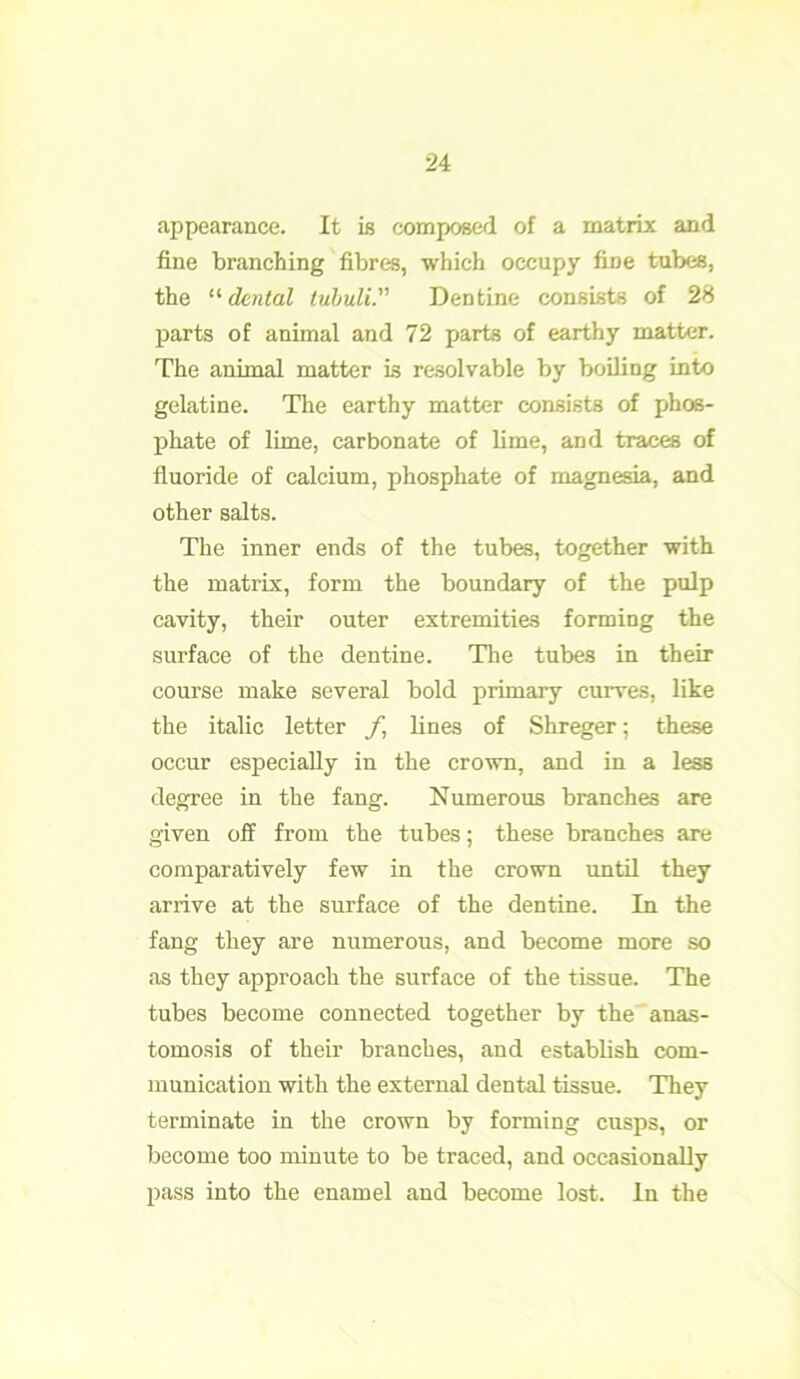 appearance. It is composed of a matrix and fine branching fibres, which occupy fine tubes, the “ dental tuhuli. Dentine consists of 28 parts of animal and 72 parts of earthy matter. The animal matter is resolvable by boiling into gelatine. The earthy matter consists of phos- phate of lime, carbonate of lime, and traces of fluoride of calcium, phosphate of magnesia, and other salts. The inner ends of the tubes, together with the matrix, form the boundary of the pulp cavity, their outer extremities forming the surface of the dentine. The tubes in their course make several bold primary curves, like the italic letter f, lines of Shreger; these occur especially in the crown, and in a less degree in the fang. Numerous branches are given off from the tubes; these branches are comparatively few in the crown until they arrive at the surface of the dentine. In the fang they are numerous, and become more so as they approach the surface of the tissue. The tubes become connected together by the anas- tomosis of their branches, and establish com- munication with the external dental tissue. They terminate in the crown by forming cusps, or become too minute to be traced, and occasionally pass into the enamel and become lost. In the