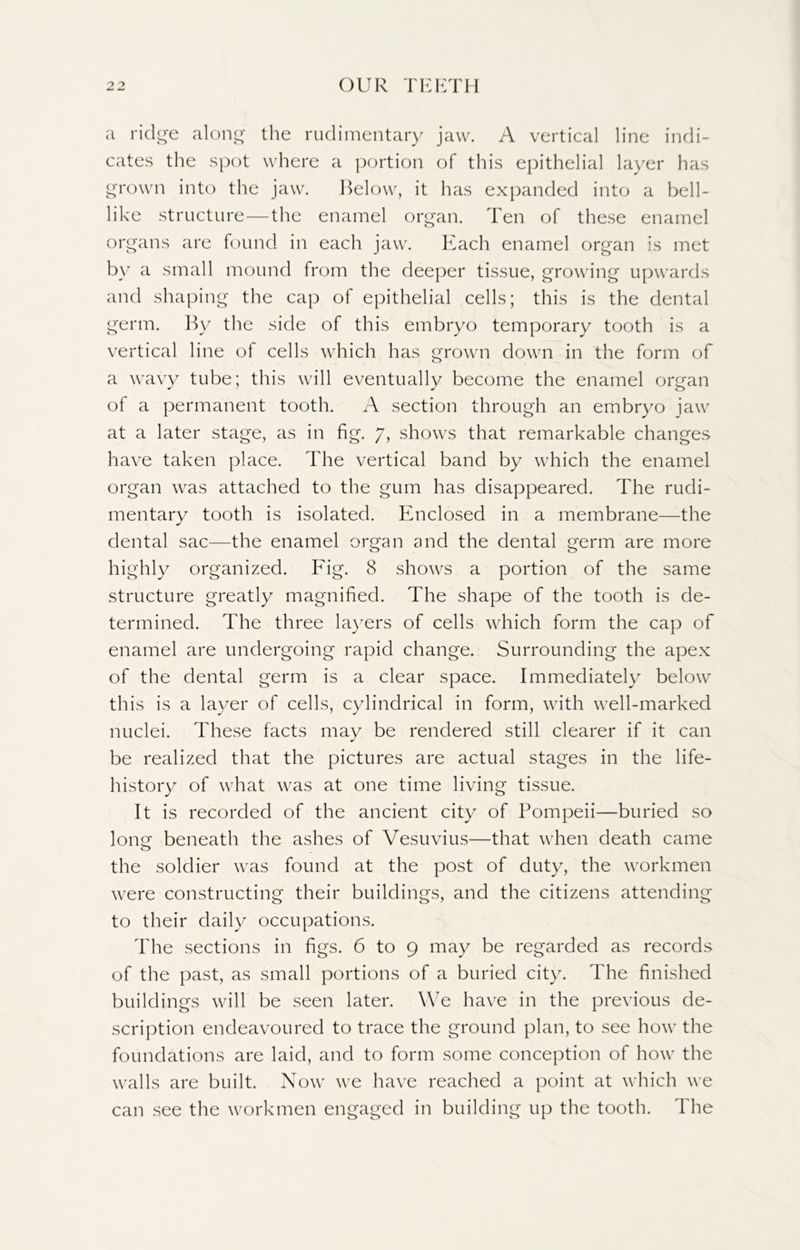 a ridge along the rudimentary jaw. A vertical line indi- cates the spot where a portion of this epithelial layer has grown into the jaw. Below, it has expanded into a bell- like structure—the enamel organ. Ten of these enamel organs are found in each jaw. Each enamel organ is met by a small mound from the deeper tissue, growing upwards and shaping the cap of epithelial cells; this is the dental germ. By the side of this embryo temporary tooth is a vertical line of cells which has grown down in the form of a wavy tube; this will eventually become the enamel organ of a permanent tooth. A section through an embryo jaw at a later stage, as in fig. 7, shows that remarkable changes have taken place. The vertical band by which the enamel organ was attached to the gum has disappeared. The rudi- mentary tooth is isolated. Enclosed in a membrane—the dental sac—the enamel organ and the dental germ are more highly organized. Fig. 8 shows a portion of the same structure greatly magnified. The shape of the tooth is de- termined. The three layers of cells which form the cap of enamel are undergoing rapid change. Surrounding the apex of the dental germ is a clear space. Immediately below this is a layer of cells, cylindrical in form, with well-marked nuclei. These facts may be rendered still clearer if it can be realized that the pictures are actual stages in the life- history of what was at one time living tissue. It is recorded of the ancient city of Pompeii—buried so Ions: beneath the ashes of Vesuvius—that when death came the soldier was found at the post of duty, the workmen were constructing their buildings, and the citizens attending to their daily occupations. The sections in figs. 6 to 9 may be regarded as records of the past, as small portions of a buried city. The finished buildings will be seen later. We have in the previous de- scription endeavoured to trace the ground plan, to see how the foundations are laid, and to form some conception of how the walls are built. Now we have reached a point at which we can see the workmen engaged in building up the tooth. The