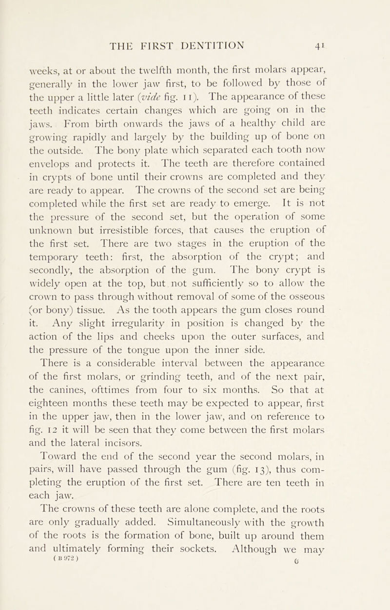 weeks, at or about the twelfth month, the first molars appear, generally in the lower jaw first, to be followed by those of the upper a little later (vide fig. 11). The appearance of these teeth indicates certain changes which are going on in the jaws. From birth onwards the jaws of a healthy child are growing rapidly and largely by the building up of bone on the outside. The bony plate which separated each tooth now envelops and protects it. The teeth are therefore contained in crypts of bone until their crowns are completed and they are ready to appear. The crowns of the second set are being completed while the first set are ready to emerge. It is not the pressure of the second set, but the operation of some unknown but irresistible forces, that causes the eruption of the first set. There are two stages in the eruption of the temporary teeth: first, the absorption of the crypt; and secondly, the absorption of the gum. The bony crypt is widely open at the top, but not sufficiently so to allow the crown to pass through without removal of some of the osseous (or bony) tissue. As the tooth appears the gum closes round it. Any slight irregularity in position is changed by the action of the lips and cheeks upon the outer surfaces, and the pressure of the tongue upon the inner side. There is a considerable interval between the appearance of the first molars, or grinding teeth, and of the next pair, the canines, ofttimes from four to six months. So that at eighteen months these teeth may be expected to appear, first in the upper jaw, then in the lower jaw, and on reference to fig. 12 it will be seen that they come between the first molars and the lateral incisors. Toward the end of the second year the second molars, in pairs, will have passed through the gum (fig. 13), thus com- pleting the eruption of the first set. There are ten teeth in each jaw. The crowns of these teeth are alone complete, and the roots are only gradually added. Simultaneously with the growth of the roots is the formation of bone, built up around them and ultimately forming their sockets. Although we may