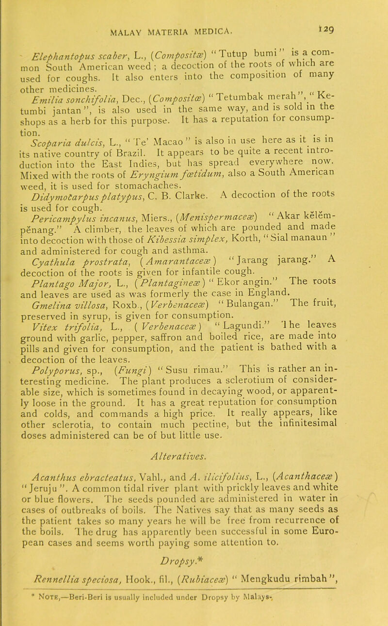 Elephantopus scaber, L., {Composite) “Tutup bumi ’ is a com- mon South American weed ; a decoction of the roots of which are used for coughs. It also enters into the composition of many other medicines. 1 j. ,< Emilia sonchifolia, Dec., {Composites) “Tetumbak rnerah Ke- tumbi jantan is also used in the same way, and is sold in the shops as a herb for this purpose. It has a reputation for consump- tion. _ . • Scoparia dutcis, L., “ I'e’ Macao” is also m use here as it is in its native country of Brazil. It appears to be quite a recent intro- duction into the East Indies, but has spread everywhere now. Mixed with the roots of Eryngium foetidum, also a South American weed, it is used for stomachaches. Didymotarpus platypus, C. B. Clarke. A decoction of the roots is used for cough. *1 i-i-' Pericampylus incanus, Miers., {Menispermacex) “ Akar kelem- penang.” A climber, the leaves of which are pounded and made into decoction with those of Kibessia simplex, Korth, “Sial manaun and administered for cough and asthma. Cyathula prostrata, { A mar ant ace ee) “Jarang jarang. A decoction of the roots is given for infantile cough. Plantago Major, L., {Plantaginece)  ^\s.ox The roots and leaves are used as was formerly the case in England. Gmelina villosa, Roxb., {Verbenace^) “ Bulangan.” The fruit, preserved in syrup, is given for consumption. Vitex trifolia, L., ( Verbenacese) “ Lagundi.” 1 he leaves ground with garlic, pepper, saffron and boiled rice, are made into pills and given for consumption, and the patient is bathed with a decoction of the leaves. Polyporus, sp., {Fungi) “ Susu rimau.” This is rather an in- teresting medicine. The plant produces a sclerotium of consider- able size, which is sometimes found in decaying wood, or apparent- ly loose in the ground. It has a great reputation for consumption and colds, and commands a high price. It really appears, like other sclerotia, to contain much pectine, but the infinitesimal doses administered can be of but little use. Alteratives. Acanthus ebracteatus, Vahl., and A. ilicifolius, L., {Acanthaceae) ” Jeruju ”. A common tidal river plant with prickly leaves and white or blue flowers. The seeds pounded are administered in water in cases of outbreaks of boils. The Natives say that as many seeds as the patient takes so many years he will be free from recurrence of the boils. The drug has apparently been successful in some Euro- pean cases and seems w'orth paying some attention to. Dropsy. Rennellia speciosa. Hook., fil., {Rubiacece) ‘‘ Mengkudu rimbah ”, Note,—Beri-Beri is usually included under Dropsy by Malays-
