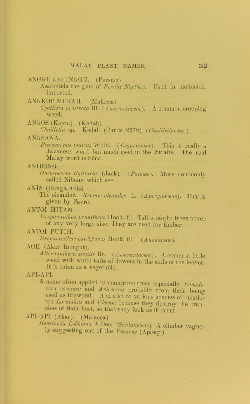 ANGGU also INGGU. (Persian) Asafoetida the g-um of Ferula Nurthex. Used in inedecine, imported. ANGKOP MERAII. (Malacca) Cijathula prostrafa Bl. (Amarantaoeae). A common creeping weed. AN(jOS (Kayu.) (Kedah) Chailletiu sp. Kedali ((Jurtis 2579) {ChaUletiaccae.) ANG3ANA. Pterocarpus tnchcus VVilld. {Leguminosce). This is really a Javanese word but much used in the Straits. The real Malay word is Sena. AN I BONG. Oncosperina tigiUaria (Jack). {Palmae). More commonly called Nibong which see. ANIS (Bunga Anis) The oleander. Nerium oleander L. {Apocgnaceae). This is given by Favre. ANTOI HIT AM. Drepananihus pruniferus Hook. fil. Tall straight trees never of any very large size. They are used for timber. ANTOI PUTTH. iJrepananthus eauUJlorus Hook. hi. {Anonaceae). AOH (Akar Rumput). Alternanthera sessilis Br. (^Amarantaceae). A common little weed with white tufts of (lowers in the a.xils of the leaves. It is eaten as a vegetable. A PI-API. A name often applied to mangrove trees e.specially Limnit- zera coccinea and Avicenma probably from their being used as firewood. And also to various species of mistle- toe /Mranthus and Viscum because they destroy the bran- ches of their host, so that they look as if burnt. API-API (Akai’). (Malacca) Ilenslowia Lobhiana A Dec. (Suntalaceue). A climber vague- ly suggesting one of the Viscums (Api-api).