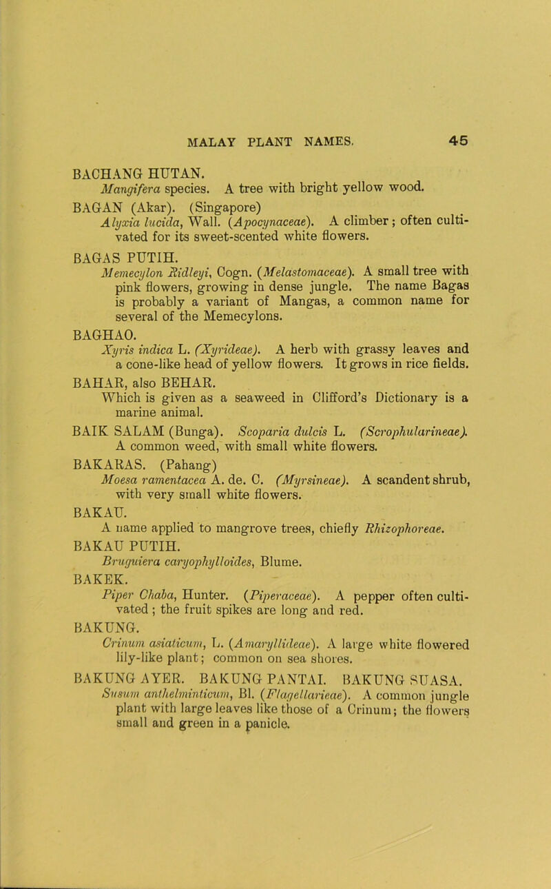 BACHANG HUTAN, Mangifera species. A tree with bright yellow wood. BAGAN (Akar). (Singapore) Alyxia lucida, Wall. {Apocynaceae). A climber; often culti- vated for its sweet-scented white flowers. BAGAS PUTIH. Memecylon Sidleyi, Cogn. {Melastomaceae). A small tree with pink flowers, growing in dense jungle. The name Bagaa is probably a variant of Mangas, a common name for several of the Memecylons. BAGHAO. Xyris indica L. (Xyrideae). A herb with grassy leaves and a cone-like head of yellow flowers. It grows in rice fields. BAHAR, also BEHAR. Which is given as a seaweed in Clifford’s Dictionary is a marine animal. BAIK SALAM (Bunga). Scoparia dulcis L. (Scrophularineae). A common weed, with small white flowers. BAKARAS. (Pahang) Moesa ramentacea A. de. C. (Myrsineae). A scandent shrub, with very small white flowers. BAKAU. A name applied to mangrove trees, chiefly Ehizophoreae. BAKAU PUTIH. Bruguiera earyophyIIaides, Blume. BAKEK. Piper Chaha, Hunter. {Piperaceae'). A pepper often culti- vated ; the fruit spikes are long and red. BAKUNG. Crinuni asiaticum, L. {Amaryllideae). A large white flowered lily-like plant; common on sea shores. BAKUNG AYER. BAKUNG PANTAI. BAKUNG SUASA. Siismn anthelminticum, Bl. {Flagellarieae). A common jungle plant with large leaves like those of a Crinum; the flowers small and green in a panicle.