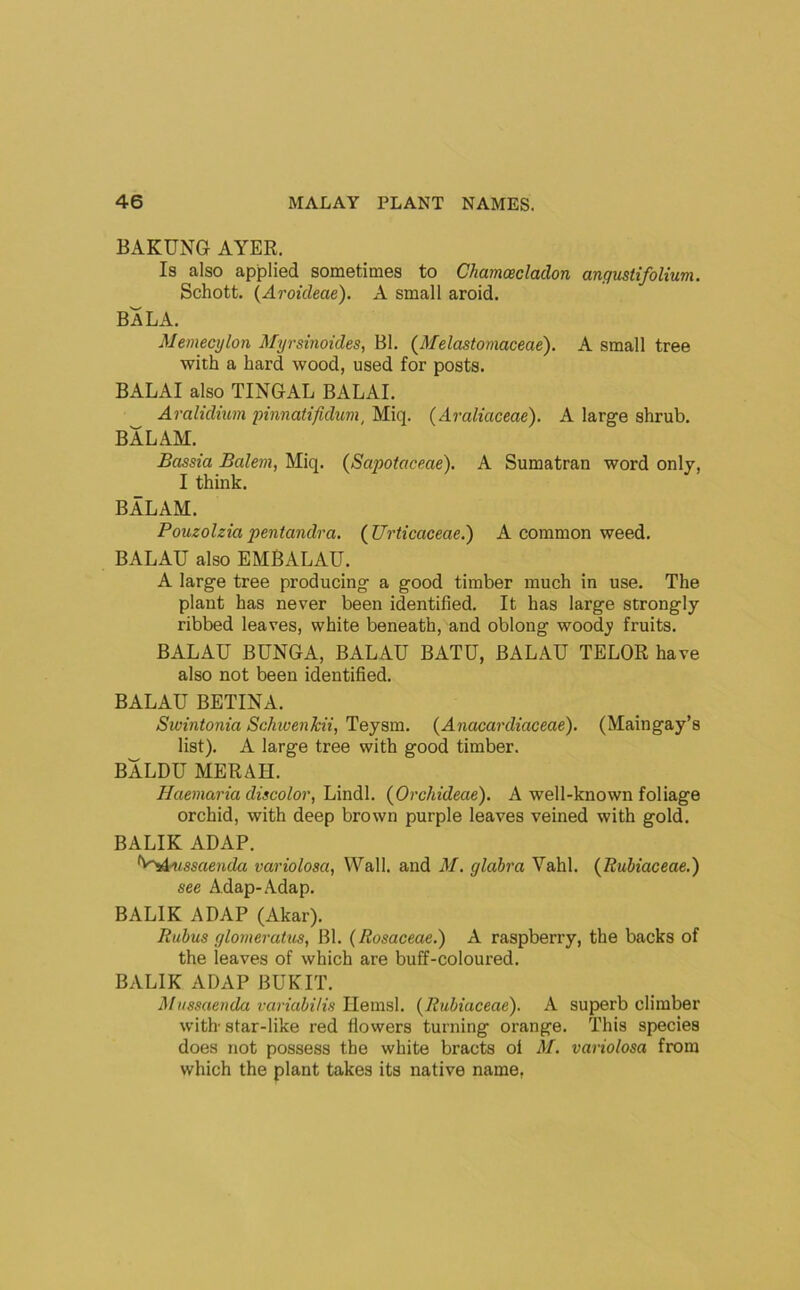 BAKUNG AYER. Is also applied sometimes to Chamceclaclon angustifolium. Schott. {Aroicleae). A small aroid. BA LA. Memecylon Myrsinoides, Bl. {Melastomaceae). A small tree with a hard wood, used for posts. BALAI also TINGAL BALAI. Aralidium pinnatifidum^ Miq. (Araliaceae). A large shrub. BALAM. Bassia Balein, Miq. (Sapoiciceae). A Sumatran word only, I think. BALAM. Pouzolziapentandra. (Urticaceae.) A common weed. BALAU also EMBALAU. A large tree producing a good timber much in use. The plant has never been identified. It has large strongly ribbed leaves, white beneath, and oblong wood^^ fruits. BALAU BUNGA, BALAU BATU, BALAU TELOR have also not been identified. BALAU BETINA. Swintonia Schivenkii, Teysm. (Anacardiaceae). (Maingay’s list). A large tree with good timber. BALDU MERAH. Ilaemaria discolor, Lindl. (jOrchideae). A well-known foliage orchid, with deep brown purple leaves veined with gold. BALIK ADAP. ^^^>Aussaenda variolosa, Wall, and M. glabra Vahl. {Rubiaceae.) see Adap-.\dap. BALIK ADAP (Akar). Rubus glomeratus, Bl. (Rosaceae.) A raspberry, the backs of the leaves of which are buff-coloured. BALIK ADAP BUKIT. Mnssaenda variabilis Ilemsl. (Rubiaceae). A superb climber with-star-like red flowers turning orange. This species does not possess the white bracts ol M. variolosa from which the plant takes its native name,