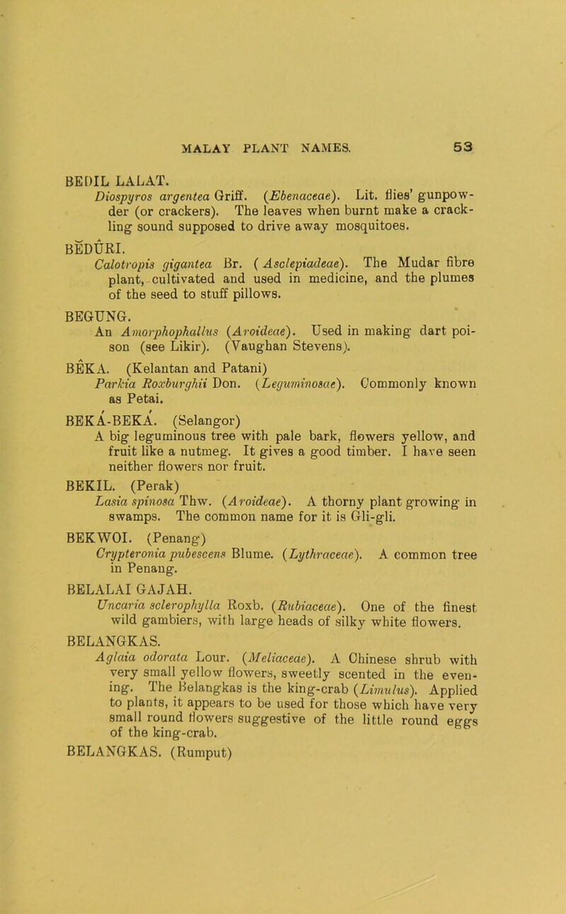 BEDIL LALAT. Diospyros argentea Qrifif. {^Ebenaceae). Lit. flies’ gunpow- der (or crackers). The leaves when burnt make a crack- ling sound supposed to drive away mosquitoes. BEDURI. Calotropis gigantea Br. (Asclepiadeae). The Mudar fibre plant, cultivated and used in medicine, and the plumes of the seed to stuff pillows. BEGUNG. An Amorphophalhs (Aroideae). Used in making dart poi- son (see Likir). (Vaughan Stevens). BEKA. (Kelantan and Patani) Parkia Roxburghii Don. {Leguminosae). Commonly known as Petal. BEKA-BEKA. (Selangor) A big leguminous tree with pale bark, flowers yellow, and fruit like a nutmeg. It gives a good timber. I have seen neither flowers nor fruit. BEKIL. (Perak) Lasia spinosa Thw. (Aroideae). A thorny plant growing in swamps. The common name for it is Gli-gli. BEKWOI. (Penang) Crypteronia pubescens Blume. (Lythraceae). A common tree in Penang. BELALAI GAJAH. Uncaria sclerophylla Roxb. (Rtibiaceae). One of the finest wild gamblers, with large heads of silky white flowers. BELANGKAS. Aglaia odorata Lour. (Meliaceae). A Chinese shrub with very small yellow flowers, sweetly scented in the eveu- ing. The Belangkas is the king-crab (Limitlus). Applied to plants, it appears to be used for those which have very small round flowers suggestive of the little round eggs of the king-crab. BELANGKAS. (Rumput)