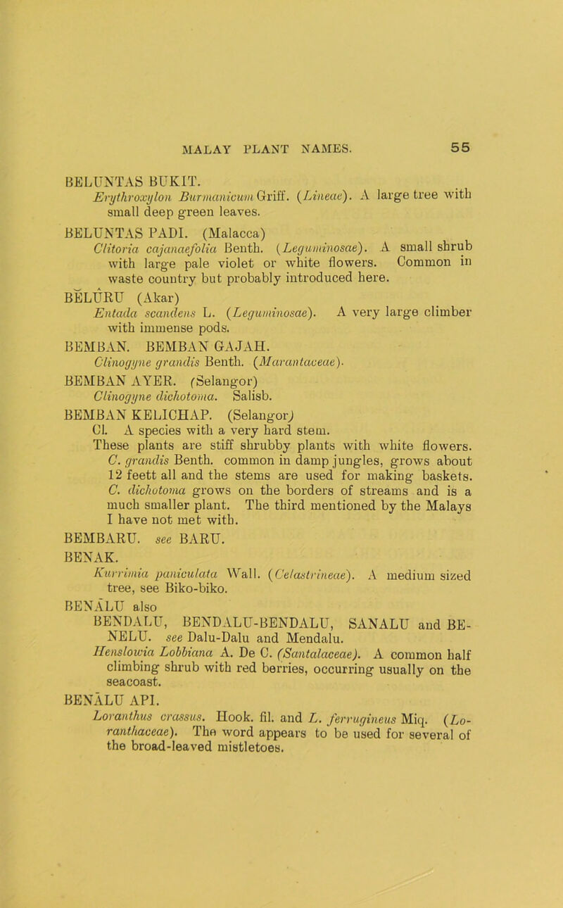 BELUNTAS BUKIT. Erythroxylon BurmanicumGrXiU.. {Lineae). A large tree with small deep green leaves. BELUNTAS PADL (Malacca) Clitoria cajanaefolia Bentb. [Leguminosae). A small sbrub with large pale violet or white flowers. Common in waste country but probably introduced here. BELURU (Akar) Enlada scanclens L. (Leguminosac). A very large climber with immense pods. BEMBAN. BEiMBAN GAJAH. Clinogijne grandis Bentb. {Marantaceae)- BEMBAN AYER. (Selangor) Clinogyne dichotoma. Salisb. BEMBAN KELICHAP. (SelangorJ Cl. A species with a very bard stem. These plants are stiff shrubby plants with white flowers. C. grandis'Benth. common in damp jungles, grows about 12 feett all and the stems are used for making baskets. C. dichotoma grows on the borders of streams and is a much smaller plant. The third mentioned by the Malays I have not met with. BEMBARU. see BARU. BENAK. hiirriinia paniculata Wall. {Celastrineae'). A medium sized tree, see Biko-biko. BENALU also BENDALU, BENDALU-BENDALU, SANALU and BE- NELU. see Dalu-Dalu and Mendalu. Ilenslowia Lobbiana A. De C. (Santalaceae). A common half climbing shrub with red berries, occurring usually on the seacoast. BENALU API. Loranthus crassus. Hook. fil. and Z./en-wymeiis Miq. (Lo- ranthaceae). The word appears to be used for several of the broad-leaved mistletoes.