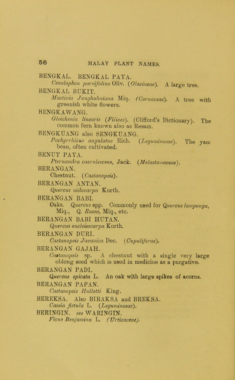 BENGKAL. BENGKAL PAYA. Cenolophon parvifolnis Oliv. (Olacineae). A large tree. BENGKAL BUKIT. Mastixia Junghuhniana Miq. fCornaceae). A tree with greenish white flowers. BENGKAWANG. Gleichenia linearis (Filices). (Clifford’s Dictionary). The common fern known also as Resam. BENGKUANG also SENGKDANG. Pachyrrhizus angulatus Rich. (Leguminosae). The yam bean, often cultivated. BENUT PAYA. Pternandra caerulescens, Jack. {Melastomaceae). BERANGAN. Chestnut. {Castanopsis). BERANGAN ANTAN. Quercus oidocarpa Korth. BERANGAN BABI. Oaks. Quercus spp. Commonly used for Quercus lamponga, Miq., Q. Rassa, Miq., etc. BERANGAN BABI HUTAN. Quercus encleisocarpa Korth. BERANGAN DURl. Castanopsis Javanica Dec. {Cupuliferae). BERANGAN GAJAH. Castanopsis sp. A chestnut with a single very large oblong seed which is used in medicine as a purgative. BERANGAN PADI. Quercus spicata L. An oak with large spikes of acorns. BERANGAN PAPAN. Castanopsis Hxdletti King. BEREKSA. Also BIRAKSA and BREKSA. Cassia fistula L. (^Leguminosae). BERINGIN. see WARINGIN. Ficus Benjamina L. (TJrticaceae).