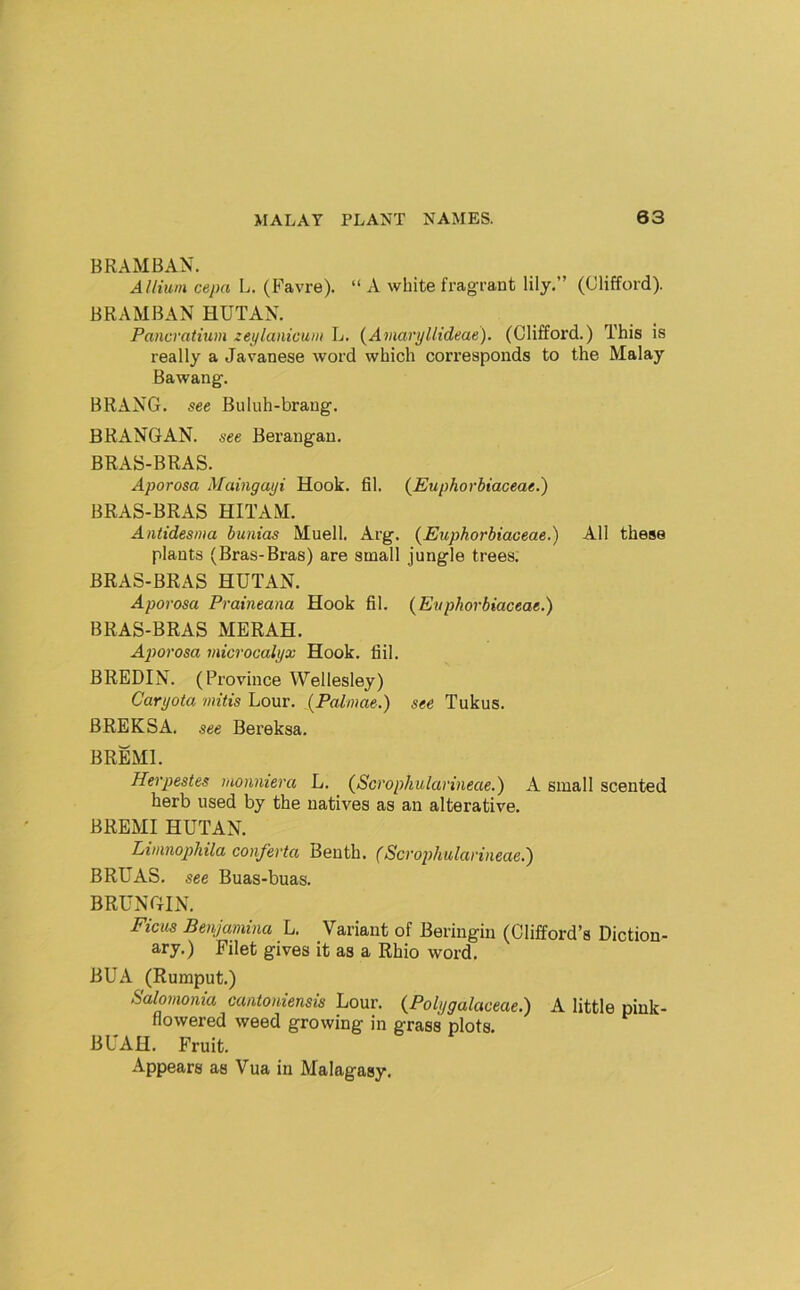 BRAMBAN. Allium cepa L. (Favre). “ A white fragrant lily.” (Clifford). BRAMBAN HUTAN. Pancratium zeylanicum L. {Amaryllideae). (Clifford.) This is really a Javanese word which corresponds to the Malay Bawang. BRANG. see Buluh-brang. BRANGAN. see Berangan. BRAS-BRAS. Aporosa Maingayi Hook. fil. (Euphorbiaceae.) BRAS-BRAS HITAM. Antidesma bunias Muell. Arg. (Euphorbiaceae.) All these plants (Bras-Bras) are small jungle trees. BRAS-BRAS HUTAN. Aporosa Praineana Hook fil. {Euphorbiaceae.) BRAS-BRAS MERAH. Aporosa microcalyx Hook. fiil. BREDIN. (Province Wellesley) Caryota 7nitis Lour. (Painiae.) see Tukus. BREKSA. see Bereksa. BREMl. Herpestes monmera L. {Sci'ophularineae.) A small scented herb used by the natives as an alterative. BREMl HUTAN. Limnophila conferta Beuth. (ScropJmlarineae.) BRUAS. see Buas-buas. BRUNGIN. Ficus Benjamina L. Variant of Beringin (Clifford’s Diction- ary.) Filet gives it as a Rhio word. BUA (Rumput.) Salomoiua cantoniensis Lour. {Polygalaceae.) A little pink- flowered weed growing in grass plots. BUAH. Fruit. Appears as Vua in Malagasy.