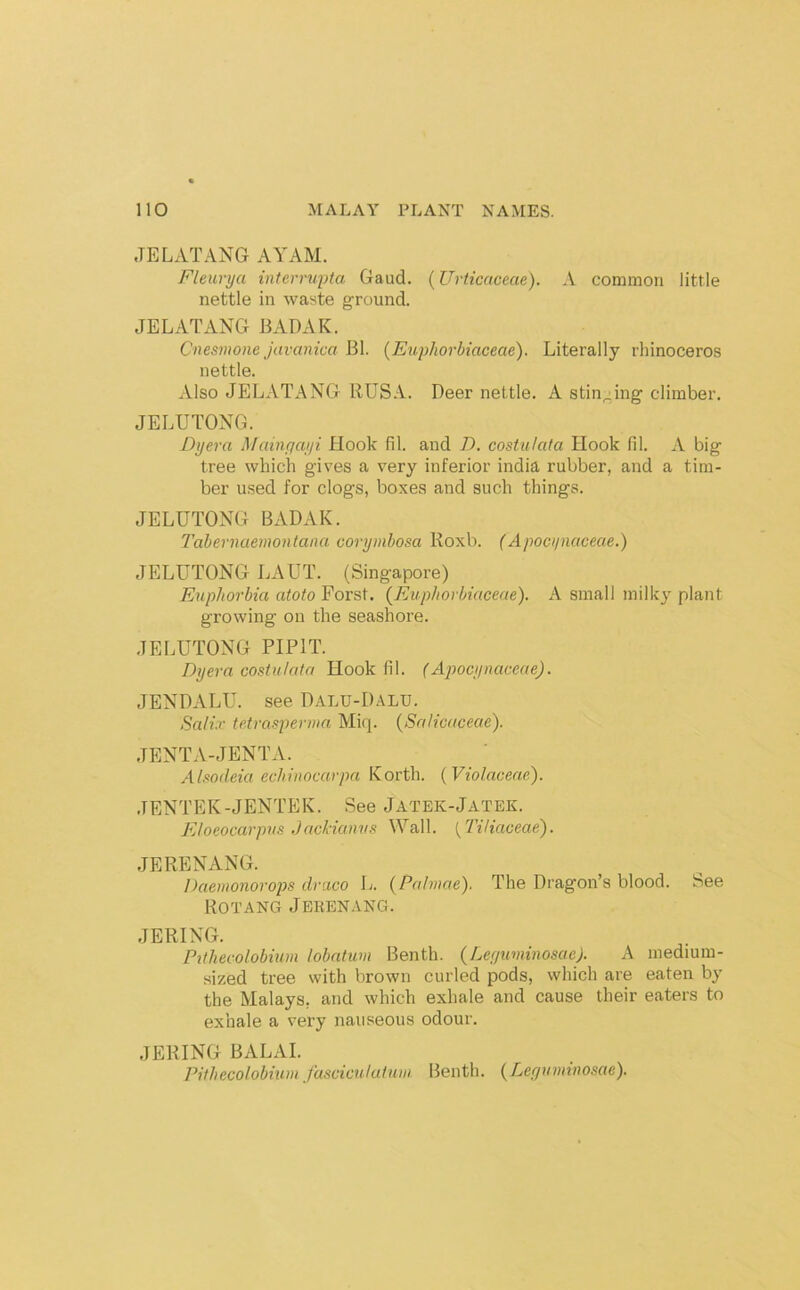 JELATANG A YAM. Fleurya interrupta Gaud. {Urticaceae). A common little nettle in waste ground. JELATANG BADAK. Cnesmone javanica Bl. (Euphorbiaceae). Literally rhinoceros nettle. Also JELATANG RUSA. Deer nettle. A stinging climber. JELUTONG. Dyera Mainyayi Hook fil. and D. costulata Hook fil. A big tree which gives a very inferior india rubber, and a tim- ber used for clogs, boxes and such things. JELUTONG BADAK. Tahernueinontana corymbosa Koxb. (Apociinaceae.) JELUTONG LAUT. (Singapore) Euphorbia atoto Forst. {Euphorbiaceae). A small milk}' plant growing on the seashore. JELUTONG PIPIT. Dyera costulata Hook fil. (Apocynaceae). JENDALU. see Dalu-Dalu. Sali.r tetrasperma Miq. {SaJicaceae). JENTA-JENTA. Alsodeia echinocarpa Korth. (Violaceae). JENTEK-JENTEK. See Jatek-Jatek. Eloeocarpus Jackiamis Wall. {TiUaceae). JERENANG. Daemonorops draco L. (Pahiiae). The Dragon’s blood. See ROTANG JERENANG. J BRING. Ptthecolobium lobatum Benth. {Leyiminosae). A medium- sized tree with brown curled pods, which are eaten by the Malays, and which exhale and cause their eaters to exhale a very nauseous odour. JERING BALAI. Pithecolobium fascicnlutuiu Benth. {Ler/uvniwsae).