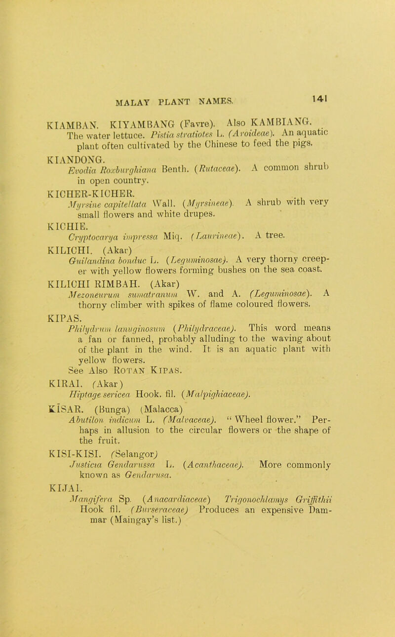 KIAMBAN. KIYAMBANG (Favre). Also KAMBIANG. The water lettuce. Pistia stvatiotefi B. (Aroideae). An aquatic plant often cultivated by the Chinese to feed the pigs. KIANDOXG. ^ , Evodia Ro.vhurghiana Benth. (Rutaceae). A common shrub in open country. KICHER-KICHER. .Uijrfiine capitellata Wall. (Miirsineae). A shrub with very small flowers and white drupes. KICHIE. Crypiocarya imprensa Miq. (Lavrineae). A tree. KILICHI. (Akar) Gni/andina bonduc L. (Ler/uminosae). A very thorny creep- er with yellow flowers forming bushes on the sea coast. KILICHI RIM BAH. (Akar) Mezoneuruni simatranum W. and A. (Leguminosae). A thorny climber with spikes of flame coloured flowers. KIPAS. PJiilydrnm lanvginoswn {Phitydraceae). This word means a fan or fanned, probably alluding to the waving about of the plant in the wind. It is an aquatic plant with yellow flowers. See Also Rotan Kipas. KIRAl. (Akar) lliptage sericea Hook. fil. {Malpighiaceae). KISAR. (Bunga) (Malacca) Abutilon indicim L. (Malvaceae). “ Wheel flower.” Per- haps in allusion to the circular flowers or the shape of the fruit. KISI-KISI. rSelangor; JusHcia Gendarussa L. {AcanthaceaeJ. More commonly known as Gendarum. KIJAI. Mangifera Sp. (Anaeardiaceae) Trigonochkimys Griffithii Hook fil. (Burseraceae) Produces an expensive Dam- mar (Maingay’s list,)