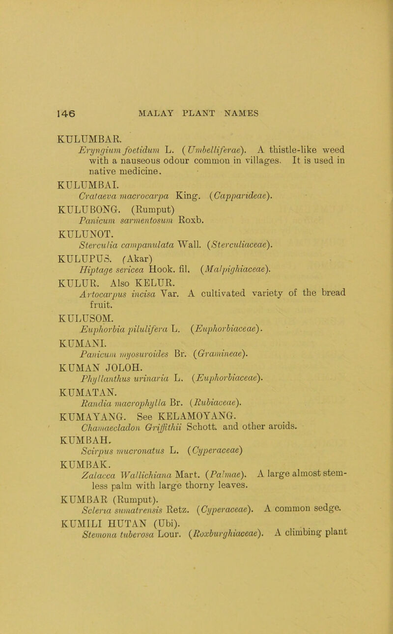 KULUMBAR. Eryngium foetidum L. (Umbelliferae). A thistle-like weed with a nauseous odour common in villages. It is used in native medicine. KULUMBAI. Crataeva macrocarpa King. (Capparideae). KULUBONG. (Rumput) Panicum sarmentosum Roxb. KULUNOT. Sterculia campamdata Wall. (Stercidiaceae). KULUPUS. fAkar) Hiptage sericea Hook. til. {Malpighiaceae). KULUR. Also KELUR. Artocarpus incisa Var. A cultivated variety of the bread fruit. KULUSOM. Euphorbia pilulifera L. (^Euphorbiaceae). KUMANI. Panicum myosuroides Br. (Gramineae). KUMAN JOLOH. Phyllanthus urinaria L. (Euphorbiaceae). KUMATAN. liandia macrophylla Br. (Pubiaceae). KUMAYANG. See KELAMOYANG. Chamaecladon Grijfithii Schott, and other aroids. KUMBAH. Scirpus mucronatus L. {Cyperaceae^ KUMBAK. Zalacca Wallichiana'K&rt. {Pahnae). A large almost stem- less palm with large thorny leaves. KUMBAR (Rumput). Selena sumatrensis Retz. (^Cyperaceae'). A common sedge. KUMILI HUTAN (Ubi). Stemona tuberosa Lour. {Roxburghiaceae). A climbing plant