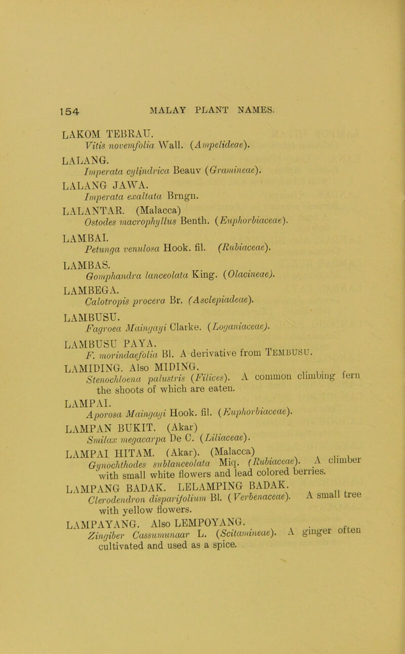 LAKOM TEBRAU. Vitis novenifoUa Wall. {Ampelideae). LALANG. Imperata cpHndrica Beauv {Graniineae). LALANG JAWA. Imperata exaltata Brngn. LALANTAR. (Malacca) Ostodes macrophyllus Benth. {Euphorhiaeeae). LAMBAI. Petunfja venulosa Hook. fil. (Rubiaceae). LAMBAS. Oomphandra kmceolata King. {Olacineae). LAM BEG A. Calotropis procera Bi\ (Asdepiadeae). LAMBUSU. Fagroea Maingayi Clarke. {Luganiaceae). LAMBUSU FAYA. F. morindaefoiia Bl. A derivative from 1 EMBUSU. LAMIDING. Also MIDING. Stenochloena paiustris (Filices). A common climbing fern the shoots of which are eaten. LAMPAI. , Aporosa Maiiigayi Hook. fil. {Euphorbiaceae), LAMP AN BUKIT. (Akar) Smilax megacarpa De C. (^Liliaceae'). LAMPAI HITAM. (Akar). (Malacca) Ggnodithodes svblanceolata Miq. (Rubiaceae). A climber with small white flowers and lead colored berries. LAMPANG BADAK. LELAMPING BADAK. Clerodendron disparijolium Bl. (Verbenaceae). A small tree with yellow flowers. LAMPAYANG. Also LEMPOYANG. . ^ ^ Zingiber Cassumunaar L. (Scitamineae). .V ginger cultivated and used as a spice.