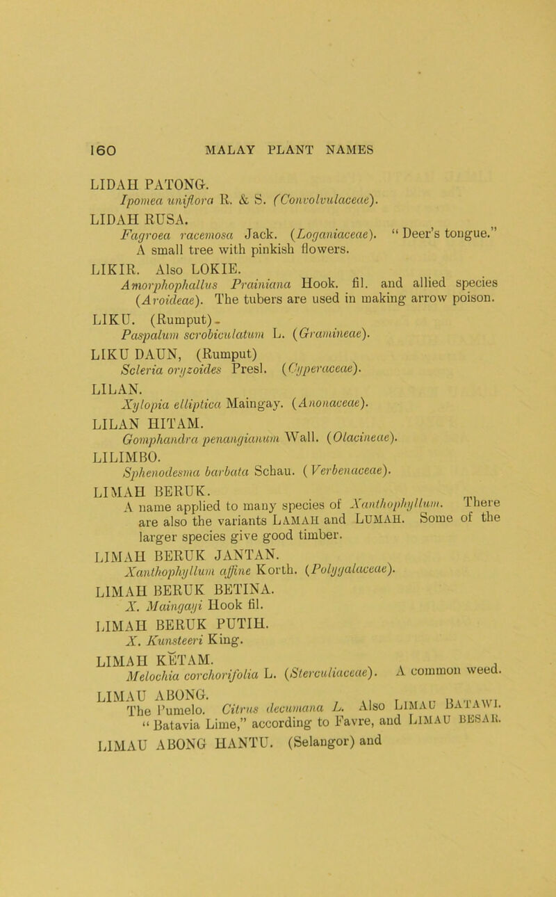 LIDAH PATONG. Ipomea unijlora R. & S. (Convolvulaceue). LIDAH RUSA. Fagroea raceviosa Jack. (Loganiaceae). “ Deer’s tongue.” A small tree with pinkish flowers. LIKIR. Also LOKIE. Amorphophallus Prainianct Hook. fil. and allied species {Aroideae). The tubers are used in making arrow poison. LIKU. (Rumput). Pas-palum scrobiculatum L. (Gramineae). LIKU DAUN, (Rumput) Scleria orgzoides Presl. (C'gperaceae). LILAN. Xylopia elliptica Maingay. {Anonaceae). LILAN HITAM. Gomphandra penangiauum Wall. (Olacineue). LILIMBO. Sphenodesma barbata Schau. ( Verbenaceae). LI MAH BERUK. A name applied to many species of Xanthophyllum. ihere are also the variants L AM All and Lumah. Some of the larger species give good timber. LIMAH BERUK JANTAN. Xanthophyllum affine Korlh. (^Polygalaceae). LIMAH BERUK RETINA. A'. Maingayi Hook fil. LIMAH BERUK PUTIH. A'. Kunsteeri King. LIMAH KETAM. ^ , Melochia corchori/olia L. (Sterculiaceae). A common weed. The Pumelo. Citrus dccumana L. Also LlMAU BATAWI. “ Batavia Lime,” according to Favre, and LlMAU besak. LIMAU ABONG HANTU. (Selangor) and
